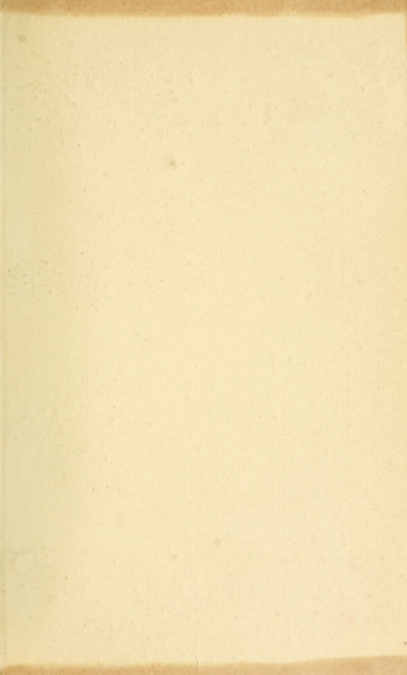 m^ ■;?:v'o^<«ftf' .,y}^^t*