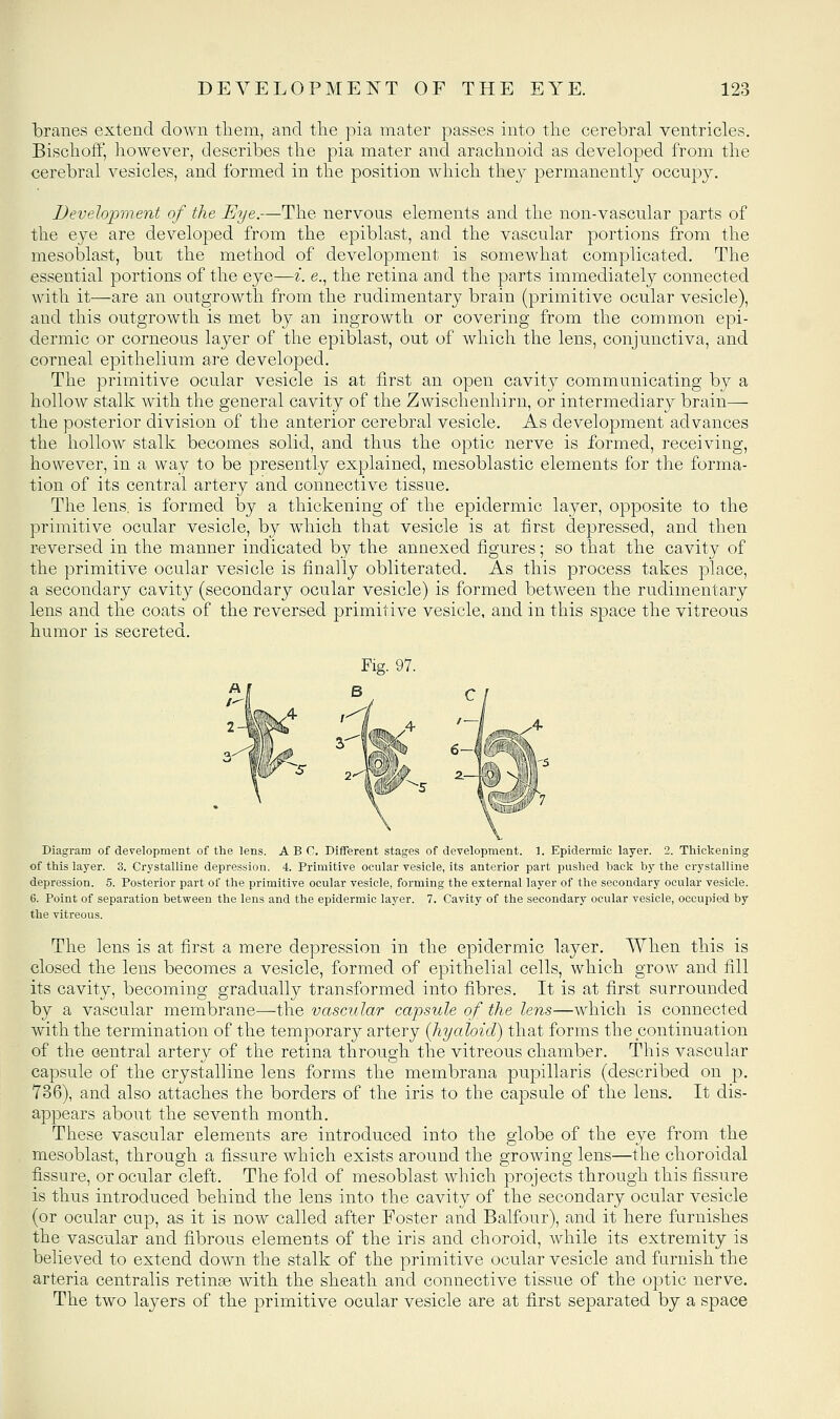 branes extend down tliem, and the pia mater passes into the cerebral ventricles. Bischoff, however, describes the pia mater and arachnoid as developed from the cerebral vesicles, and formed in the position which they permanently occupy. JJevelopment of the Eye.—The nervous elements and the non-vascular parts of the eye are developed from the epiblast, and the vascular portions from the mesoblast, but the method of development is somewhat complicated. The essential portions of the eye—i. e., the retina and the parts immediately connected with it—are an outgrowth from the rudimentary brain (primitive ocular vesicle), and this outgrowth is met by an ingrowth or covering from the common epi- dermic or corneous layer of the epiblast, out of which the lens, conjunctiva, and corneal epithelium are developed. The primitive ocular vesicle is at first an open cavity communicating by a hollow stalk with the general cavity of the Zwischenhirn, or intermediary brain— the posterior division of the anterior cerebral vesicle. As development advances the hollow stalk becomes solid, and thus the optic nerve is formed, receiving, however, in a way to be presently explained, mesoblastic elements for the forma- tion of its central artery and connective tissue. The lens, is formed by a thickening of the epidermic layer, opposite to the primitive ocular vesicle, by which that vesicle is at first depressed, and then reversed in the manner indicated by the annexed figures; so that the cavity of the primitive ocular vesicle is finally obliterated. As this process takes place, a secondary cavity (secondary ocular vesicle) is formed between the rudimentary lens and the coats of the reversed primitive vesicle, and in this space the vitreous humor is secreted. Fig. 97. Diagram of development of the lens. ABC. Different stages of development. 1. Epidermic layer. 2. Thickening of this layer. 3. Crystalline depression. 4. Primitive ocular vesicle, its anterior part pushed back b)' the crystalline depression. 5. Posterior part of the primitive ocular vesicle, forming the external layer of the secondary ocular vesicle. 6. Point of separation between the lens and the epidermic layer. 7. Cavity of the secondary ocular vesicle, occupied by the vitreous. The lens is at first a mere depression in the epidermic layer. AVhen this is closed the lens becomes a vesicle, formed of epithelial cells, which grow and fill its cavity, becoming gradually transformed into fibres. It is at first surrounded by a vascular membrane—the vascular capsule of the lens—which is connected with the termination of the temporary artery [hyaloid) that forms the continuation of the central artery of the retina through the vitreous chamber. This vascular capsule of the crystalline lens forms the membrana pupillaris (described on p. 736), and also attaches the borders of the iris to the capsule of the lens. It dis- appears about the seventh month. These vascular elements are introduced into the globe of the eye from the mesoblast, through a fissure which exists around the growing lens—the choroidal fissure, or ocular cleft. The fold of mesoblast which projects through this fissure is thus introduced behind the lens into the cavity of the secondary ocular vesicle (or ocular cup, as it is now called after Foster and Balfour), and it here furnishes the vascular and fibrous elements of the iris and choroid, while its extremity is believed to extend down the stalk of the primitive ocular vesicle and furnish the arteria centralis retinae with the sheath and connective tissue of the optic nerve. The two layers of the primitive ocular vesicle are at first separated by a space