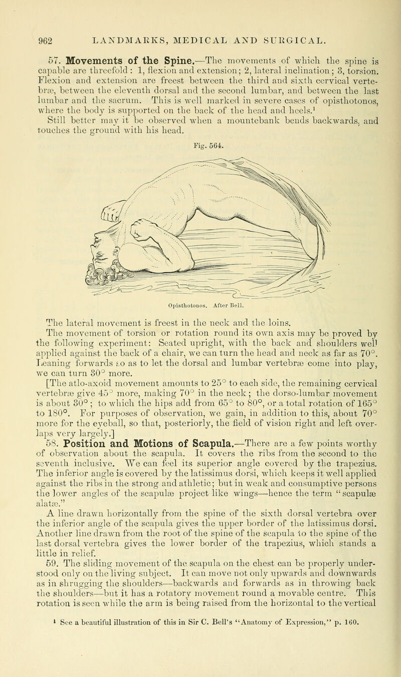 57. Movements of the Spine.—The movements of whicli the spine is capable are threefold : 1, flexion and extension; 2, lateral inclination ; 3, torsion. Flexion and extension are freest between the third and sixth cervical verte- brae, between the eleventh dorsal and the second lumbar, and between the last lumbar and the sacrum. This is well marked in severe cases of opisthotonos, where the body is supported on the back of the head and heels.^ Still better may it be observed when a mountebank bends backwards, and touches the ground with his head. Fig. 564. Opisthotonos. After BeU. The lateral movement is freest in the neck and the loins. The movement of torsion or rotation round its own axis may be proved by the following experiment: Seated upright, with the back and shoulders well applied against the back of a chair, we can turn the head and neck as far as 70°. T*eaning forwards lo as to let the dorsal and lumbar vertebrae come into play, we can turn 30° more. [The atlo-axoid movement amounts to 25° to each side, the remaining cervical vertebrfB give 45° more, making 70° in the neck; the dorso-lumbar movement is about 30° ; to which the hips add from 65° to 80°, or a total rotation of 165° to 180°. For purposes of observation, we gain, in addition to this, about 70° more for the eyeball, so that, posteriorly, the field of vision right and left over- laps very largely.] 58. Position and Motions of Scapula.—There are a few points worthy of observation about the scapula. It covers the ribs from the second to the seventh inclusive. We can feel its superior angle covered by the trapezius. The inferior angle is covered by the latissimus dorsi, which keeps it well applied against the ribs in the strong and athletic; but in weak and consumptive persons the lower angles of the scapulse project like wings—hence the term  scapula alatae. ■ A line drawn horizontally from the spine of the sixth dorsal vertebra over the inferior angle of the scapula gives the upper border of the latissimus dorsi. Another line drawn from the root of the spine of the scapula to the spine of the last dorsal vertebra gives the lower border of the trapezius, which stands a little in relief. 59. The sliding movement of the scapula on the chest can be properly under- stood only on the living subject. It can move not only upwards and downwards as in shrugging the shoulders—backwards and forwards as in throwing back the shoulders—but it has a rotatory movement round a movable centre. This rotation is seen while the arm is being raised from the horizontal to the vertical * See a beautiful illustration of this in Sir C. Bell's Anatomy of Expression, p. 160.