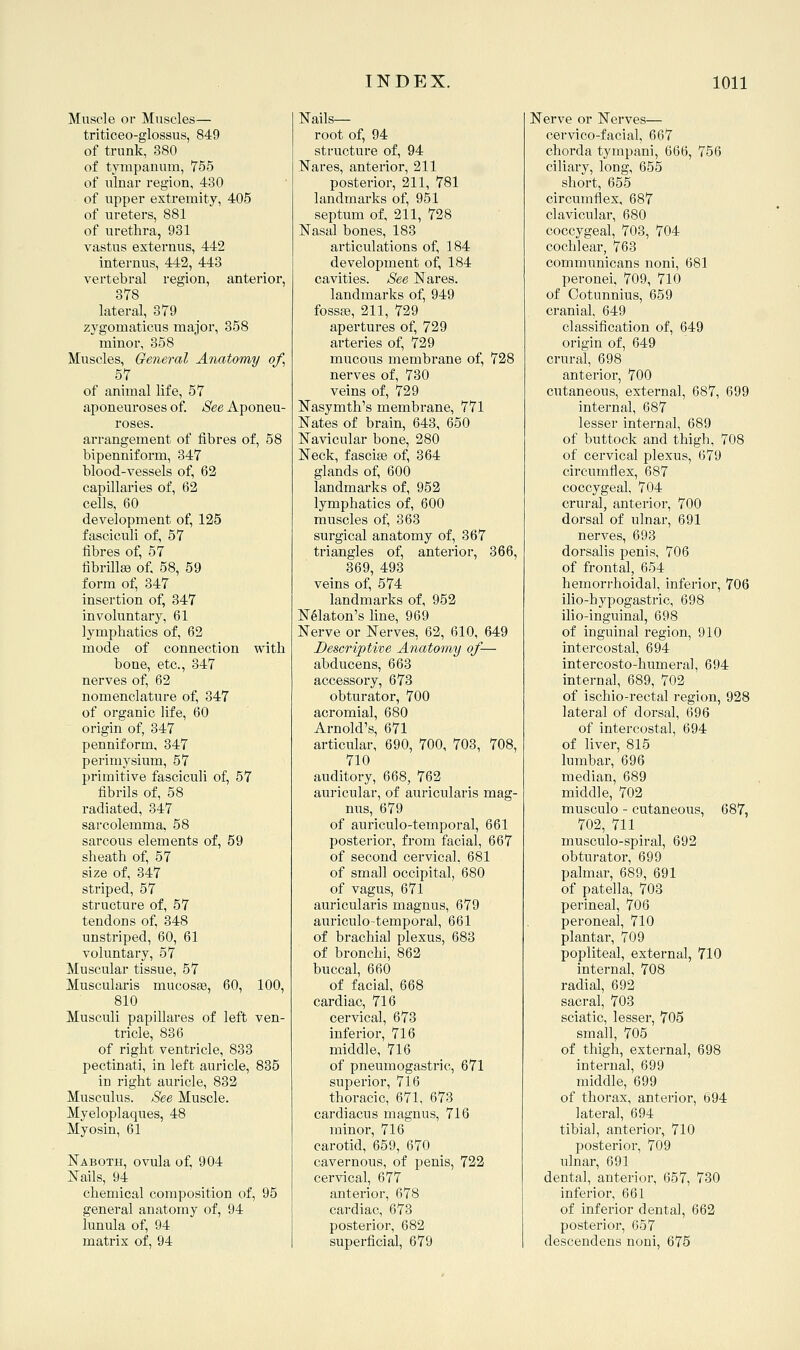 MiTscle or Muscles— triticeo-glossus, 849 of trunk, 880 of tympanum, 755 of ulnar region, 430 of upper extremity, 405 of ureters, 881 of urethra, 931 vastus externus, 442 internus, 442, 443 vertebral region, anterior, 378 lateral, 379 zygomaticus major, 358 minor, 358 Muscles, General Anatomy of, 57 of animal life, 57 aponeuroses of. See Aponeu- roses. arrangement of fibres of, 58 bipenniform, 347 blood-vessels of, 62 capillaries of, 62 cells, 60 development of, 125 fasciculi of, 57 fibres of, 57 fibrilla3 of. 58, 59 form of, 347 insertion of, 347 involuntary, 61 lymphatics of, 62 mode of connection with bone, etc., 347 nerves of, 62 nomenclature of, 347 of organic life, 60 origin of, 347 penniform, 347 perimysium, 57 primitive fasciculi of, 57 fibrils of, 58 radiated, 347 sarcolemma, 58 sarcous elements of, 59 sheath of, 57 size of, 347 striped, 57 structure of, 57 tendons of, 348 unstriped, 60, 61 voluntary, 57 Muscular tissue, 57 Muscularis mucosae, 60, 100, 810 Musculi papillares of left ven- tricle, 836 of right ventricle, 833 pectinati, in left auricle, 835 in right auricle, 832 Musculus. See Muscle. Myeloplaques, 48 Myosin, 61 ISTaboth, ovula of, 904 :N'ails, 94 chemical composition of, 95 general anatomy of, 94 lunula of, 94 matrix of, 94 Nails— root of, 94 structure of, 94 Nares, anterior, 211 posterior, 211, 781 landmarks of, 951 septum of, 211, 728 Nasal bones, 183 articulations of, 184 development of, 184 cavities. See Nares. landmarks of, 949 fossje, 211, 729 apertures of, 729 arteries of, 729 mucous membrane of, 728 nerves of, 730 veins of, 729 Nasymth's membrane, 771 Nates of brain, 643, 650 Navicular bone, 280 Neck, fascise of, 364 glands of, 600 landmarks of, 952 lymphatics of, 600 muscles of, 363 surgical anatomy of, 367 triangles of, anterior, 366, 369, 493 veins of, 574 landmarks of, 952 Nekton's line, 969 Nerve or Nerves, 62, 610, 649 Descriptive Anatomy of— abducens, 663 accessory, 673 obturator, 700 acromial, 680 Arnold's, 671 articular, 690, 700, 703, 708, 710 auditory, 668, 762 auricular, of auricularis mag- nus, 679 of auriculo-temporal, 661 posterior, from facial, 667 of second cervical, 681 of small occipital, 680 of vagus, 671 auricularis magnus, 679 auriculo-temporal, 661 of brachial plexus, 683 of bronchi, 862 buccal, 660 of facial, 668 cardiac, 716 cervical, 673 inferior, 716 middle, 716 of pneumogastric, 671 superior, 716 thoracic, 671, 673 cardiacus magnus, 716 minor, 716 carotid, 659, 670 cavernous, of penis, 722 cervical, 677 anterior, 678 cardiac, 673 posterior, 682 superficial, 679 Nerve or Nerves— cervico-facial, 667 chorda tympani, 666, 756 ciliary, long, 655 short, 655 circumflex, 687 clavicular, 680 coccygeal, 703, 704 cochlear, 763 communicans noni, 681 peronei, 709, 710 of Ootunnius, 659 cranial, 649 classification of, 649 origin of, 649 crural, 698 anterior, 700 cutaneous, external, 687, 699 internal, 687 lesser internal, 689 of buttock and thigh, 708 of cervical plexus, 679 circumflex, 687 coccygeal, 704 crural, anterior, 700 dorsal of ulnar, 691 nerves, 693 dorsalis penis, 706 of frontal, 654 hemorrhoidal, inferior, 706 ilio-hypogastric, 698 ilio-inguinal, 698 of inguinal region, 910 intercostal, 694 intercosto-humeral, 694 internal, 689, 702 of ischio-rectal region, 928 lateral of dorsal, 696 of intercostal, 694 of liver, 815 lumbar, 696 median, 689 middle, 702 musculo - cutaneous, 687, 702, 711 musculo-spiral, 692 obturator, 699 palmar, 689, 691 of patella, 703 perineal, 706 peroneal, 710 plantar, 709 popliteal, external, 710 internal. 708 radial, 692 sacral, 703 sciatic, lesser, 705 small, 705 of thigh, external, 698 internal, 699 middle, 699 of thorax, anterior, 694 lateral, 694 tibial, anterior, 710 posterior, 709 ulnar, 691 dental, anterior, 657, 730 inferior, 661 of inferior dental, 662 posterior, 657 descendens noni, 675