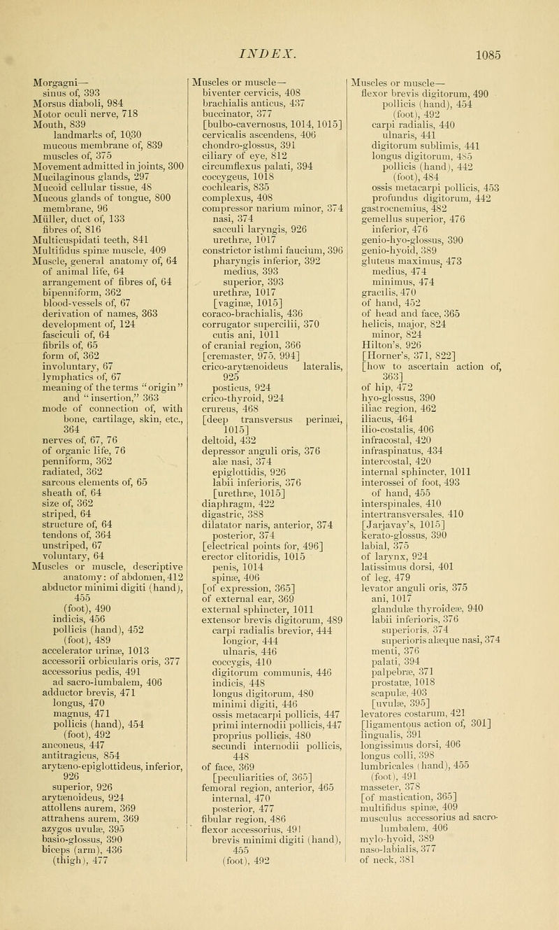 Morgagni— sinus of, 393 Morsus diaboli, 984 Motor oculi nerve, 718 Mouth, 839 landmarks of, 10.30 raucous membrane of, 839 muscles of, 375 Movement admitted in joints, 300 Mucilaginous glands, 297 Mucoid cellular tissue, 48 Mucous glands of tongue, 800 membrane, 96 Muller, duct of, 133 fibres of, 816 Multicuspidati teeth, 841 Multifidus spinae muscle, 409 Muscle, general anatomy of, 64 of animal life, 64 arrangement of fibres of, 64 bipenniform, 362 blood-vessels of, 67 derivation of names, 363 development of, 124 fasciculi of, 64 fibrils of, 65 form of, 362 involuntary, 67 lymphatics of, 67 meaning of the terms  origin  and  insertion, 363 mode of connection of, with bone, cartilage, skin, etc., 364 nerves of, 67, 76 of organic life, 76 penniform, 362 radiated, 362 sarcous elements of, 65 sheath of, 64 size of, 362 striped, 64 structure of, 64 tendons of, 364 unstriped, 67 voluntary, 64 Muscles or muscle, descriptive anatomy: of abdomen, 412 abductor minimi digiti (hand), 455 (foot), 490 indicis, 456 pollicis (hand), 452 (foot), 489 accelerator urinae, 1013 accessorii orbicularis oris, 377 accessorius pedis, 491 ad sacro-lumbalem, 406 adductor brevis, 471 longus, 470 magnus, 471 pollicis (hand), 454 (foot), 492 anconeus, 447 antitragicus, 854 arytaeno-epiglottideus, inferior, 926 superior, 926 arytaenoideus, 924 attollens aurem, 369 attrahens aurem, 369 azygos uvulae, 395 basio-glossus, 390 biceps (arm), 436 (thigh), 477 Muscles or muscle— biventer cervicis, 408 brachialis anticus, 437 buccinator, 377 [bulbo-cavernosus, 1014,1015] cervicalis ascendens, 406 chondro-glossus, 391 ciliary of eye, 812 circumflexus palati, 394 coccygeus, 1018 cochlearis, 835 complexus, 408 compressor narium minor, 374 nasi, 374 sacculi laryngis, 926 urethra?, 1017 constrictor isthmi faucium, 396 pharyngis inferior, 392 medius, 393 superior, 393 urethrae, 1017 [vaginae, 1015] coraco-brachialis, 436 corrugator supercilii, 370 cutis ani, 1011 of cranial region, 366 [cremaster, 975, 994] crico-arytsenoideus lateralis, 925 posticus, 924 crico-thyroid, 924 crureus, 468 [deep transversus perinaei, 1015] deltoid, 432 depressor anguli oris, 376 alae nasi, 374 epiglottidis, 926 labii inferioris, 376 [urethrae, 1015] diaphragm, 422 digastric, 388 dilatator naris, anterior, 374 posterior, 374 [electrical points for, 496] erector clitoridis, 1015 penis, 1014 spinae, 406 [of expression, 365] of external ear, 369 external sphincter, 1011 extensor brevis digitorum, 489 carpi radialis brevior, 444 longior, 444 ulnaris, 446 coccygis, 410 digitorum communis, 446 indicis, 448 longus digitorum, 480 minimi digiti, 446 ossis metacarpi pollicis, 447 primi internodii pollicis, 447 proprius pollicis, 480 secundi internodii pollicis, 448 of face, 369 [peculiarities of, 365] femoral region, anterior, 465 internal, 470 posterior, 477 fibular region, 486 flexor accessorius, 491 brevis minimi digiti (hand), 455 (foot), 492 Muscles or muscle— flexor brevis digitorum, 490 pollicis (hand), 454 (foot), 492 carpi radialis, 440 ulnaris, 441 digitorum sublimis, 441 longus digitorum, 485 pollicis (hand), 442 _ (foot), 484 ossis metacarpi pollicis, 453 profundus digitorum, 442 gastrocnemius, 482 gemellus superior, 476 inferior, 476 genio-hyo-glossus, 390 genio-hyoid, 389 gluteus maximuSj 473 medius, 474 minimus, 474 gracilis, 470 of hand, 452 of head and face, 365 helicis, major, 824 minor, 824 Hilton's, 926 [Horner's, 371, 822] [how to ascertain action of, 363] of hip, 472 hyo-glossus, 390 iliac region, 462 iliacus, 464 ilio-costalis, 406 infracostal, 420 infraspinatus, 434 intercostal, 420 internal sphincter, 1011 interossei of foot, 493 of hand, 455 interspinales, 410 intertransversales, 410 [Jarjavay's, 1015] kerato-giossus, 390 labial, 375 of larynx, 924 latissimus dorsi, 401 of leg, 479 levator anguli oris, 375 ani, 1017 glandulae thyroideae, 940 labii inferioris, 376 superioris, 374 superioris alaeque nasi, 374 menti, 376 palati, 394 palpebrae, 371 prostatae, 1018 scapulae, 403 [uvulae, 395] levatores costarum, 421 [ligamentous action of, 301] lingualis, 391 longissimus dorsi, 406 longus colli, 398 lumbricales (hand), 455 (foot), 491 masseter, 378 [of mastication, 365] multifidus spinae, 409 musculus accessorius ad sacro- lumbalem, 406 mylohyoid, 389 naso-labialis, 377 of neck, 381