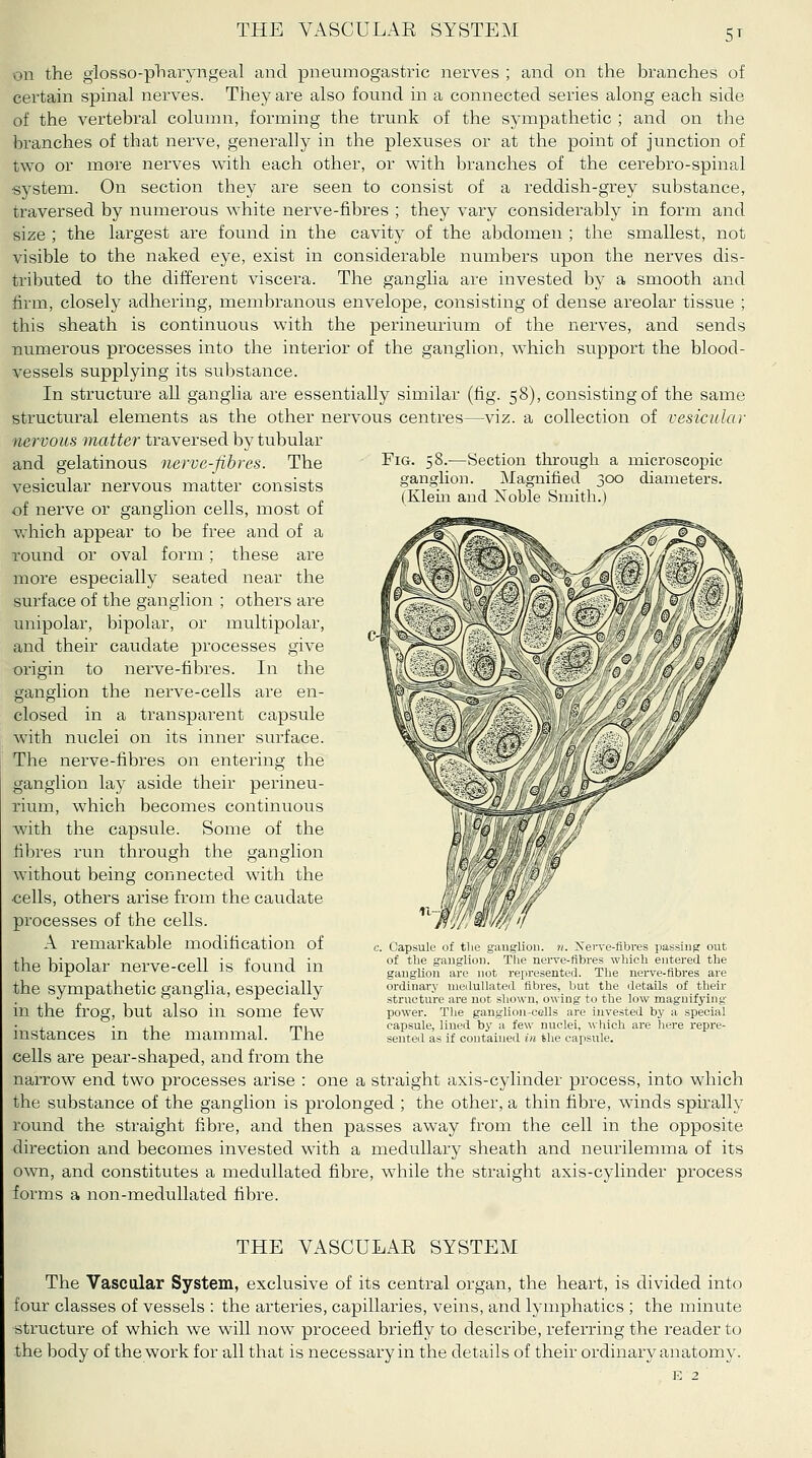 5T on the giosso-pliaryngeal and pneumogastric nerves ; and on the branches of certain spinal nerves. They are also found in a connected series along each side of the vertebral column, forming the trunk of the synipathetic ; and on the branches of that nerve, generally in the plexuses or at the point of junction of two or more nerves with each other, or with branches of the cerebro-spinal system. On section they are seen to consist of a reddish-grey substance, traversed by numerous white nerve-fibres ; they vary considerably in form and size ; the largest are found in the cavity of the abdomen ; the smallest, not visible to the naked eye, exist in considerable numbers upon the nerves dis- tributed to the different viscera. The ganglia are invested by a smooth and firm, closely adhering, membranous envelope, consisting of dense areolar tissue ; this sheath is continuous with the perineurium of the nerves, and sends numerous processes into the interior of the ganglion, which support the blood- vessels supplying its substance. In structure all ganglia are essentially similar (fig. 58), consisting of the same structural elements as the other nervous centres—viz. a collection of vesicular nervous matter traversed by tubular Fig. 58.—Section through a microscopic ganglion. Magnified 300 diameters. (Klein and Noble Smith.) and gelatinous nerve-fibres. The vesicular nervous matter consists of nerve or ganglion cells, most of Vv^hich appear to be free and of a round or oval form; these are more especially seated near the surface of the ganglion ; others are unipolar, bipolar, or multipolar, and their caudate processes give origin to nerve-fibres. In the ganglion the nerve-cells are en- closed in a transparent capsule with nuclei on its inner surface. The nerve-fibres on entering the ganglion lay aside their perineu- rium, which becomes continuous with the capsule. Some of the fibres run through the ganglion without being connected with the •cells, others arise from the caudate processes of the cells. A remarkable modification of the bipolar nerve-cell is found in the sympathetic ganglia, especially in the frog, but also in some few instances in the mammal. The cells are pear-shaped, and from the narrow end two processes arise : one a straight axis-cylinder process, into which the substance of the ganglion is prolonged ; the other, a thin fibre, winds spirally round the straight fibre, and then passes away from the cell in the opposite direction and becomes invested with a medullary sheath and neurilemma of its own, and constitutes a medullated fibre, w^hile the straight axis-cylinder process forms a non-meduUated fibre. . Capsule of the ganglion, n. Xerre-fibres passing out of the ganglion. The nerve-fibres which entered the gangUon are not represented. The nerve-fibres are ordinary medullated fibres, but the details of their structure are not shown, owing to the low magnifying power. Tlie ganglion-cells are invested by a special capsule, lined by a few nuclei, ^^■l^ich are here repre- sented as if contained in the capsule. THE VASCULAR SYSTEM The Vascular System, exclusive of its central organ, the heart, is divided into four classes of vessels : the arteries, capillaries, veins, and lymphatics ; the minute structure of which we will now proceed briefly to describe, referring the reader to the body of the work for all that is necessary in the details of their ordinary anatomy.