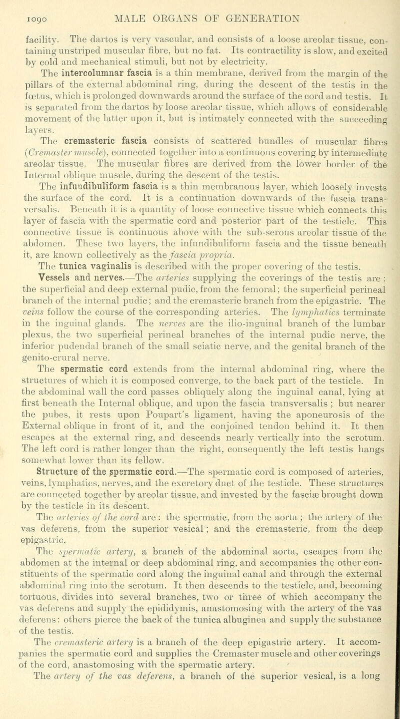 facility. Tlie dartos is very vascular, and consists of a loose areolar tissue, con- taining unstriped muscular fibre, but no fat. Its contractility is slow, and excited by cold and mechanical stimuli, but not by electricity. The intercolumnar fascia is a thin membrane, derived from the margin of the pillars of the external abdominal ring, during the descent of the testis in the foetus, which is prolonged downwards around the surface of the cord and testis. It is separated from the dartos by loose areolar tissue, which allows of considerable movement of the latter upon it, but is intimately connected with the succeeding layers. The cremasteric fascia consists of scattered bundles of muscular fibres (Cremaster muscle), connected together into a continuous covering by intermediate areolar tissue. The muscular fibres are derived from the lower border of the Internal oblique muscle, during the descent of the testis. The infundibuliform fascia is a thin membranous layer, which loosely invests the surface of the cord. It is a continuation downwards of the fascia trans- versalis. Beneath it is a quantity of loose connective tissue which connects this layer of fascia with the spermatic cord and posterior part of the testicle. This connective tissue is continuous above with the sub-serous areolar tissue of the abdomen. These two layers, the infundibuliform fascia and the tissue beneath it, are known collectively as i\ie fascia propria. The tunica vaginalis is described with the proper covering of the testis. Vessels and nerves.—The arteries supplying the coverings of the testis are : the superficial and deep external pudic, from the femoral; the superficial perineal branch of the internal pudic; and the cremasteric branch from the epigastric. The veins follow the course of the corresponding arteries. The lymphatics terminate in the inguinal glands. The nerves are the ilio-inguinal branch of the lumbar plexus, the two superficial perineal branches of the internal pudic nerve, the inferior pudendal branch of the small sciatic nerve, and the genital branch of the genito-crural nerve. The spermatic cord extends from the internal abdominal ring, where the structures of which it is composed converge, to the back part of the testicle. In the abdominal wall the cord passes obliquely along the inguinal canal, lying at first beneath the Internal oblique, and upon the fascia transversalis ; but nearer the pubes, it rests upon Poupart's ligament, having the aponeurosis of the External oblique in front of it, and the conjoined tendon behind it. It then escapes at the external ring, and descends nearly vertically into the scrotum. The left cord is rather longer than the right, consequently the left testis hangs somewhat lower than its fellow. Structure of the spermatic cord.—The spermatic cord is composed of arteries, veins, lymphatics, nerves, and the excretory duct of the testicle. These structures are connected together by areolar tissue, and invested by the fasciae brought down by the testicle in its descent. The arteries of the cord are : the spermatic, from the aorta ; the artery of the vas deferens, from the superior vesical; and the cremasteric, from the deep epigastric. The spermatic artery, a branch of the abdominal aorta, escapes from the abdomen at the internal or deep abdominal ring, and accompanies the other con- stituents of the spermatic cord along the inguinal canal and through the external abdominal ring into the scrotum. It then descends to the testicle, and, becoming tortuous, divides into several branches, two or three of which accompany the vas deferens and supply the epididymis, anastomosing with the artery of the vas deferens: others pierce the back of the tunica albuginea and supply the substance of the testis. The cremasteric artery is a branch of the deep epigastric artery. It accom- panies the spermatic cord and supplies the Cremaster muscle and other coverings of the cord, anastomosing with the spermatic artery. The artery of the vas deferens, a branch of the superior vesical, is a long