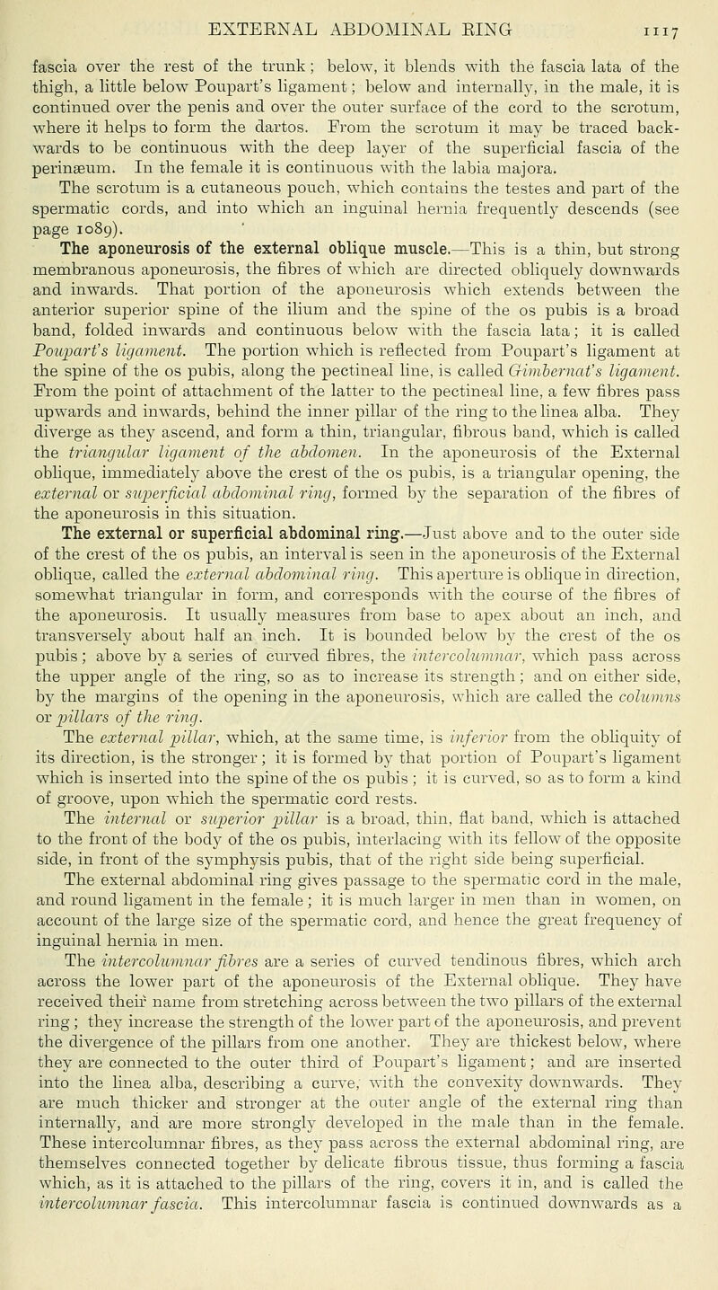 fascia over the rest of the trunk ; below, it blends with the fascia lata of the thigh, a little below Poupart's ligament; below and internally, in the male, it is continued over the penis and over the outer surface of the cord to the scrotum, where it helps to form the dartos. From the scrotura it may be traced back- wards to be continuous with the deep layer of the superficial fascia of the perinseum. In the female it is continuous with the labia majora. The scrotum is a cutaneous pouch, which contains the testes and part of the spermatic cords, and into which an inguinal hernia frequently descends (see page 1089). The aponeurosis of the external oblique muscle.—This is a thin, but strong membranous aponeurosis, the fibres of which are directed obliquely downwards and inwards. That portion of the aponeurosis which extends between the anterior superior spine of the ilium and the spine of the os pubis is a broad band, folded inwards and continuous below with the fascia lata; it is called PoiqMrt's ligament. The portion which is reflected from Poupart's ligament at the spine of the os pubis, along the pectineal line, is called Gimbernat's ligament. From the point of attachment of the latter to the pectineal line, a few fibres pass upwards and inwards, behind the inner pillar of the ring to the linea alba. They diverge as they ascend, and form a thin, triangular, fibrous band, which is called the triangular ligament of the abdomen. In the aponeurosis of the External oblique, immediately above the crest of the os pubis, is a triangular opening, the external or superficial abdominal ring, formed by the separation of the fibres of the aponeurosis in this situation. The external or superficial abdominal ring.—Just above and to the outer side of the crest of the os pubis, an interval is seen in the aponeurosis of the External oblique, called the external abdominal ring. This aperture is oblique in direction, somewhat triangular in form, and corresponds with the course of the fibres of the aponeurosis. It usually measures from base to apex about an inch, and transversely about half an inch. It is bounded below by the crest of the os pubis; above by a series of curved fibres, the intercolumnar, which pass across the upper angle of the ring, so as to increase its strength; and on either side, by the margins of the opening in the aponeurosis, which are called the columns or 2^illci'rs of the ring. The external pillar, which, at the same time, is inferior from the obliquity of its direction, is the stronger; it is formed by that portion of Poupart's ligament which is inserted into the spine of the os pubis ; it is curved, so as to form a kind of groove, upon which the spermatic cord rests. The internal or superior pillar is a broad, thin, flat band, which is attached to the front of the body of the os pubis, interlacing with its fellow of the opposite side, in front of the symphysis pubis, that of the right side being superficial. The external abdominal ring gives passage to the spermatic cord in the male, and round ligament in the female ; it is much larger in men than in women, on account of the large size of the spermatic cord, and hence the great frequency of inguinal hernia in men. The intercolumnar fibres are a series of curved tendinous fibres, which arch across the lower part of the aponeurosis of the External oblique. They have received their name from stretching across between the two pillars of the external ring; they increase the strength of the lower part of the aponeurosis, and prevent the divergence of the pillars from one another. They are thickest below, where they are connected to the outer third of Poupart's ligament; and are inserted into the linea alba, describing a curve, with the convexity downwards. They are much thicker and stronger at the outer angle of the external ring than internally, and are more strongly developed in the male than in the female. These intercolumnar fibres, as they pass across the external abdominal ring, are themselves connected together by delicate fibrous tissue, thus forming a fascia which; as it is attached to the pillars of the ring, covers it in, and is called the intercolumnar fascia. This intercolumnar fascia is continued downwards as a