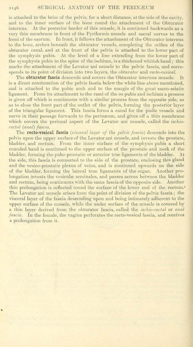 is attached to the brim of the pelvis, for a short distance, at the side of the cavity, and to the iiiner surface of the bone round the attachment of the Obturator internus. At the posterior border of this muscle, it is continued backwards as a very thin membrane in front of the Pyriformis muscle and sacral nerves to the front of the sacrum. In front, it follows the attachment of the Obturator internus to the bone, arches beneath the obturator vessels, completing the orifice of the obturator canal, and at the front of the pelvis is attached to the lower part of the symphysis pubis. At the level of a line extending from the lower part of the symphysis pubis to the spine of the ischium, is a thickened whitish band; this marks the attachment of the Levator ani muscle to the pelvic fascia, and corre- sponds to its point of division into two layers, the obturator and recto-vesical. The obturator fascia descends and covers the Obturator internus muscle. It is a direct continuation of the pelvic fascia below the white line above mentioned, and is attached to the pubic arch and to the margin of the great sacro-sciatic ligament. Prom its attachment to the rami of the os pubis and ischium a process is given off which is continuous with a similar process from the opposite side, so as to close the front part of the outlet of the pelvis, forming the posterior layer of the triangular ligament. This fascia forms a canal for the pudic vessels and nerve in their passage forwards to the perineum, and gives off a thin membrane which covers the perineal aspect of the Levator ani miiscle, called the ischio- rectal [anal) fascia. The recto-vesical fascia {visceral layer of the loelvic fascia) descends into the pelvis upon the upper surface of the Levator ani muscle, and invests the prostate, bladder, and rectum. From the inner surface of the symphysis pubis a short rounded band is continued to the upper surface of the prostate and neck of the bladder, forming the pubo-prostatic or anterior true ligaments of the bladder. At the side, this fascia is connected to the side of the prostate, enclosing this gland and the vesico-prostatic plexus of veins, and is continued upwards on the side of the bladder, forming the lateral true ligaments of the organ. Another pro- longation invests the vesiculse seminales, and passes across between the bladder and rectum, being continuous with the same fascia of the opposite side. Another thin prolongation is reflected round the surface of the lower end of the rectum.' The Levator ani muscle arises from the point of division of the pelvic fascia; the visceral layer of the fascia descending upon and being intimately adherent to the upper surface of the muscle, while the under surface of the muscle is covered by a thin layer derived from the obturator fascia, called the ischio-rectal or anal fascia. In the female, the vagina perforates the recto-vesical fascia, and receives a prolongation from it.