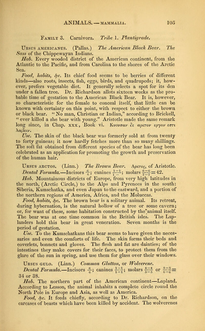 Family 3. Carnivora. Tribe 1. Plantigrade. Ursus americanus. (Pallas.) The American Black Bear. The Sass of the Chippewayan Indians. Hab. Every wooded district of the American continent, from the Atlantic to the Pacific, and from Carolina to the shores of the Ai'ctic Sea. Food, habits, ^c. Its chief food seems to be berries of different kinds—also roots, insects, fish, eggs, birds, and quadrupeds; it, how- ever, prefers vegetable diet. It generally selects a spot for its den under a fallen tree. Dr. Richardson allots sixteen weeks as the pro- bable time of gestation to the American Black Bear. It is, however, so characteristic for the female to conceal itself, that little can be known with certainty on this point, with respect to either the brown or black bear.  No man, Christian or Indian, according to Brickell,  ever killed a she bear with young. Aristotle made the same remark long since, in Chap, xxx., Book vi. Kvovaav is apKrov epyoy earn XajSeiy. Use. The skin of the black bear was formerly sold at from twenty to forty guineas; it now hardly fetches more than so many shillings. The soft fat obtained from difierent species of the bear has long been celebrated as an application for pi'omoting the growth and preservation of the human hair. Ursus arctos. (Linn.) The Broion Bear. ApKzoc, of Aristotle. Dental Formula.—Incisors -j; canines j--ir-> molars j~=4.2. Hab. Mountainous districts of Europe, from very high latitudes in the north, (Arctic Circle,) to the Alps and Pyrenees in the south: Siberia, Kamschatka, and even Japan to the eastward, and a portion of the northern regions of America, Africa, and the Moluccas. Food, habits, 8fc. The brown bear is a solitary animal. Its retreat, during hybernation, is the natural hollow of a tree or some cavern; or, for want of these, some habitation constructed by the'^aniraal itself. The bear was at one time common in the British isles. The Lap- landers hold this bear in great veneration. Seven months is the period of gestation. Use. To the Kamschatkans this bear seems to have given the neces- saries and even the comforts of life. The skin forms their beds and coverlets, bonnets and gloves. The flesh and fat are dainties; of the intestines they make covers for their faces, to protect them from the glare of the sun in spring, and use them for glass over their windows. Ursus gulo. (Linn.) Common Glutton, or Wolverene. Dental Formula.—Incisors -|-; canines \~; molars 4^ or ■^~-= G 1 — 1 o — o 6 — 6 34 or 38. Hab. The northern part of the American continent—Lapland. According to Lesson, the animal inhabits a complete circle round the North Pole in Europe and Asia, as well as America. Food, 8fc. It feeds chiefly, according to Dr. Richardson, on the carcases of beasts which have been killed by accident. The wolverenes