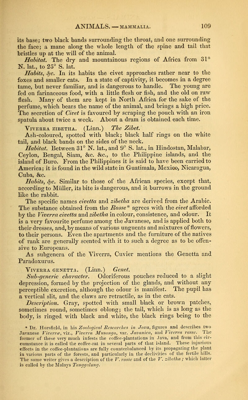 its base; two black bands surrounding the throat, and one surrounding the face; a mane along the whole length of the spine and tail that bristles up at the will of the animal. Habitat. The dry and mountainous regions of Africa from 31° N. lat., to 25° S. lat. Habits, SfC. In its habits the civet approaches rather near to the foxes and smaller cats. In a state of captivity, it becomes in a degree tame, but never familiar, and is dangerous to handle. The young are fed on farinaceous food, with a little flesh or fish, and the old on raw flesh. Many of them are kept in North Africa for the sake of the perfume, which bears the name of the animal, and brings a high price. The secretion of Civet is favoured by scraping the pouch with an iron spatula about twice a week. About a dram is obtained each time. ViVERRA ziBETHA. (Linn.) The Zibet. Ash-coloured, spotted with black; black half rings on the white tail, and black bands on the sides of the neck. Habitat. Between 31° N. lat., and 9° S. lat., in Hindostan, Malabar, Ceylon, Bengal, Siam, &c. &c., to the Philippine islands, and the island of Bui-o. From the Philippines it is said to have been carried to America; it is found in the wild state in Guatimala, Mexico, Nicaragua, Cuba, &c. Habits, ^c. Similar to those of the African species, except that, according to Miiller, its bite is dangerous, and it burrows in the ground like the rabbit. The specific names civetta and zibetha are derived from the Arabic. The substance obtained from the Basse* agrees with the civet afforded by the Viverra civetta and zibetha in colour, consistence, and odour. It is a very favourite perfume among the Javanese, and is applied both to their dresses, and, by means of various unguents and mixtures of flowers, to their persons. Even the apartments and the furniture of the natives of rank are generally scented with it to such a degree as to be offen- sive to Europeans. As subgenera of the Viverra, Cuvier mentions the Genetta and Paradoxurus. Viverra genetta. (Linn.) Genet. Sub-generic character. Odoriferous pouches reduced to a slight depression, formed by the projection of the glands, and without any perceptible excretion, although the odour is manifest. The pupil has a vertical slit, and the claws are retractile, as in the cats. Description. Gray, spotted with small black or brown patches,, sometimes round, sometimes oblong; the tail, which is as long as the body, is ringed Avith black and white, the black rings being to the * Dr. Horsfield, in Lis Zoological Researches in Java, ftgiivcs and describes two Javanese Viverree, viz., Viverra Mnsunga, var. Javanica, and Viverra rasse. The former of these vei7 mncli infests tlie coffee-plantations in Java, and from tliis cir- cumstance it is called the coffee-rat in several parts of that island. These injurious effects in the coffee-plantations are fully counterbalanced by its propagating the plant in various parts of the forests, and particularly in the decli-s-ities of the fertile hills. The same writer gives a description of the V. rasse and of the V. zibetha ; which latter is called by the Malays Tanggalung.