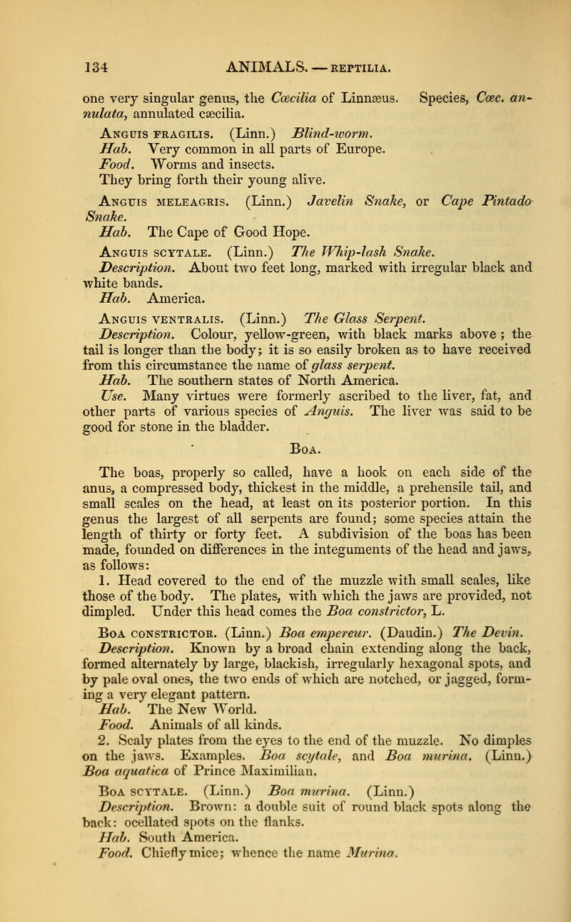 one very singular genus, the Ccecilia of Linn^us. Species, Coec. an^ nulata, annulated csecilia. Anguis fragilis. (Linn.) Blind-worm. Hah. Very common in all parts of Europe. Food. Worms and insects. They bring forth their young alive. Anguis meleagris. (Linn.) Javelin Snake, or Cape Pintado Snake. Hah. The Cape of Good Hope. Anguis scytale» (Linn.) The Whip-lash Snake. Description. About two feet long, marked with irregular black and white bands. Hah. America. Anguis ventralis. (Linn.) The Glass Serpent. Description. Colour, yellow-green, with black marks above ; the tail is longer than the bodyj it is so easily broken as to have received from this circumstance the name of glass serpent. Hah. The southern states of North America. Use. Many virtues were formerly ascribed to the liver, fat, and other parts of various species of Anguis. The liver was said to be good for stone in the bladder. Boa. The boas, properly so called, have a hook on each side of the anus, a compressed body, thickest in the middle, a prehensile tail, and small scales on the head, at least on its posterior portion. In this genus the largest of all serpents are found; some species attain the length of thirty or forty feet. A subdivision of the boas has been made, founded on differences in the integuments of the head and jaws, as follows: \. Head covered to the end of the muzzle with small scales, like those of the body. The plates, with which the jaws are provided, not dimpled. Under this head comes the Boa constrictor^ L. Boa constrictor. (Linn.) Boa empereur. (Daudin.) The Devin. Description. Known by a broad chain extending along the back, formed alternately by large, blackish, irregularly hexagonal spots, and by pale oval ones, the two ends of which are notched, or jagged, form- ing a very elegant pattern. Hah. The New World. Food. Animals of all kinds. 2. Scaly plates from the eyes to the end of the muzzle. No dimples on the jaws. Examples. Boa scytale, and Boa murina. (Linn.) Boa aquatica of Prince Maximilian. Boa scytale. (Linn.) Boa murina. (Linn.) Description. Brown: a double suit of round black spots along the back: ocellated spots on the flanks. Hah. South America. Food. Chiefly mice; whence the name Murina.