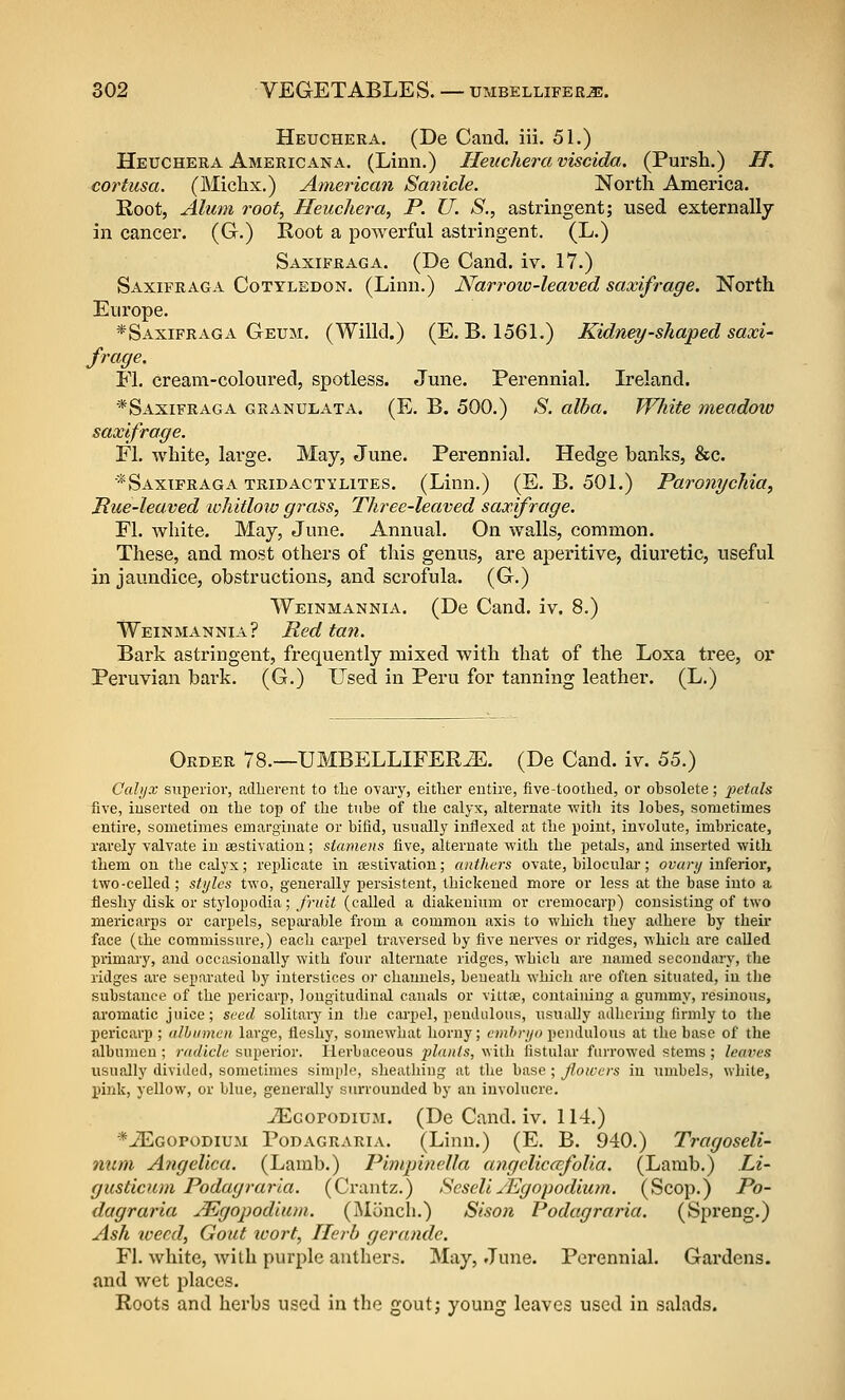 Heucheea. (De Cand. iii. 51.) Heuchera Americana. (Linn.) Ileuchera viscido,. (Pursh.) H. cortusa. (Michx.) American Sanicle. North Amei'ica. Root, Alum root, Heuchera, P. U. S., astringent; vised externally in cancer. (G.) Root a poAverful astringent. (L.) Saxifraga. (De Cand. iv. 17.) Saxifraga Cotyledon. (Linn.) Narroio-leaved saxifrage. North Europe. *Saxifraga Geum. (Willd.) (E. B. 1561.) Kidney-shaped saxi- frage. Fl. cream-coloux'ed, spotless. June. Perennial. Ireland. *Saxifraga granulata. (E. B. 500.) ^S*. alha. White meadow saxifrage. Fl. white, large. May, June. Perennial. Hedge banks, &c. *Saxifraga TRiDACTi'LiTES. (Linn.) (E. B. 501.) Paronychia, Pue-leaved ivhitlow grass, Three-leaved saxifrage. Fl. white. May, June. Annual. On walls, common. These, and most others of this genus, are aperitive, diui'etic, useful in jaundice, obstructions, and scrofula. (G.) Weinmannia. (De Cand. iv. 8.) Weinmannia? Red tan. Bark astringent, frequently mixed with that of the Loxa tree, or Peruvian bark. (G.) Used in Peru for tanning leather. (L.) Order 78.—UMBELLIFERJ5. (De Cand. iv. 55.) Cahjx superior, adherent to the ovary, either entire, five-toothed, or obsolete; i^etals five, inserted on the top of the tubs of the calyx, alternate with its lobes, sometimes entire, sometimes emargiiiate or bifid, usnally iuflexed at the point, involute, imbricate, rarely valvate in aestivation; stamens five, alternate with the petals, and inserted with them on the calyx; replicate in isstivation; anthers ovate, bilocular; ouary inferior, two-celled ; styles two, generally persistent, thickened more or less at the base into a fleshy disk or stylopodia; fruit (called a diakeuium or cremocarp) consisting of two mericarps or carpels, separable from a common axis to which they adhere by their face (the commissure,) each carpel traversed by five nerves or ridges, which are called primary, and occasionally with four alternate ridges, which are named secondary, the ridges are separated by interstices or channels, beneath which are often situated, in the substance of the pericarp, longitudinal canals or vittae, containing a gummy, resinous, aromatic juice; seed solitary in tlie carpel, pendulous, usnally adhering firmly to the pericarp ; albumen large, fleshy, somewhat horny; emhrijo pendulous at the base of the albumen ; radicle superior. Herbaceous plants, with fistular fiuTowed stems; leaves iisually divided, sometimes simple, sheathing at tlie base ; Jlowers iu umbels, white, pink, yellow, or blue, generally surrounded by an involucre. TEcoroDiUM. (De Cand. iv. 114.) *^Egopodium Podagraria. (Linn.) (E. B. 940.) Tragoseli- num Angelica. (Lamb.) Pimpinella angclicafolia. (Lamb.) Li- gusticum Podagraria. (Crantz.) Sesell /Egopodlum. (Scop.) Po- dagraria ^gopodlum. (Miincli.) Sison Podagraria. (Spreng.) Ash ivecd, Gout ivort. Herb gerandc. Fl. white, with purple anthers. May, June. Perennial. Gardens, and wet places. Roots and herbs used in the gout; young leaves used in salads.