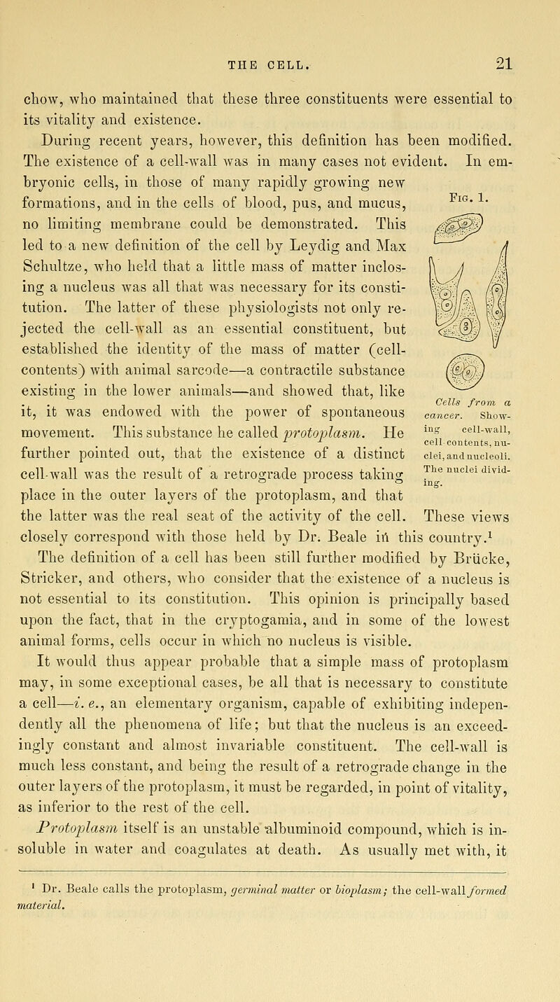 Fig. 1. chow, who maintained that these three constituents were essential to its vitality and existence. During recent years, however, this definition has been modified. The existence of a cell-Avall was in many cases not evident. In em- bryonic cells, in those of many rapidly growing new formations, and in the cells of blood, pus, and mucus, no limiting membrane could be demonstrated. This led to a new definition of the cell by Leydig and Max Schultze, who held that a little mass of matter inclos- ing a nucleus was all that was necessary for its consti- tution. The latter of these physiologists not only re- jected the cell-wall as an essential constituent, but established the identity of the mass of matter (cell- contents) with animal sarcode—a contractile substance existing in the lower animals—and showed that, like it, it was endowed with the power of spontaneous movement. This substance he called protoplasm. He further pointed out, that the existence of a distinct cell-Avail was the result of a retrograde process taking place in the outer layers of the protoplasm, and that the latter Avas the real seat of the activity of the cell, closely correspond Avith those held by Dr. Beale irt this country.^ The definition of a cell has been still further modified by Briicke, Strieker, and others, Avho consider that the-existence of a nucleus is not essential to its constitution. This opinion is principally based upon the fact, that in the cryptogamia, and in some of the loAvest animal forms, cells occur in Avhich no nucleus is visible. It Avould thus appear probable that a simple mass of protoplasm may, in some exceptional cases, be all that is necessary to constitute a cell—i.e., an elementary orgainism, capable of exhibiting indepen- dently all the phenomena of life; but that the nucleus is an exceed- ingly constant and almost invariable constituent. The cell-Avall is much less constant, and being the result of a retrograde change in the outer layers of the protoplasm, it must be regarded, in point of vitality, as inferior to the rest of the cell. Protoplasm itself is an unstable -albuminoid compound, Avhich is in- soluble in water and coagulates at death. As usually met with, it Cells from a cancer. Show- ing cell-waH, ceU- contents, nu- clei, and nucleoli. The nuclei divid- ing. These views ' Dr. Beale calls the protoplasm, germinal /natter or bioplasm; the cell-wall/ormec? material.