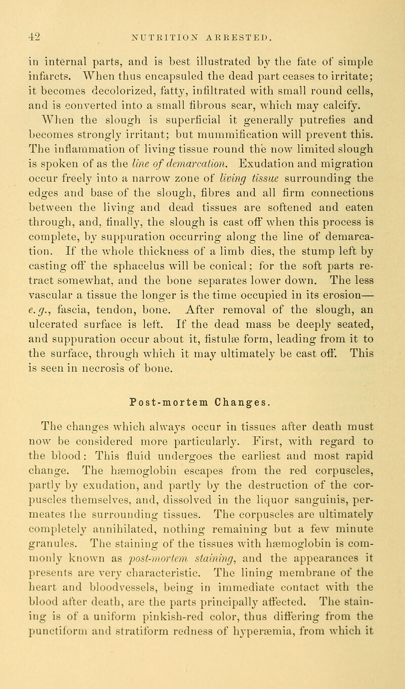 in internal parts, and is best illustrated by the fate of simple infarcts. When thus encapsuled the dead part ceases to irritate; it becomes decolorized, fatty, infiltrated with small round cells, and is converted into a small fibrous scar, which may calcify. When the slough is superficial it generally putrefies and becomes strongly irritant; but mummification will prevent this. The inflammation of living tissue round the now limited slough is spoken of as the line of demarcation. Exudation and migration occur freely into a narrow zone of living tissue surrounding the edges and base of the slough, fibres and all firm connections between the living and dead tissues are softened and eaten through, and, finally, the slough is cast ofi when this process is complete, by suppuration occurring along the line of demarca- tion. If the v,'hole thickness of a limb dies, the stump left by casting off the sphacelus will be conical; for the soft parts re- tract somewhat, and the bone separates lower down. The less vascular a tissue the longer is the time occupied in its erosion— e.g., fascia, tendon, bone. After removal of the slough, an ulcerated surface is left. If the dead mass be deeply seated, and suppuration occur about it, fistulse form, leading from it to the surface, through which it may ultimately be cast off. This is seen in necrosis of bone. Post-mortem Changes. The changes which always occur in tissues after death must now be considered more particularly. First, with regard to the blood : This fluid undergoes the earliest and most rapid change. The haemoglobin escapes from the red corpuscles, partly by exudation, and partly by the destruction of the cor- puscles themselves, and, dissolved in the liquor sanguinis, per- meates Ihe surrounding tissues. The corpuscles are ultimately completely annihilated, nothing remaining but a few minute granules. The staining of the tissues with haemoglobin is com- monly known as jjost-rnortem staining, and the appearances it presents are ver}^ characteristic. The lining membrane of the heart and bloodvessels, being in immediate contact with the blood after death, are the parts principally affected. The stain- ing is of a uniform pinkish-red color, thus difiering from the punctiforni and stratiform redness of hyperaemia, from which it