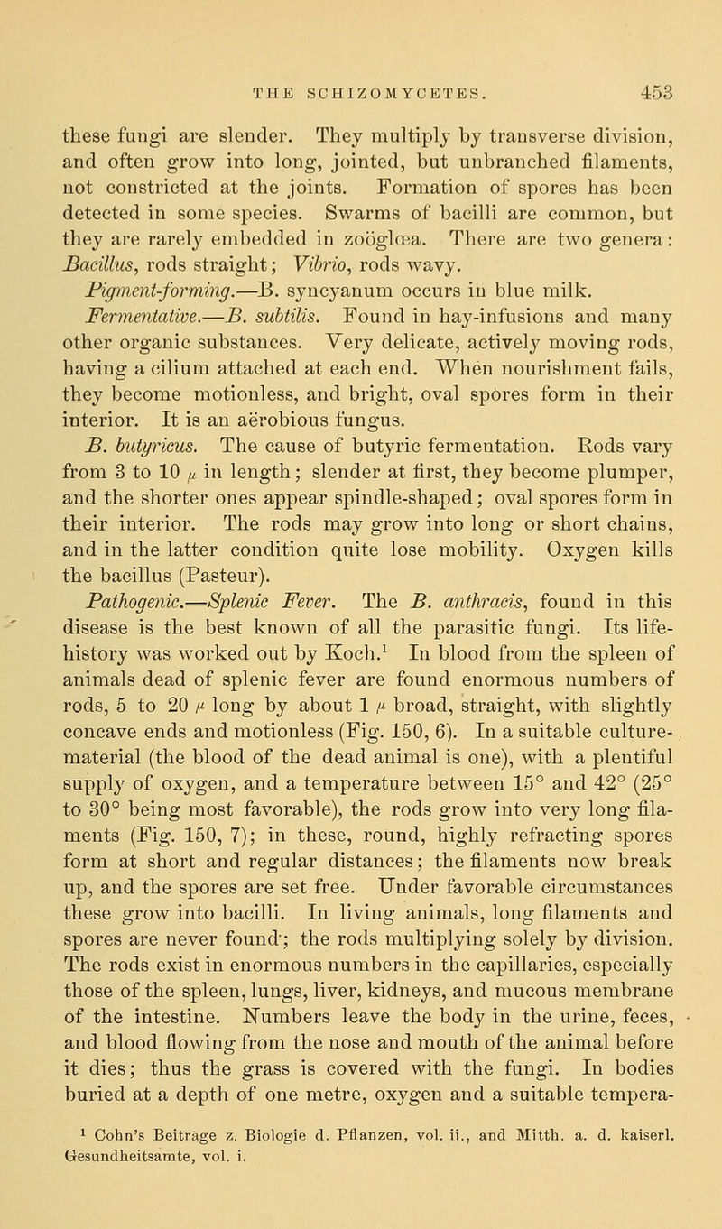 these fungi are slender. They multiply by transverse division, and often grow into long, jointed, but unbranched filaments, not constricted at the joints. Formation of spores has been detected in some species. Swarms of bacilli are common, but they are rarely embedded in zoogloea. There are two genera: Bacillus, rods straight; Vibrio, rods wavy. Pigment-forming.—B. syncyanum occurs in blue milk. Fermentative.—B. subtilis. Found in hay-infusions and many other organic substances. Very delicate, actively moving rods, having a cilium attached at each end. When nourishment fails, they become motionless, and bright, oval spores form in their interior. It is an aerobious fungus. B. butyricus. The cause of butyric fermentation. Rods vary from 3 to 10 // in length; slender at first, they become plumper, and the shorter ones appear spindle-shaped; oval spores form in their interior. The rods may grow into long or short chains, and in the latter condition quite lose mobility. Oxygen kills the bacillus (Pasteur). Pathogenic.—Splenic Fever. The B. anthracis, found in this disease is the best known of all the parasitic fungi. Its life- history was worked out by Koch.^ In blood from the spleen of animals dead of splenic fever are found enormous numbers of rods, 5 to 20 /^ long by about 1 h- broad, straight, with slightly concave ends and motionless (Fig. 150, 6). In a suitable culture-, material (the blood of the dead animal is one), with a plentiful supply of oxygen, and a temperature between 15° and 42° (25° to 30° being most favorable), the rods grow into very long fila- ments (Fig. 150, 7); in these, round, highly refracting spores form at short and regular distances; the filaments now break up, and the spores are set free. Under favorable circumstances these grow into bacilli. In living animals, long filaments and spores are never found'; the rods multiplying solely by division. The rods exist in enormous numbers in the capillaries, especially those of the spleen, lungs, liver, kidneys, and mucous membrane of the intestine. Numbers leave the body in the urine, feces, and blood flowing from the nose and mouth of the animal before it dies; thus the grass is covered with the fungi. In bodies buried at a depth of one metre, oxygen and a suitable tempera- ^ Cohn's Beitrage z. Biologie d. Pflanzen, vol. ii., and Mitth. a. d. kaiserl. Gesundheitsamte, vol. i.