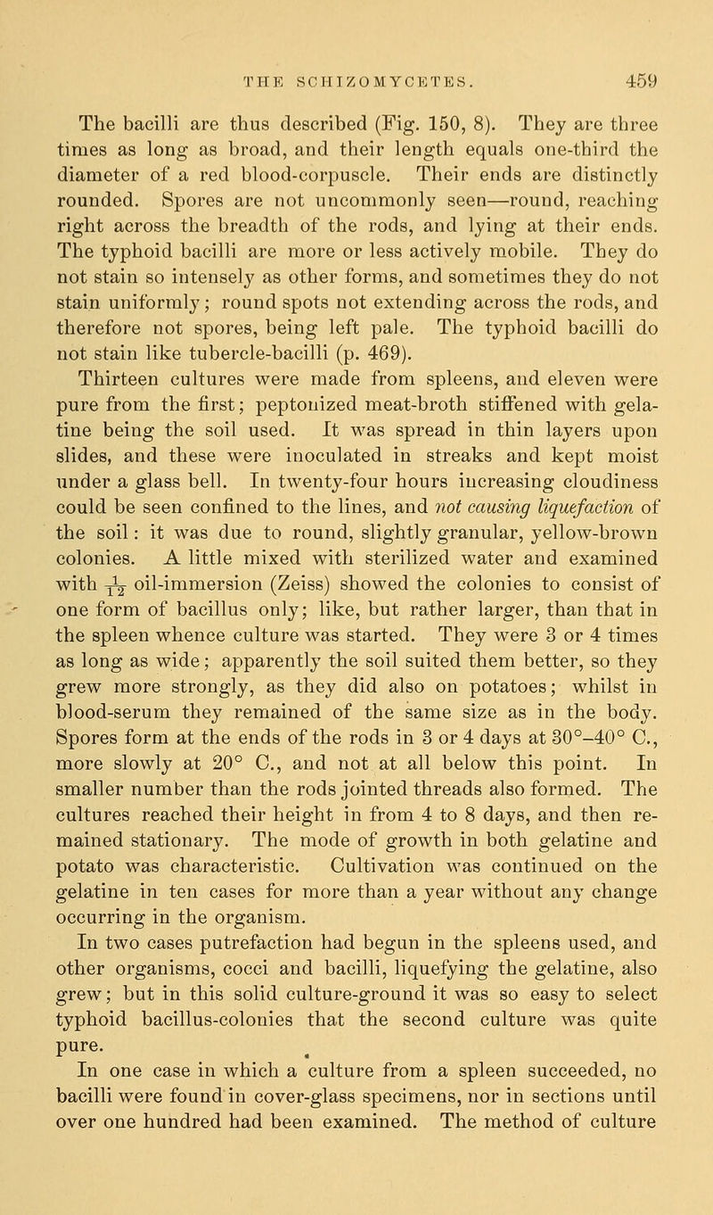 The bacilli are thus described (Fig. 150, 8). They are three times as long as broad, and their length equals one-third the diameter of a red blood-corpuscle. Their ends are distinctly rounded. Spores are not uncommonly seen—round, reaching right across the breadth of the rods, and lying at their ends. The typhoid bacilli are more or less actively mobile. They do not stain so intensely as other forms, and sometimes they do not stain uniformly; round spots not extending across the rods, and therefore not spores, being left pale. The typhoid bacilli do not stain like tubercle-bacilli (p. 469). Thirteen cultures were made from spleens, and eleven were pure from the first; peptonized meat-broth stiffened with gela- tine being the soil used. It was spread in thin layers upon slides, and these were inoculated in streaks and kept moist under a glass bell. In twenty-four hours increasing cloudiness could be seen confined to the lines, and not causing liquefaction of the soil: it was due to round, slightly granular, yellow-brown colonies. A little mixed with sterilized water and examined with J5- oil-immersion (Zeiss) showed the colonies to consist of one form of bacillus only; like, but rather larger, than that in the spleen whence culture was started. They were 3 or 4 times as long as wide; apparently the soil suited them better, so they grew more strongly, as they did also on potatoes; whilst in blood-serum they remained of the same size as in the body. Spores form at the ends of the rods in 3 or 4 days at 30°-40° C, more slowly at 20° C, and not at all below this point. In smaller number than the rods jointed threads also formed. The cultures reached their height in from 4 to 8 days, and then re- mained stationary. The mode of growth in both gelatine and potato was characteristic. Cultivation was continued on the gelatine in ten cases for more than a year without any change occurring in the organism. In two cases putrefaction had begun in the spleens used, and other organisms, cocci and bacilli, liquefying the gelatine, also grew; but in this solid culture-ground it was so easy to select typhoid bacillus-colonies that the second culture was quite pure. In one case in which a culture from a spleen succeeded, no bacilli were found in cover-glass specimens, nor in sections until over one hundred had been examined. The method of culture