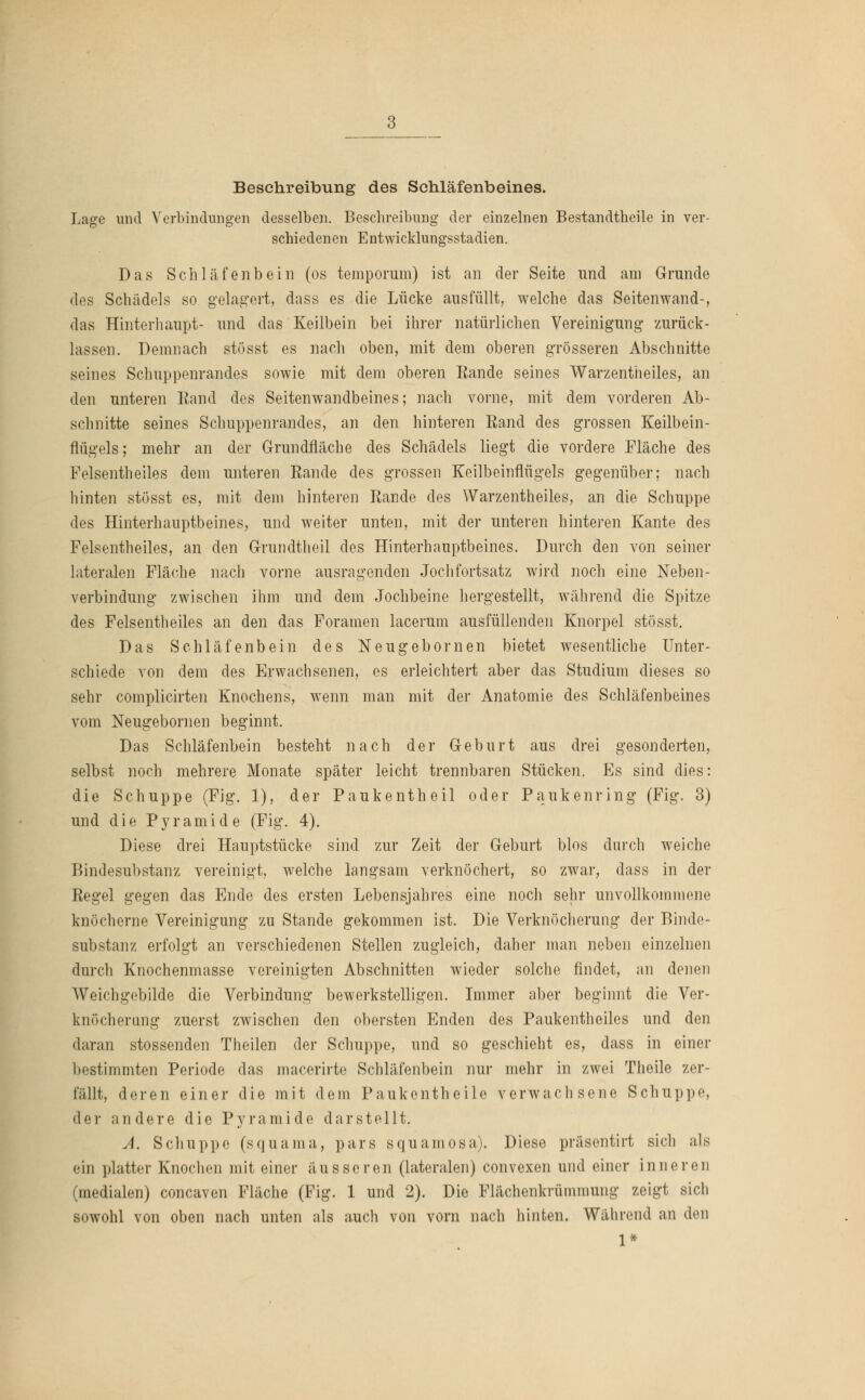 Beschreibung des Schläfenbeines. Lage und Verbindungen desselben. Beschreibung der einzelnen Bestandteile in ver- schiedenen Entwicklungsstadien. Das Schläfenbein (os temporum) ist an der Seite nnd am Grunde des Schädels so gelagert, dass es die Lücke ausfüllt, welche das Seitenwand-, das Hinterhaupt- und das Keilbein bei ihrer natürlichen Vereinigung zurück- lassen. Demnach stösst es nach oben, mit dem oberen grösseren Abschnitte seines Schuppenrandes sowie mit dem oberen Bande seines Warzentheiles, an den unteren Eand des Seitenwandbeines; nach vorne, mit dem vorderen Ab- schnitte seines Schuppenrandes, an den hinteren Eand des grossen Keilbein- flügels; mehr an der Grundfläche des Schädels liegt die vordere Fläche des Felsentheiles dem unteren Rande des grossen Keilbeinflügels gegenüber; nach hinten stösst es, mit dem hinteren Rande des Warzentheiles, an die Schuppe des Hinterhauptbeines, und weiter unten, mit der unteren hinteren Kante des Felsentheiles, an den Grundtheil des Hinterhauptbeines. Durch den von seiner lateralen Fläche nach vorne ausragenden Jochfortsatz wird noch eine Neben- verbindung zwischen ihm und dem Jochbeine hergestellt, während die Spitze des Felsentheiles an den das Foramen lacerum ausfüllenden Knorpel stösst. Das Schläfenbein des Neugebornen bietet wesentliche Unter- schiede von dem des Erwachsenen, es erleichtert aber das Studium dieses so sehr complicirten Knochens, wenn man mit der Anatomie des Schläfenbeines vom Neugebornen beginnt. Das Schläfenbein besteht nach der Geburt aus drei gesonderten, selbst noch mehrere Monate später leicht trennbaren Stücken. Es sind dies: die Schuppe (Fig. 1), der Paukentheil oder Paukenring (Fig. 3) und die Pyramide (Fig. 4). Diese drei Hauptstücke sind zur Zeit der Geburt blos durch weiche Bindesubstanz vereinigt, welche langsam verknöchert, so zwar, dass in der Regel gegen das Ende des ersten Lebensjahres eine noch sehr unvollkommene knöcherne Vereinigung zu Stande gekommen ist. Die Verknöcherung der Binde- substanz erfolgt an verschiedenen Stellen zugleich, daher man neben einzelnen durch Knochenmasse vereinigten Abschnitten wieder solche findet, an denen Weichgebilde die Verbindung bewerkstelligen. Immer aber beginnt die Ver- knöcherung zuerst zwischen den obersten Enden des Paukentheiles und den daran stossenden Theilen der Schuppe, und so geschieht es, dass in einer bestimmten Periode das macerirte Schläfenbein nur mehr in zwei Theile zer- fällt, deren einer die mit dem Paukentheile verwachsene Schuppe, der andere die Pyramide darstellt. A. Schuppe (squama, pars squamosa). Diese präsentirt sich als «in platter Knochen mit einer äusseren (lateralen) convexen und einer inneren (medialen) concaven Fläche (Fig. 1 und 2). Die Flächenkrüminung zeigt sich sowohl von oben nach unten als auch von vorn nach hinten. Während an den 1*