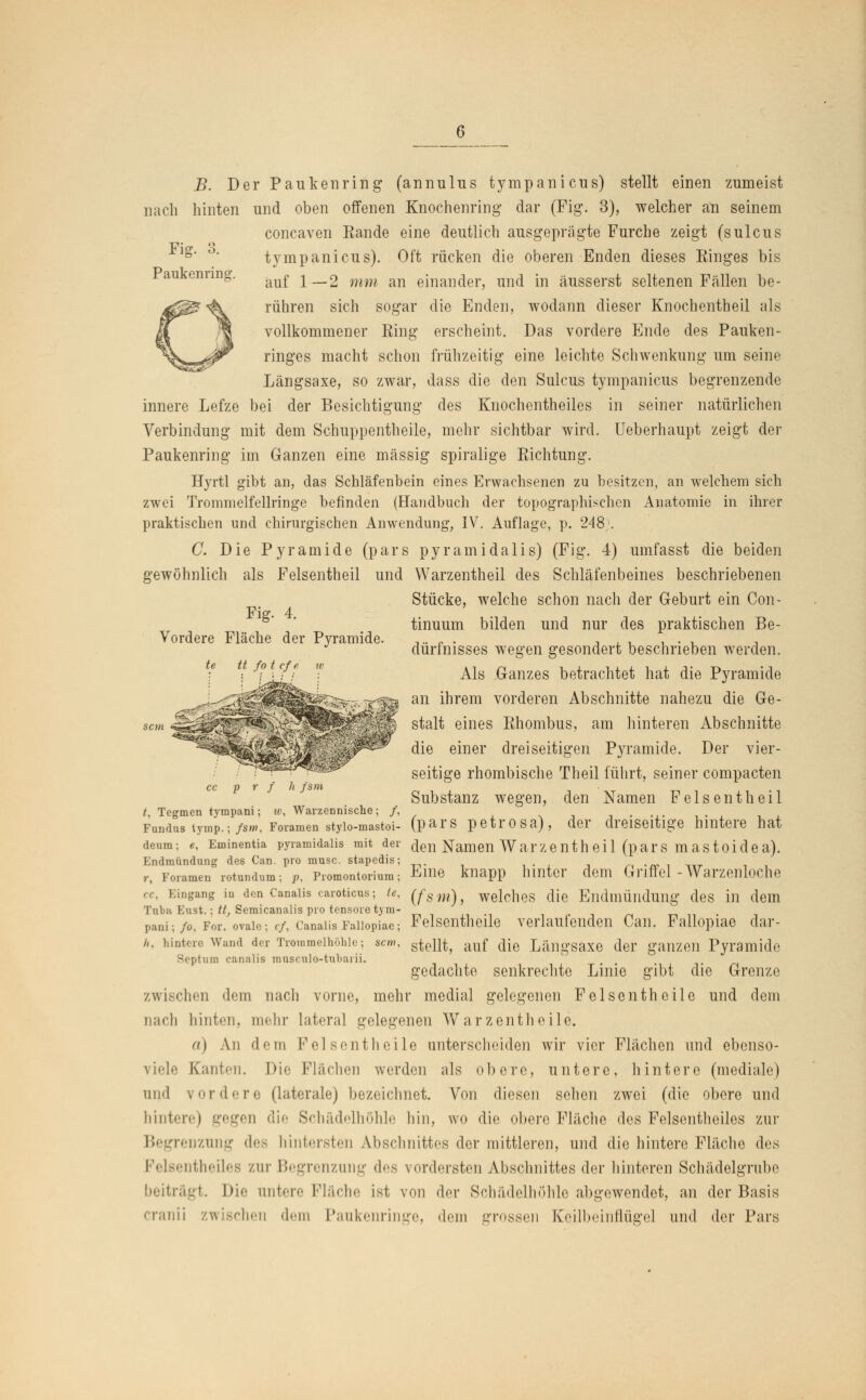 Paukenring. Fig. 4. Vordere Fläche der Pyramide. te tt fo t cf' e. w B. Der Paukenring (annulus tympanicus) stellt einen zumeist nach hinten und oben offenen Knochenring dar (Fig. 3), welcher an seinem concaven Kande eine deutlich ausgeprägte Furche zeigt (sulcus tympanicus). Oft rücken die oberen Enden dieses Kinges bis auf 1—2 mm an einander, und in äusserst seltenen Fällen be- rühren sich sogar die Enden, wodann dieser Knochentheil als vollkommener Bing erscheint. Das vordere Ende des Pauken - ringes macht schon frühzeitig eine leichte Schwenkung um seine Längsaxe, so zwar, dass die den Sulcus tympanicus begrenzende innere Lefze bei der Besichtigung des Knochentheiles in seiner natürlichen Verbindung mit dem Schuppentheile, mehr sichtbar wird. Ueberhaupt zeigt der Paukenring im Ganzen eine massig spiralige Eichtung. Hyrtl gibt an, das Schläfenbein eines Erwachsenen zu besitzen, an welchem sich zwei Trommelfellringe befinden (Handbuch der topographischen Anatomie in ihrer praktischen und chirurgischen Anwendung, IV. Auflage, p. 248;. C. Die Pyramide (pars pyramidalis) (Fig. 4) umfasst die beiden gewöhnlich als Felsentheil und Warzentheil des Schläfenbeines beschriebenen Stücke, welche schon nach der Geburt ein Con- tinuum bilden und nur des praktischen Be- dürfnisses wegen gesondert beschrieben werden. Als Ganzes betrachtet hat die Pyramide an ihrem vorderen Abschnitte nahezu die Ge- stalt eines Ehombus, am hinteren Abschnitte die einer dreiseitigen Pyramide. Der vier- seitige rhombische Theil führt, seiner compacten Substanz wegen, den Namen Felsentheil der dreiseitige hintere hat den Namen Warzentheil (pars mastoidea). Eine knapp hinter dem Griffel -Warzenloche {fsm), welches die Endmündung des in dem Felsentheile verlaufenden Can. Fallopiae dar- stellt, auf die Längsaxe der ganzen Pyramide gedachte senkrechte Linie gibt die Grenze zwischen dem nach vorne, mehr medial gelegenen Felsentheile und dem nach hinten, mehr Lateral gelegenen Warzcntheile. o) An dem Felsentheile unterscheiden wir vier Flächen und ebenso- viel.' Kanten, hie Flächen werden als obere, untere, hintere (mediale) and vordere (laterale) bezeichnet. Von diesen sehen zwei (die obere und hintere) gegen die Schädelhöhle hin, wo die obere Fläche des Felsentheiles zur Begrenzung des hintersten Abschnittes der mittleren, und die hintere Fläche des Felsentheiles zur Begrenzung des vordersten Abschnittes der hinteren Schädelgrube beiträgt. Die untere Fläche ist von der Schädelhöhle abgewendet, an der Basis cranii zwischen dem Paukenringe, dem grossen Ceilbeinflüge] und der Pars / h fsm ./• t, Tegmen tympani; iv, Warzennische ; „ Fundus tymp.; fsm, Foramen stylo-mastoi- (pars petrOSa), deura; e, Eminentia pyramidalis mit der Endmündung des Can. pro musc. stapedis; r, Foramen rotundum; p, Promontorium; cc, Eingang iu den Canalis caroticus; te, Tuba Eust.; ü, Semicanalis pro tensore t>m- pani; fo, For. ovale ; cf, Canalis Fallopiae; //. hintere Wand der Trommelhöhle; sem, Septum canalis musr.ulo-tubarii.