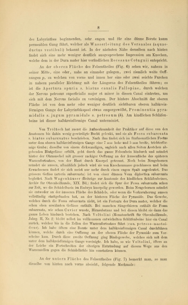 des Labyrinthes beginnenden, sehr engen und für eine dünne Borste kaum permeablen Gang führt, welcher als Wasserleitung des Vorsaales (aquae- ductus vestibuli) bekannt ist. In der nächsten Nähe derselben nach hinten findet sich eine mehr weniger deutlich ausgesprochene Impression am Knochen, welche dem in der Dura mater hier vorfindlichen EecessusCotugnii entspricht. An der oberen Fläche des Felsentheiles (Fig. 6) sehen wir, nahezu in seiner Mitte, eine oder, nahe an einander gelegen, zwei ziemlich weite Oeff- nungen p, zu welchen von vorne und innen her eine oder zwei seichte Furchen in nahezu paralleler Eichtung mit der Längste des Felsentheiles führen; es ist die Apertura spuria s. hiatus canalis Fallopiae, durch welchen der Nervus petrosus superficialis major et minor in diesen Canal eintreten, um sich mit dem Nervus facialis zu vereinigen. Der hintere Abschnitt der oberen Fläche ist von dem mehr oder weniger deutlich sichtbaren oberen halbkreis- förmigen Gange der Labyrinthkapsel etwas emporgewölbt, Prominentia pyra- midalis s. jugum pyramidale s. petrosum (h). Am kindlichen Schläfen- beine ist dieser halbkreisförmige Canal unterminirt. Von Tr ölt seh hat zuerst die Aufmerksamkeit der Praktiker auf diese von den Anatomen bis dahin wenig gewürdigte Bucht gelenkt, und sie als Fossa subarcuata s. hiatus subarcuatus beschrieben. Nach ihm findet sich im fünfmonatlichen Foetus unter dem oberen halbkreisförmigen Gange eine 7 mm hohe und 5 mm breite, trichterför- mige Grube; dieselbe von einem dickwandigen, sogleich nach allen Seiten Aestchen ab- gebenden Blutgefässe erfüllt, geht durch das ganze Felsenbein hindurch und mündet hinter der Ohrmuschel mit grosser zackiger Oeffnung an der Aussenfläche des späteren Warzenfortsatzes, von der Haut durch Knorpel getrennt. Noch beim Neugebornen mündet sie aussen, allmählich jedoch wird sie von Knochenmasse geschlossen und beim Erwachsenen findet sie sich meist nur mehr durch einen engen Spalt angedeutet. Das grössere Gefäss (arteria subarcuata) ist von einer dünnen Vena diploetica subarcuata begleitet. Nach Wagenhäuser (Beiträge zur Anatomie des kindlichen Schläfenbeines, Archiv für Ohrenheilkunde, XIX. Bd.) findet sich die Spur der Fossa subarcuata schon zur Zeit, wo die Schädelbasis im Embryo knorpelig geworden. Beim Neugebornen mündet sie entweder an der äusseren Fläche des Schädels, oder wenn die Verknöcherung aussen vollständig stattgefunden hat, an der hinteren Fläche der Pyramide. Das Gewebe, welches durch die Fossa subarcuata zieht, ist ein Fortsatz der Dura mater, welcher die schon oben erwähnten Gefässe enthält. Bei manchen Säugethieren enthält die Fossa subarcuata, wie schon Cuvier wusste, Hirnsubstanz und bei diesen bleibt sie dann das ganze Leben hindurch bestehen. Nach Voltolini (Monatsschrift für Ohrenheilkunde, Jahrg. II, Nr. 2) bleibt selbst im vollkommen entwickelten Schläfenbeine hier ein Canal zurück, welcher bis in die Zellen des Warzenfortsatzes führt (can. petroso-mastoi- deus). Ich habe öfters eine Borste unter dem halbkreisförmigen Canal durchführen können, welche durch eine Oeffnung an der oberen Fläche der Pyramide zum Vor- scheine kam. Durch diese zweite Oeffnung ging Bindegewebe, welches sich mit dem unter dem halbkreisförmigen Gange vereinigte. Ich habe, so wie Voltolini, öfters an der Leiche ein Fortschreiten der eiterigen Entzündung auf diesem Wege aus den Warzenzellen gegen dir Schädelhöhle hin constatiren können. An der untern I-1 lue he des Felsentheiles (Fig. 7) bemerkt man, so man dieselbe von hinten nach vorne absieht, folgende Merkmale: