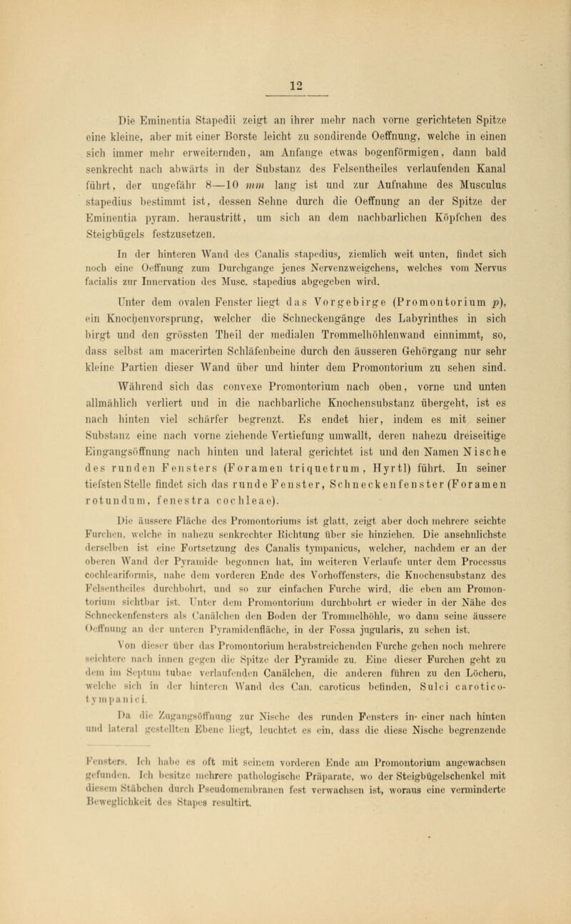 Die Eminentia Stapedii zeigt an ihrer mehr nach vorne gerichteten Spitze eine kleine, aber mit einer Borste leicht zu sondirende Oeffnung, welche in einen sich immer mehr erweiternden, am Anfange etwas bogenförmigen, dann bald senkrecht nach abwärts in der Substanz des Felsentheiles verlaufenden Kanal führt, der ungefähr 8—10 mm lang ist und zur Aufnahme des Musculus stapedius bestimmt ist, dessen Sehne durch die Oeffnung an der Spitze der Eminentia pyram. heraustritt, um sich an dem nachbarlichen Köpfchen des Steigbügels festzusetzen. In der hinteren Wand des Canalis stapedius, ziemlich weit unten, findet sich noch eine Oeffnung zum Durchgange jenes Nervenzweigchens, welches vom Nervus facialis zur Innervation des Muse, stapedius abgegeben wird. Unter dem ovalen Fenster liegt das Vorgebirge (Promontorium^), ein Knochenvorsprung, welcher die Schneckengänge des Labyrinthes in sich birgt und den grössten Theil der medialen Trommelhöhlenwand einnimmt, so, dass selbst am macerirten Schläfenbeine durch den äusseren Gehörgang nur sehr kleine Partien dieser Wand über und hinter dem Promontorium zu sehen sind. Während sich das convexe Promontorium nach oben, vorne und unten allmählich verliert und in die nachbarliche Knochensubstanz übergeht, ist es nach hinten viel schärfer begrenzt. Es endet hier, indem es mit seiner Substanz eine nach vorne ziehende Vertiefung umwallt, deren nahezu dreiseitige Eingangsöffnung nach hinten und lateral gerichtet ist und den Namen Nische des runden Fensters (Foramen triquetrum, Hyrtl) führt. In seiner tiefsten Stelle findet sich das runde Fenster, Seh necke nfenster (Foramen rotundum, fenestra Cochleae). Die äussere Fläche des Promontoriums ist glatt; zeigt aber doch mehrere seichte Furchen, welche in nahezu senkrechter Richtung über sie hinziehen. Die ansehnlichste derselben ist eine Fortsetzung des Canalis tympanicus, welcher, nachdem er an der oberen Wand der Pyramide begonnen hat, im weiteren Verlaufe unter dem Processus cochlearifonnis, nahe dem vorderen Ende des Vorhoffensters, die Knochensubstanz des Felsentheiles durchbohrt, und so zur einfachen Furche wird, die eben am Promon- torium sichtbar ist. Unter dem Promontorium durchbohrt er wieder in der Nähe des Schneckenfensters als Canälchen den Boden der Trommelhöhle, wo dann seine äussere Oeffnung an der unteren Pyramidenfläche, in der Fossa jugularis, zu sehen ist. Von dieser über das Promontorium herabstreichenden Furche gehen noch mehrere seichtere nach innen gegen die Spitze der Pyramide zu. Eine dieser Furchen geht zu dem im Septum tubae verlaufenden Canälchen, die anderen führen zu den Löchern, welche sich in der hinteren Wand des Can. caroticus befinden, Sulci carötico- 1 y in pun ici. Da die Zugangsöffnung zur Nische des runden Fensters in* einer nach hinten und lateral gestellten Ebene liegt, leuchtet es ein, dass die diese Nische begrenzende Fensters. Ich habe es oft mit seinem venleren Unde am Promontorium angewachsen gefunden. [ch besitze mehrere pathologische Präparate, wo der Steigbügelschenkel mit n Stäbchen durch Pseudomembranen fest verwachsen ist, woraus eine verminderte Beweglichkeit des Stapes resultirt