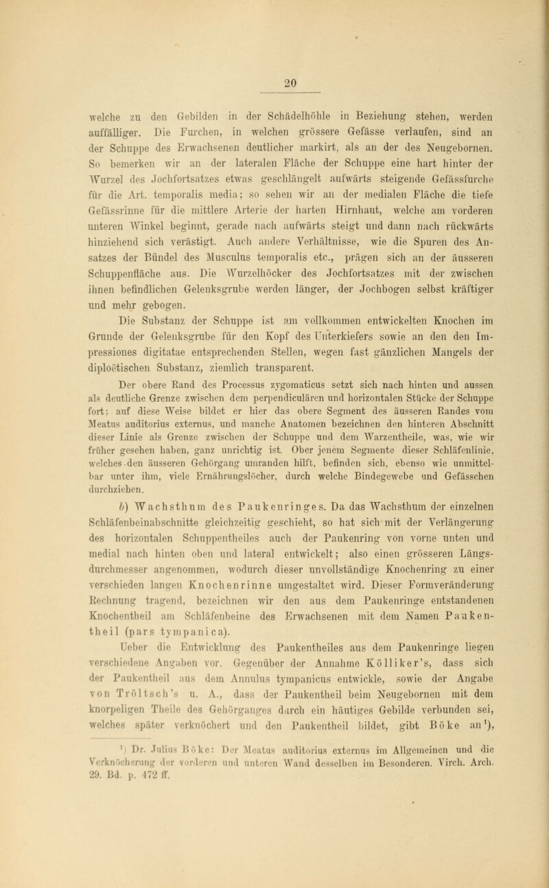 welche zu den Gebilden in der Schädelhöhle in Beziehung stehen, werden auffälliger. Die Furchen, in welchen grössere Gefässe verlaufen, sind an der Schuppe des Erwachsenen deutlicher markirt, als an der des Neugebornen. So bemerken wir an der lateralen Fläche der Schuppe eine hart hinter der Wurzel des Jochfortsatzes etwas geschlängelt aufwärts steigende Gefässfurche für die Art. temporalis media; so sehen wir an der medialen Fläche die tiefe Gefässrinne für die mittlere Arterie der harten Hirnhaut, welche am vorderen unteren Winkel beginnt, gerade nach aufwärts steigt und dann nach rückwärts hinziehend sich verästigt. Auch andere Verhältnisse, wie die Spuren des An- satzes der Bündel des Musculus temporalis etc., prägen sich an der äusseren Schuppenfläche aus. Die Wurzelhöcker des Jochfortsatzes mit der zwischen ihnen befindlichen Gelenksgrube werden länger, der Jochbogen selbst kräftiger und mehr gebogen. Die Substanz der Schuppe ist am vollkommen entwickelten Knochen im Grunde der Gelenksgrube für den Kopf des Unterkiefers sowie an den den Im- pressiones digitatae entsprechenden Stellen, wegen fast gänzlichen Mangels der diploetischen Substanz, ziemlich transparent. Der obere Rand des Processus zygomaticus setzt sich nach hinten und aussen als deutliche Grenze zwischen dem perpendiculären und horizontalen Stücke der Schuppe fort: auf diese Weise bildet er hier das obere Segment des äusseren Randes vom Meatus auditorius extemus, und manche Anatomen bezeichnen den hinteren Abschnitt dieser Linie als Grenze zwischen der Schuppe und dem Warzentheile, was, wie wir früher gesehen haben, ganz unrichtig ist. Ober jenem Segmente dieser Schläfenlinie, welches den äusseren Gehürgang umranden hilft, befinden sich, ebenso wie unmittel- bar unter ihm, viele Ernährungslücher, durch welche Bindegewebe und Gefässchen durchziehen. b) Wachsthum des Paukenringes. Da das Wach stimm der einzelnen Schläfenbeinabschnitte gleichzeitig geschieht, so hat sich mit der Verlängerung des horizontalen Schuppentheiles auch der Paukenring von vorne unten und medial nach hinten oben und lateral entwickelt; also einen grösseren Längs- durchme8ser angenommen, wodurch dieser unvollständige Knochenring zu einer vfi-scliieden langen Knochen rinne umgestaltet wird. Dieser Formveränderung Rechnung tragend, bezeichnen wir den aus dem Paukenringe entstandenen Knochentheil am Schläfenbeine des Erwachsenen mit dem Namen Pauken- the i 1 (pars tympani ca). Ueber die, Fmtwicklung des Paukentheiles aus dem Paukenringe liegen chiedene Angaben vor. Gegenüber der Annahme Kolliker's, dass sich der Paukentheil aus dem Annulus tympanicus entwickle, sowie der Angabe \ii Tröltsch'ß u. A., dass der Paukentheil beim Neugebornen mit dem knorpeligen Theile durch ein häutiges Gebilde verbunden sei, welches Bp&ter verknöchert und den Paukentheil bildet, gibt Böke an1), Dr. Julius Böke: !><t Meatus auditorius externus im Allgemeinen und die Verknöcherung der vordereo und unteren Wand desselben im Besonderen. Virch. Arch. 29. Bd. p. 172 11.