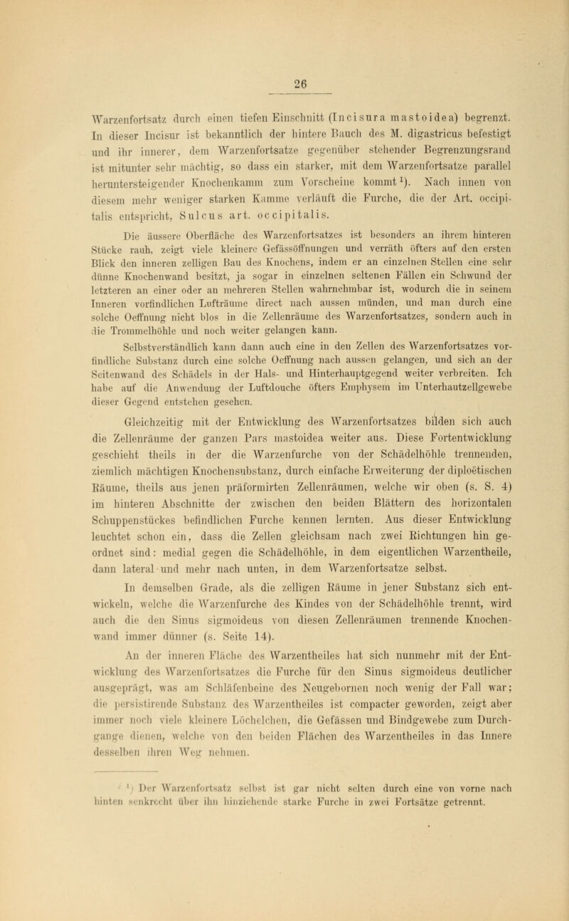 Warzenfortsatz durch einen tiefen Einschnitt (Incisura mastoidea) begrenzt. In dieser Incisur ist bekanntlich der hintere Bauch des M. digastricus befestigt und ihr innerer, dem Warzenfortsatze gegenüber stehender Begrenzungsrand ist mitunter sehr mächtig, so dass ein starker, mit dem Warzenfortsatze parallel heruntersteigender Knochenkamm zum Vorscheine kommt1). Nach innen von diesem mehr weniger starken Kamme verläuft die Furche, die der Art. occipi- talis entspricht, Sulcus art. occipitalis. Die äussere Oberfläche des Warzenfortsatzes ist besonders an ihrem hinteren Stücke rauh, zeigt viele kleinere Gefässöffnungen und verräth öfters auf den ersten Blick den inneren zelligen Bau des Knochens, indem er an einzelnen Stellen eine sehr dünne Knochenwand besitzt, ja sogar in einzelnen seltenen Fällen ein Schwund der letzteren an einer oder an mehreren Stellen wahrnehmbar ist, wodurch die in seinem Inneren vorfindlichen Lufträume direct nach aussen münden, und man durch eine solche Oeffnung nicht blos in die Zellenräume des Warzenfortsatzes, sondern auch in die Trommelhöhle und noch weiter gelangen kann. Selbstverständlich kann dann auch eine in den Zellen des Warzenfortsatzes vor- findliche Substanz durch eine solche Oeffnung nach aussen gelangen, und sich an der Seitenwand des Schädels in der Hals- und Hinterhauptgegend weiter verbreiten. Ich habe auf die Anwendung der Luftdouche öfters Emphysem im Unterhautzellgewebe dieser Gegend entstehen gesehen. Gleichzeitig mit der Entwicklung des Warzenfortsatzes bilden sich auch die Zellenräume der ganzen Pars mastoidea weiter aus. Diese Fortentwicklung geschieht theils in der die Warzenfurche von der Schädelhöhle trennenden, ziemlich mächtigen Knochensubstanz, durch einfache Erweiterung der diploetischen Bäume, theils aus jenen präformirten Zellenräumen, welche wir oben (s. S. 4) im hinteren Abschnitte der zwischen den beiden Blättern des horizontalen Schuppenstückes befindlichen Furche kennen lernten. Aus dieser Entwicklung leuchtet schon ein, dass die Zellen gleichsam nach zwei Eichtungen hin ge- ordnet sind: medial gegen die Schädelhöhle, in dem eigentlichen Warzentheile, dann lateral-und mehr nach unten, in dem Warzenfortsatze selbst. In demselben Grade, als die zelligen Bäume in jener Substanz sich ent- wickeln, welche die Warzenfurche des Kindes von der Schädelhöhle trennt, wird auch die den Sinus sigmoideus von diesen Zellenräumen trennende Knochen- wand immer dünner (s. Seite 14). An der inneren Fläche des Warzentheiles hat sich nunmehr mit der Ent- wicklung des Warzenfortsatzes die Furche für den Sinus sigmoideus deutlicher ausgeprägt, was am Schläfenbeine des Neugebornen noch wenig der Fall war; die persistirende Substanz des AVarzentheiles ist compacter geworden, zeigt aber immer noch viele kleinere Löchelchen, die Gefässen und Bindgewebe zum Durch- gange dienen, welche von den beiden Flächen des Warzentheiles in das Innere ben ihren Weg nehmen. Der Warzenfortsatz Belbst ist gar nicht selten durch eine von vorne nach hinten senkrecht über ihn hinziehende starke Furche in zwei Fortsätze getrennt.