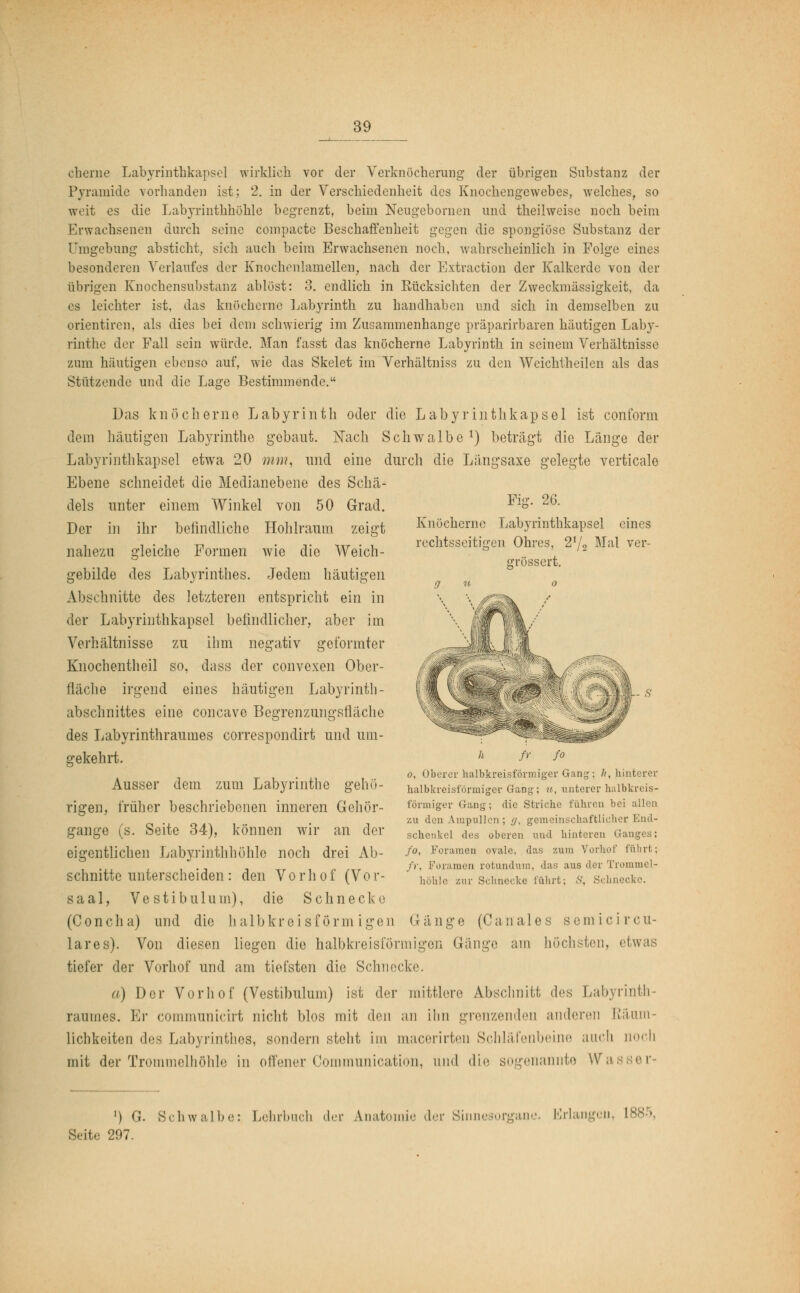 Fig. 26. Knöcherne Labyrinthkapsel eines rechtsseitigen Ohres, 21!2 Mal ver- ffrössert. eherne Labyrinthkapsel wirklieh vor der Verknöcherung der übrigen Substanz der Pyramide vorhanden ist; 2. in der Verschiedenheit des Knochengewebes, welches, so weit es die Labyrinthhöhle begrenzt, beim Neugebornen und theilweise noch beim Erwachsenen durch seine compacte Beschaffenheit gegen die spongiöse Substanz der Umgehung absticht, sich auch beim Erwachsenen noch, wahrscheinlich in Folge eines besonderen Verlaufes der Knochenlamellen, nach der Extraction der Kalkerde von der übrigen Knochensubstanz ablöst: 3. endlich in Rücksichten der Zweckmässigkeit, da es leichter ist, das knöcherne Labyrinth zu handhaben und sich in demselben zu orientiren, als dies bei dem schwierig im Zusammenhange präparirbaren häutigen Laby- rinthe der Fall sein würde. Man fasst das knöcherne Labyrinth in seinem Verhältnisse zum häutigen ebenso auf, wie das Skelet im Verhältniss zu den Weichtheilen als das Stützende und die Lage Bestimmende. Das knöcherne Labyrinth oder die Labyrinthkapsel ist conform dem häutigen Labyrinthe gebaut. Nach Schwalbe1) beträgt die Länge der Labyrinthkapsel etwa 20 mm, und eine durch die Längsaxe gelegte verticale Ebene schneidet die Medianebene des Schä- dels unter einem Winkel von 50 Grad. Der in ihr befindliche Hohlraum zeigt nahezu gleiche Formen wie die Weich - gebilde des Labyrinthes. Jedem häutigen Abschnitte des letzteren entspricht ein in der Labyrinthkapsel befindlicher, aber im Verhältnisse zu ihm negativ geformter Knocbentheil so, dass der convexen Ober- fläche irgend eines häutigen Labyrinth- abschnittes eine coneave Begrenzungsflache des Labyrinthraumes correspondirt und um- gekehrt. Ausser dem zum Labyrinthe gehu- rigen, früher beschriebenen inneren Gehör- gange (s. Seite 34), können wir an der eigentlichen Labyrinthhöhle noch drei Ab- schnitte unterscheiden: den Vorhof (Vor- saal, Vestibulum), die Schnecke (Concha) und die halbkreisförmigen Gänge (C anal es semicir cil- iar es). Von diesen liegen die halbkreisförmigen Gang»; am höchsten, etwas tiefer der Vorhof und am tiefsten die Schnecke. a) Der Vorhof (Vestibulum) ist der mittlere Abschnitt des Labyrinth- raunies. Er communicirt nicht blos mit den an ihn grenzenden anderen Räum- lichkeiten des Labyrinthes, sondern steht im macerirten Schläfenbeine auch noch mit der Trommelhöhle in offener Communication, und die sogenannte Wasser- h fr fo o, Oberer halbkreisförmiger Gang; //, hinterer halbkreisförmiger Gang; u, unterer halbkreis- förmiger Gang; die Striche führen bei allen zu den Ampullen ; g, gemeinschaftlicher End- seheukel des oberen und hinteren Ganges; fo, Foramen ovale, das zum Vorhol' fuhrt; fr, Foramen rotundum, das aus der Trommel- höhle zur Schnecke führt; 8, Schnecke. ') G. Schwalb Seit.; 297. Lehrbuch der Anatomie der Sinnesorgane. Erlangen, 1885,