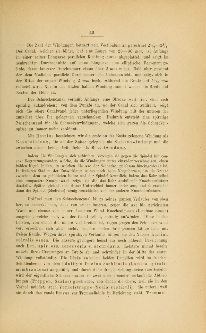 Die Zahl der Windungen beiragt vom Vestibulum an gerechnet 21/„—23/4. Der Canal, welcher sie bildet, hat eine Länge von 28—30 mm, ist Anfangs in einer seiner Längsaxc parallelen Richtung etwas abgeplattet, und zeigt im senkrechten Durchschnitte auf seine Längsaxe eine elliptische Begrenzungs- linie, deren längerer Durchmesser etwas über 2 mm misst. Bald aber gewinnt der dem Modiolus parallele Durchmesser das Uebergewicht, und zeigt sich in der Mitte der ersten Windung 2 mm hoch, während die Breite auf l1/.» ww reducirt wird. Nur in der letzten halben Windung nimmt wieder die Breite auf Kosten der Höhe zu. Der Schneckencanal verläuft Anfangs eine Strecke weit frei, ohne sich spiralig aufzudrehen ; von dem Punkte an, wo der Canal sich aufdreht, zeigt sich die obere Canalwand jeder unterliegenden Windung mit der unteren der zunächst über ihr gelegenen verschmolzen. Dadurch entsteht eine spiralige Zwischenwand für die Schneckenwindungen, welche sich gegen die Schnecken- spitze zu immer mehr verdünnt. Mit Retzius bezeichnen wir die erste an der Basis gelegene Windung als Basal win düng, die an der Spitze gelegene als Spitzen Windung und die zwischen diesen beiden befindliche als Mittel win düng. Indem die Windungen sich aufdrehen, erzeugen sie gegen die Spindel hin con- cave Begrenzungsränder, welche, da die Windungen unter einander verschmelzen, einen hohlen Kegel bilden, in welchen die Axe der Schnecke gleichsam hineingesteckt ist. In früheren Stadien der Entwicklung, selbst noch beim Neugebornen, ist die Grenze zwischen dem so gebildeten Rohre und der Spindel kenntlich, indem das Rohr selbst eine compactere Knochenwand zeigt, als die das Rohr ausfüllende Knochensubstanz darstellt. Später gleicht sich dieser Unterschied immer mehr aus, und es erscheint dann die Spindel (Modiolus) wenig verschieden von der anderen Knochensubstanz. Eröffnet man den Schneckencanal längs seines ganzen Verlaufes von oben her, so bemerkt man, dass von seiner inneren, gegen die Axe hin gerichteten Wand und ebenso von seiner äusseren Wand Knochcnleisten (Laminae osseae) ausgehen, welche sich, wie der Canal selbst, spiralig aufwinden. Diese beiden Leisten, von denen die innere viel breiter ist, ragen gegen den Schneckencanal vor, erreichen sich aber nicht, sondern enden ihrer ganzen Länge nach mit freiem Rande. Wegen ihres spiraligcn Verlaufes führen sie den Namen Lamina spiralis ossea. Die äussere geringere heisst zur noch näheren Bezeichnung auch Lara. spir. oss. accessoria s. secundaria. Letztere nimmt bereits unweit ihres Ursprunges an Breite ab und schwindet in der Mitte der ersten Windung vollständig. Die Lücke zwischen beiden Lamellen wird im frischen Schläfenbeine von dem häutigen Ductus cochlearis (Lamina spiralis membranacea) ausgefüllt, und durch diese drei, beziehungsweise zwei Gebilde wird der eigentliche Schneckenraum in zwei über einander verlaufende Abtei- lungen (Treppen, Scalac) geschieden, von denen die obere, weil sie in den Vorhof mündet, auch Vorhof'str epp e (Scala vestibuli), die untere, weil sie durch das runde Fenster zur Trommelhöhle in Beziehung steht, Trommel-