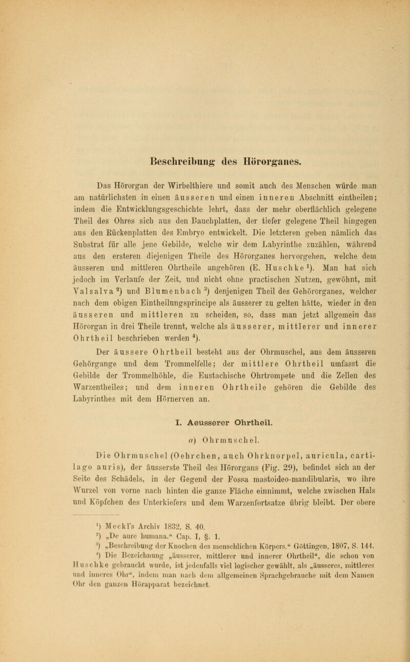 Beschreibung* des Hörorganes. Das Hörorgan der Wirbelthiere und somit auch des Menschen würde man am natürlichsten in einen äusseren und einen inneren Abschnitt eintheilen; indem die Entwicklungsgeschichte lehrt, dass der mehr oberflächlich gelegene Theil des Ohres sich aus den Bauch platten, der tiefer gelegene Theil hingegen aus den Eückenplatten des Embryo entwickelt. Die letzteren geben nämlich das Substrat für alle jene Gebilde, welche wir dem Labyrinthe zuzählen, während aus den ersteren diejenigen Theile des Hörorganes hervorgehen, welche dem äusseren und mittleren Ohrtheile angehören (E. Huschke1). Man hat sich jedoch im Verlaufe der Zeit, und nicht ohne practischen Nutzen, gewöhnt, mit ValsalvafJ) und Blumenbach3) denjenigen Theil des Gehörorganes, welcher nach dem obigen Eintheilungsprincipe als äusserer zu gelten hätte, wieder in den äusseren und mittleren zu scheiden, so, dass man jetzt allgemein das Hörorgan in drei Theile trennt, welche als äusserer, mittlerer und innerer Ohrtheil beschrieben werden4). Der äussere Ohrtheil besteht aus der Ohrmuschel, aus dem äusseren Gehörgange und dem Trommelfelle: der mittlere Ohrtheil umfasst die Gebilde der Trommelhöhle, die Eustachische Ohrtrompete und die Zellen des Warzentheiles; und dem inneren Ohrtheile gehören die Gebilde des Labyrinthes mit dem Hörnerven an. I. Aeusserer Ohrtheil. a) Ohrmuschel. Die Ohrmuschel (Oehrchen, auch Ohrknorpol, auricula, carti- lago auris), der äusserste Theil des Hörorgans (Fig. 29), befindet sich an der Seite des Schädels, in der Gegend der Fossa mastoideo-mandibularis, wo ihre Wurzel von vorne nach hinten die ganze Fläche einnimmt, welche zwischen Hals und Köpfchen des Unterkiefers und dem Warzenfortsatze übrig bleibt. Der obere ') Meckl's Archiv 1832, S. 40. 2) „Do aure humana. Ca]». I, §. 1. '■'•) „Beschreibung der Knochen des menschlichen Körpers. Göttingen, 1807, S. 144. 4) Die Bezeichnung „äusserer, mittlerer und innerer Ohrtheil, die schon von II ii ichke gebraucht wurde, ist jedenfalls viel logischer gewählt, als „äusseres, mittleres und inneres Oln, indem man mich dem allgemeinen Sprachgebrauche mit dem Namen Ohr den ganzen Hörapparat bezeichnet.