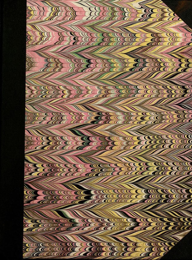 No text description is available for this image