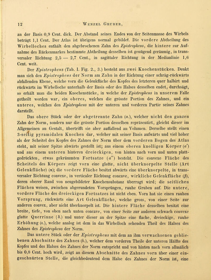 an der Basis 0,9 Cent. dick. Der Abstand seines Endes von der Seitenmasse des Wirbels beträgt 1,1 Cent. Der Atlas ist übrigens normal gebildet. Die vordere Abtheilung des Wirbelloches enthält den abgebrochenen Zahn des Epistropheus, die hintere zur Auf- nahme des Rückenmarkes bestimmte Abtheilung desselben ist genügend geräumig, in trans- versaler Richtung 2,5 — 2,7 Cent., in sagittaler Richtung in der Medianlinie 1,6 Cent. weit. Der Epistropheus (Tab. I. Fig. 2., 3.) besteht aus zwei Knochenstücken. Denkt man sich den Epistropheus der Norm am Zahn in der Richtung einer schräg-rückwärts abfallenden Ebene, welche vorn die Gelenkfläche des Kopfes des letzteren quer halbirt und rückwärts im Wirbelloche unterhalb der Basis oder des Halses desselben endet,, durchsägt, so erhält man die beiden Knochenstücke, in welche der Epistropheus in unserem Falle getheilt worden war, ein oberes, welches die grösste Portion des Zahnes, und ein unteres, welches den Epistropheus mit der unteren und vorderen Partie seines Zahnes darstellt. Das obere Stück oder der abgetrennte Zahn («.), welcher nicht den ganzen Zahn der Norm, sondern nur die grösste Portion desselben repräsentirt, gleicht dieser im Allgemeinen an Gestalt, übertrifft sie aber auffallend an Volumen. Derselbe stellt einen 3-seitig pyramidalen Knochen dar, welcher mit seiner Basis aufwärts und viel höher als der Scheitel des Kopfes des Zahnes der Norm über dem vorderen Bogen des Atlas steht, mit seiner Spitze abwärts gestellt ist; aus einem oberen knolligen Körper (ar) und aus einem unteren hinteren dreieckigen, von hinten nach vorn und unten platt- gedrückten, etwas gekrümmten Fortsatze (ar) besteht. Die convexe Fläche des Scheitels des Körpers zeigt vorn eine glatte, nicht überknorpelte Stelle (Art Gelenkfläche) (a); die vordere Fläche besitzt abwärts eine überknorpelte, in trans- versaler Richtung convexe, in verticaler Richtung concave, wirkliche Gelenkfläche (ß), deren oberer Rand von neugebildeter Knochensubstanz überragt wird; die seitlichen Flächen weisen, zwischen abgerundeten Vorsprüngen, rauhe Gruben auf. Die untere, vordere Fläche des dreieckigen Fortsatzes ist nicht eben. Vorn hat sie einen rauhen Vorsprung, rückwärts eine Art Gelenkfläche, welche gross, von einer Seite zur anderen convex, aber nicht überknorpelt ist. Die hintere Fläche desselben besitzt eine breite, tiefe, von oben nach unten concave, von einer Seite zur anderen schwach convexe glatte Querrinne (8.) und unter dieser an der Spitze eine flache, dreieckige, rauhe Erhöhung (e.), welche analog ist dem in das Wirbelloch sehenden Theil des Halses des Zahnes des Epistropheus der Norm. Das untere Stück oder der Epistropheus mit dem an ihm verwachsenen geblie- benen Abschnitte des Zahnes (&.), welcher dem vorderen Theile der unteren Hälfte des Kopfes und des Halses des Zahnes der Norm entspricht und von hinten nach vorn allmälich bis 0,8 Cent, hoch wird, zeigt an diesem Abschnitte des Zahnes vorn über einer ein- geschnürten Stelle, die gleichbedeutend dem Halse des Zahnes der Norm ist, eine