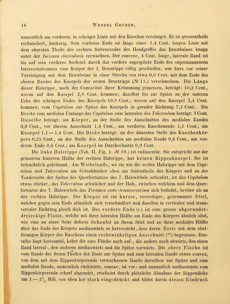 namentlich am vorderen, in schräger Linie mit den Knochen vereiniget. Er ist grossentheils verknöchert, höckerig. Sein vorderes Ende ist längs einer 1,4 Cent, langen Linie mit dem obersten Theile des rechten Seiteurandes des Handgriffes des Brustbeines knapp unter der Incisura clavicularis verwachsen. Der convexe, 4 Cent, lange, laterale Rand ist bis auf sein vorderes Sechstel durch das vordere zugespitzte Ende des supernumerären Intercostalraumes vom Körper der 1. Brustrippe völlig gescbieden, nur kurz vor seiner Vereinigung mit dem Brustbeine in einer Strecke von etwa 0,6 Cent, mit dem Ende des oberen Bandes des Knorpels der ersten Brustrippe (JMS 11.) verschmolzen. Die Länge dieser Halsrippe, nach der Concavität ihrer Krümmung gemessen, beträgt: 10,2 Cent., wovon auf den Knorpel 2,8 Cent, kommen; daselbst bis zur Spitze an der unteren Ecke des schrägen Endes des Knorpels 10,8 Cent., wovon auf den Knorpel 3,4 Cent, kommen; vom Capitulum zur Spitze des Knorpels in gerader Richtung 7,2 Cent.. Die Breite vom medialen Umfange des Capitulum zum lateralen des Tuberculum beträgt: 3 Cent. Dieselbe beträgt: am Körper, an der Stelle des Ausschnittes des medialen Randes 0,9 Cent., vor diesem Ausschnitt 1,4 Cent., am vorderen Knochenende 1,1 Cent.; am Knorpel 1,1 —1,4 Cent. Die Dicke beträgt: an der dünnsten Stelle des Knochenkör- pers 0,25 Cent., an der Stelle des Ausschnittes am medialen Rande 0,6 Cent., am vor- deren Ende 0,8 Cent.; am Knorpel im Durchschnitte 0,9 Cent. Die linke Halsrippe (Tab. IL Fig. 1. K?. 10.) ist rudimentär. Sie entspricht nur der grösseren hinteren Hälfte der rechten Halsrippe, hat keinen Rippenknorpel. Sie ist beträchtlich gekrümmt. Am Wirbelende, wo sie wie die rechte Halsrippe mit dem Capi- tulum und Tuberculum am Gelenkhöcker oben am Seitentheile des Körpers und an der Vorderseite der Spitze des Querfortsatzes des 7. Halswirbels articulirt, ist das Capitulum etwas stärker, das Tuberculum schwächer und der Hals, zwischen welchem und dem Quer- fortsatze des 7. Halswirbels das Foramen costo-transversarium sich befindet, breiter als an der rechten Halsrippe. Der Körper ist ein kurzer, vierseitiger, gekrümmter Stiel, welcher gegen sein Ende allmälich sich verschmälert und daselbst in verticaler und trans- versaler Richtung gleich dick ist. Das vordere Ende (e.) ist eine grosse abgerundet- dreieckige Platte, welche mit ihrer lateralen Hälfte am Ende des Körpers ähnlich sitzt, wie eine an einer Seite defecte Schaufel an ihrem Stiel und an ihrer medialen Hälfte über das Ende des Körpers medianwärts so hervorsteht, dass deren Basis mit dem stiel- förmigen Körper des Knochens einen rechtwinkeligen Ausschnitt (**) begrenzen. Das- selbe liegt horizontal, kehrt die eine Fläche nach auf-, die andere nach abwärts, den einen Rand lateral-, den anderen medianwärts und die Spitze vorwärts. Die obere Fläche ist vom Rande des freien Theiles der Basis zur Spitze und zum lateralen Rande etwas convex, von dem mit dem Rippenkörperende verwachsenen Rande derselben zur Spitze und zum medialen Rande, namentlich rückwärts, concav; ist vor- und namentlich medianwärts vom Rippenkörperende scharf abgesetzt, erscheint durch plötzliche Abnahme der Rippendicke um 1 — 3'/2 Mill. von oben her stark eingedrückt und bildet durch diesen Eindruck