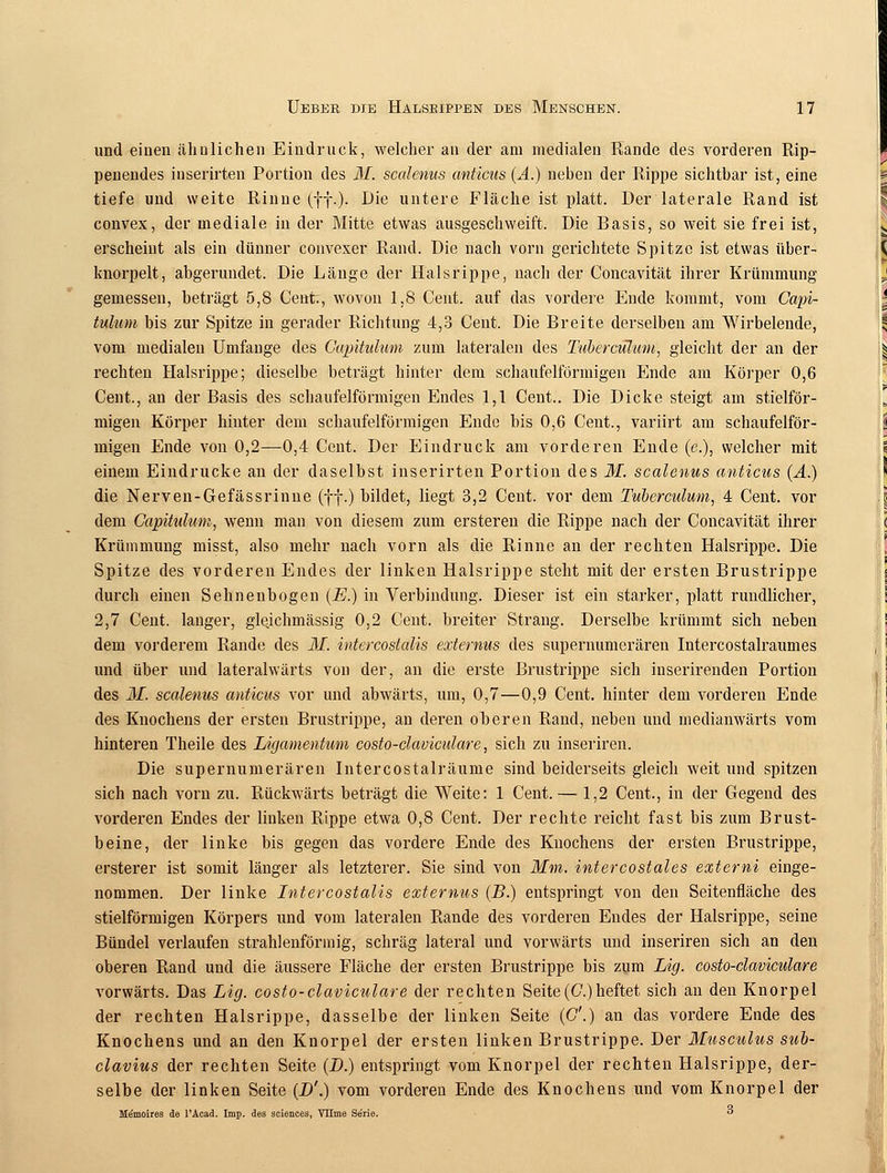 und einen ähnlichen Eindruck, welcher an der am medialen Rande des vorderen Rip- penendes inserirten Portion des 31. scalenus anticus (A.) neben der Rippe sichtbar ist, eine tiefe und weite Rinne (ff.). Die untere Fläche ist platt. Der laterale Rand ist convex, der mediale in der Mitte etwas ausgeschweift. Die Basis, so weit sie frei ist, erscheint als ein dünner convexer Rand. Die nach vorn gerichtete Spitze ist etwas über- knorpelt, abgerundet. Die Länge der Halsrippe, nach der Concavität ihrer Krümmung gemessen, beträgt 5,8 Cent., wovon 1.8 Cent, auf das vordere Ende kommt, vom Capi- tulum bis zur Spitze in gerader Richtung 4,3 Cent. Die Breite derselben am Wirbelende, vom medialen Umfange des Gwpitulum zum lateralen des TubercuJum, gleicht der an der rechten Halsrippe; dieselbe beträgt hinter dem schaufelförmigen Ende am Körper 0,6 Cent., an der Basis des schaufeiförmigen Endes 1,1 Cent.. Die Dicke steigt am stielför- migen Körper hinter dem schaufeiförmigen Ende bis 0,6 Cent., variirt am schaufeiför- migen Ende von 0,2—0,4 Cent. Der Eindruck am vorderen Ende (e.), welcher mit einem Eindrucke an der daselbst inserirten Portion des M. scalenus anticus (A.) die Nerven-Gefässrinne (ff.) bildet, liegt 3,2 Cent, vor dem Tuberculum, 4 Cent, vor dem Gapitulum, wenn man von diesem zum ersteren die Rippe nach der Concavität ihrer Krümmung misst, also mehr nach vorn als die Rinne an der rechten Halsrippe. Die Spitze des vorderen Endes der linken Halsrippe steht mit der ersten Brustrippe durch einen Sehnenbogen (E.) in Verbindung. Dieser ist ein starker, platt rundlicher, 2,7 Cent, langer, glejchmässig 0,2 Cent, breiter Strang. Derselbe krümmt sich neben dem vorderem Rande des 31. intercostalis extemus des supernumerären Intercostalraumes und über und lateralwärts von der, an die erste Brustrippe sich inserirenden Portion des 31. scalenus anticus vor und abwärts, um, 0,7—0,9 Cent, hinter dem vorderen Ende des Knochens der ersten Brustrippe, an deren oberen Rand, neben und medianwärts vom hinteren Theile des Ligamentum costo-claviculare, sich zu inseriren. Die supernumerären Intercostalräume sind beiderseits gleich weit und spitzen sich nach vorn zu. Rückwärts beträgt die Weite: 1 Cent.— 1,2 Cent., in der Gegend des vorderen Endes der linken Rippe etwa 0,8 Cent. Der rechte reicht fast bis zum Brust- beine, der linke bis gegen das vordere Ende des Knochens der ersten Brustrippe, ersterer ist somit länger als letzterer. Sie sind von Mm. intercostales extemi einge- nommen. Der linke Intercostalis extemus (B.) entspringt von den Seitenfläche des stielförmigen Körpers und vom lateralen Rande des vorderen Endes der Halsrippe, seine Bündel verlaufen strahlenförmig, schräg lateral und vorwärts und inseriren sich an den oberen Rand und die äussere Fläche der ersten Brustrippe bis zum Lig. costo-claviculare vorwärts. Das Lig. costo-claviculare der rechten Seite(C.)heftet sich an den Knorpel der rechten Halsrippe, dasselbe der linken Seite (C.) an das vordere Ende des Knochens und an den Knorpel der ersten linken Brustrippe. Der Musculus sub- clavius der rechten Seite (D.) entspringt vom Knorpel der rechten Halsrippe, der- selbe der linken Seite (D\) vom vorderen Ende des Knochens und vom Knorpel der Me'moires de l'Acad. Imp. des seiences, Vllme Serie. **