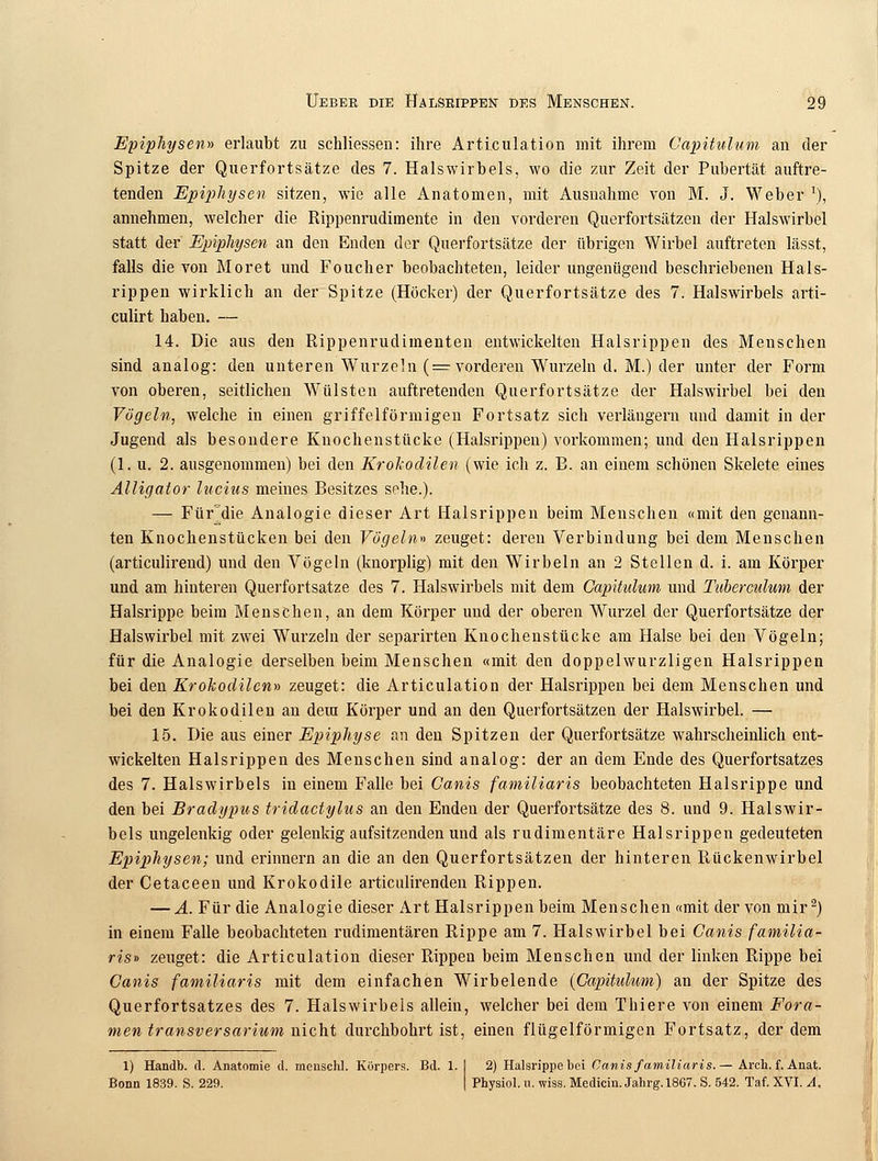 Epiphysen» erlaubt zu schliessen: ihre Articulation mit ihrem Capitulum an der Spitze der Querfortsätze des 7. Halswirbels, wo die zur Zeit der Pubertät auftre- tenden Epiphysen sitzen, wie alle Anatomen, mit Ausnahme von M. J. Weber !), annehmen, welcher die Rippenrudimente in den vorderen Querfortsätzen der Halswirbel statt der Epiphysen an den Enden der Querfortsätze der übrigen Wirbel auftreten lässt, falls die von Moret und Foucher beobachteten, leider ungenügend beschriebenen Hals- rippen wirklich an der Spitze (Höcker) der Querfortsätze des 7. Halswirbels arti- culirt haben. — 14. Die aus den Rippenrudimenten entwickelten Halsrippen des Menschen sind analog: den unteren Wurzeln ( = vorderen Wurzeln d. M.) der unter der Form von oberen, seitlichen Wülsten auftretenden Querfortsätze der Halswirbel bei den Vögeln, welche in einen griffeiförmigen Fortsatz sich verlängern und damit in der Jugend als besondere Knochenstücke (Halsrippen) vorkommen; und den Halsrippen (1. u. 2. ausgenommen) bei den Krokodilen (wie ich z. B. an einem schönen Skelete eines Alligator lucius meines Besitzes sehe.). — Für'die Analogie dieser Art Halsrippen beim Menschen «mit den genann- ten Knochenstücken bei den Vögeln» zeuget: deren Verbindung bei dem Menschen (articulirend) und den Vögeln (knorplig) mit den Wirbeln an 2 Stellen d. i. am Körper und am hinteren Querfortsatze des 7. Halswirbels mit dem Capitulum und Tuberculum der Halsrippe beim Menschen, an dem Körper und der oberen Wurzel der Querfortsätze der Halswirbel mit zwei Wurzeln der separirten Knochenstücke am Halse bei den Vögeln; für die Analogie derselben beim Menschen «mit den doppelwurzligen Halsrippen bei den Krokodilen» zeuget: die Articulation der Halsrippen bei dem Menschen und bei den Krokodilen an dem Körper und an den Querfortsätzen der Halswirbel. — 15. Die aus einer Epiphyse an den Spitzen der Querfortsätze wahrscheinlich ent- wickelten Halsrippen des Menschen sind analog: der an dem Ende des Querfortsatzes des 7. Halswirbels in einem Falle bei Ganis familiaris beobachteten Halsrippe und den bei Bradypus tridactylus an den Enden der Querfortsätze des 8. und 9. Halswir- bels ungelenkig oder gelenkig aufsitzenden und als rudimentäre Halsrippen gedeuteten Epiphysen; und erinnern an die an den Querfortsätzen der hinteren Rückenwirbel der Cetaceen und Krokodile articulirenden Rippen. — A. Für die Analogie dieser Art Halsrippen beim Menschen «mit der von mir2) in einem Falle beobachteten rudimentären Rippe am 7. Halswirbel bei Ganis familia- ris» zeuget: die Articulation dieser Rippen beim Menschen und der linken Rippe bei Ganis familiaris mit dem einfachen Wirbelende (Capitulum) an der Spitze des Querfortsatzes des 7. Halswirbeis allein, welcher bei dem Thiere von einem Fora- men transversarium nicht durchbohrt ist, einen flügeiförmigen Fortsatz, der dem 1) Handb. d. Anatomie d. menschl. Körpers. Bd. 1. I 2) Halsrippe bei Canis familiaris. — Arch. f. Anat. Bonn 1839. S. 229. [ Physiol. u. wiss. Medicin. Jahrg. 1867. S. 542. Taf. XVI. A.