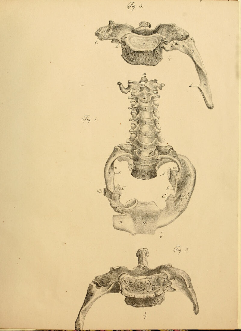 - '■* jßß f. c J--^r. k * :JS? * x d. fc % Ä. /. J-^ <?%.. 2. . '•■-,;,;.