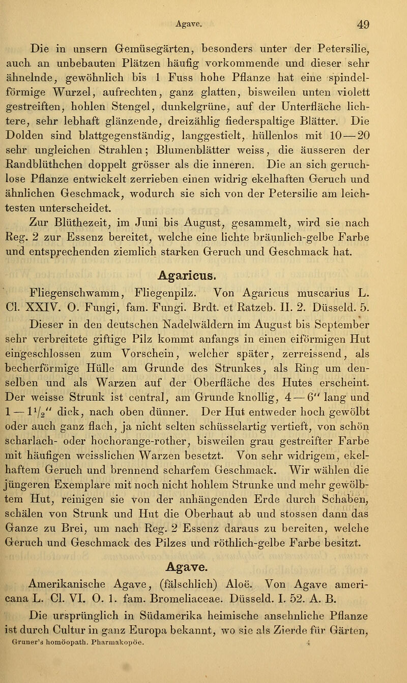 Die in unsern Gemüsegärten, besonders unter der Petersilie, aucK an unbebauten Plätzen häufig vorkommende und dieser sehr ähnelnde, gewöhnlich bis 1 Fuss hohe Pflanze hat eine spindel- förmige Wurzel, aufrechten, ganz glatten, bisweilen unten violett gestreiften, hohlen Stengel, dunkelgrüne, auf der Unterfläche lich- tere, sehr lebhaft glänzende, dreizählig fiederspaltige Blätter. Die Dolden sind blattgegenständig, langgestielt, hüllenlos mit 10 — 20 sehr ungleichen Strahlen; Blumenblätter weiss, die äusseren der Randblüthchen doppelt grösser als die inneren. Die an sich geruch- lose Pflanze entwickelt zerrieben einen widrig ekelhaften Geruch und ähnlichen Geschmack, wodurch sie sich von der Petersilie am leich- testen unterscheidet. Zur Blüthezeit, im Juni bis August, gesammelt, wird sie nach Reg. 2 zur Essenz bereitet, welche eine lichte bräunlich-gelbe Farbe und entsprechenden ziemlich starken Geruch und Geschmack hat. Agaricus. Fliegenschwamm, Fliegenpilz. Von Agaricus muscarius L. Cl. XXIV. O. Fungi, fam. Fungi. Brdt. et Ratzeb. IL 2. Düsseid. 5. Dieser in den deutschen Nadelwäldern im August bis September sehr verbreitete giftige Pilz kommt anfangs in einen eiförmigen Hut eingeschlossen zum Vorschein, welcher später, zerreissend, als becherförmige Hülle am Grunde des Strunkes, als Ring um den- selben und als Warzen auf der Oberfläche des Hutes erscheint. Der weisse Strunk ist central, am Grunde knollig, 4 — 6 lang und 1 — IV2'' dick, nach oben dünner. Der Hut entweder hoch gewölbt oder auch ganz flach, ja nicht selten schüsselartig vertieft, von schön Scharlach- oder hochorange-rother, bisweilen grau gestreifter Farbe mit häufigen weisslichen Warzen besetzt. Von sehr widrigem, ekel- haftem Geruch und brennend scharfem Geschmack. Wir wählen die jüngeren Exemplare mit noch nicht hohlem Strünke und mehr gewölb- tem Hut, reinigen sie von der anhängenden Erde durch Schaben, schälen von Strunk und Hut die Oberhaut ab und stossen dann das Ganze zu Brei, um nach Reg. 2 Essenz daraus zu bereiten, welche Geruch und Geschmack des Pilzes und röthlich-gelbe Farbe besitzt. Agave. Amerikanische Agave, (fälschlich) Aloe. Von Agave ameri- cana L. Cl. VI. 0. 1. fam. Bromeliaceae. Düsseid. I. 52. A. B. Die ursprünglich in Südamerika heimische ansehnliche Pflanze ist durch Cultur in ganz Europa bekannt, wo sie als Zierde für Gärten, Gruner's homöopath. Pharmakopoe. 4