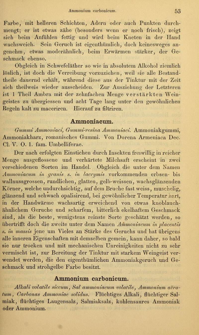 Farbe, mit helleren Schichten, Adern oder auch Punkten durch- mengt; er ist etwas zähe (besonders wenn er noch frisch), zeigt sich beim Anfühlen fettig und wird beim Kneten in der Hand wachsweich. Sein Greruch ist eigenthümlich, doch keinesweges an- genehm, etwas moderähnlich, beim Erwärmen stärker, der Ge- schmack ebenso. Obgleich in Schwefeläther so wie in absolutem Alkohol ziemlich löslich, ist doch die Verreibung vorzuziehen, weil sie alle Bestand- theile dauernd erhält, während diese aus der Tinktur mit der Zeit sich theilweis wieder ausscheiden. Zur Ausziehung der Letzteren ist 1 Theil Ambra mit der zehnfachen Menge verstärkten Wein- geistes zu übergiessen und acht Tage lang unter den gewöhnlichen Regeln kalt zu maceriren. Hierauf zu filtriren. Ammoniacmn. Gumfmi Ammoniaci, Oummi-resina Ämmoniaci. Ammoniakgummi, Ammoniakharz, romanisches Gummi. Von Dorena Armeniaca Dec. Cl. V. 0. 1. fam. Umbelliferae. Der nach erfolgten Einstichen durch Insekten freiwillig in reicher Menge ausgeflossene und verhärtete Milchsaft erscheint in zwei verschiedenen Sorten im Handel. Obgleich die unter dem Namen Ammoniacum in granis s. in lacrymis vorkommenden erbsen- bis wallnussgrossen, rundlichen, glatten, gelb-weissen, wachsglänzenden Körner, welche undurchsichtig, auf dem Bruche fast weiss, muschelig, glänzend und schwach opalisirend, bei gewöhnlicher Temperatur iiart, in der Handwärme wachsartig erweichend von etwas knoblauch- ähnlichem Gerüche und scharfem, bitterlich ekelhaftem Geschmack sind, als die beste, wenigstens reinste Sorte geschätzt werden, so übertrifft doch die zweite unter dem Namen Ammoniacum in placentis s. in massis jene um Vieles an Stärke des Geruchs und hat übrigens alle inneren Eigenschaften mit demselben gemein, kann daher, so bald sie nur trocken und mit mechanischen Unreinigkeiten nicht zu sehr vermischt ist, zur Bereitung der Tinktur mit starkem Weingeist ver- wendet werden, die den eigenthümlichen Ammoniakgeruch und Ge- schmack und strohgelbe Farbe besitzt. Aimnouium carbonicum. Alkali volatile siccum, Sal ammoniacum volatile, Ammonium aera- tum, Garhonas Ammoniae solidus. Flüchtiges Alkali, flüchtiger Sal- miak, flüchtiges Laugensalz, Salmiaksalz, kohlensaures Ammoniak oder Ammonium.