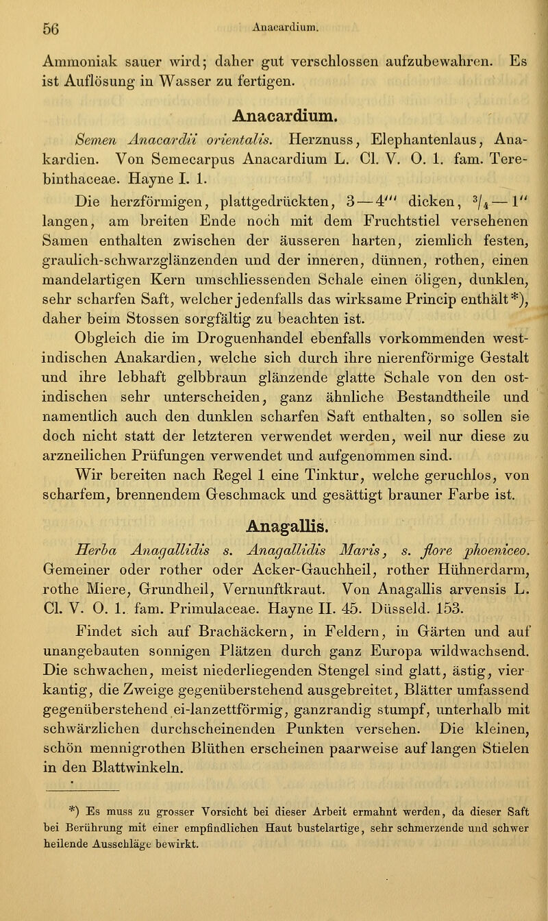 Ammoniak sauer wird; daher gut verschlossen aufzubewahren. Es ist Auflösung in Wasser zu fertigen. Anacardium. Semen Anacardii orientalis. Herznuss, Elephantenlaus, Ana- kardien. Von Semecarpus Anacardium L. Cl. V. 0. 1. fam. Tere- binthaceae. Hayne I. 1. Die herzförmigen, plattgedrückten, 3 — 4:' dicken, ^\^—1 langen, am breiten Ende noch mit dem Fruchtstiel versehenen Samen enthalten zwischen der äusseren harten, ziemlich festen, graulich-schwarzglänz enden und der inneren, dünnen, rothen, einen mandelartigen Kern umschliessenden Schale einen öligen, dunklen, sehr scharfen Saft, welcher jedenfalls das wirksame Princip enthält*), daher beim Stossen sorgfältig zu beachten ist. Obgleich die im Droguenhandel ebenfalls vorkommenden west- indischen Anakardien, welche sich durch ihre nierenförmige Gestalt und ihre lebhaft gelbbraun glänzende glatte Schale von den ost- indischen sehr unterscheiden, ganz ähnliche Bestandtheile und namentlich auch den dunklen scharfen Saft enthalten, so sollen sie doch nicht statt der letzteren verwendet werden, weil nur diese zu arzneilichen Prüfungen verwendet und aufgenommen sind. Wir bereiten nach Regel 1 eine Tinktur, welche geruchlos, von scharfem, brennendem Geschmack und gesättigt brauner Farbe ist, Anagallis. Herha Änagallidis s. ÄnagalUdis Maris, s. ßore phoeniceo. Gemeiner oder rother oder Acker-Gauchheil, rother Hühnerdarm, rothe Miere, Grundheil, Vernunftkraut. Von Anagallis arvensis L. Cl. V. 0. 1. fam. Primulaceae. Hayne H. 45. Düsseid. 153. Findet sich auf Brachäckern, in Feldern, in Gärten und auf unangebauten sonnigen Plätzen durch ganz Europa wildwachsend. Die schwachen, meist niederliegenden Stengel sind glatt, ästig, vier kantig, die Zweige gegenüberstehend ausgebreitet, Blätter umfassend gegenüberstehend ei-lanzettförmig, ganzrandig stumpf, unterhalb mit schwärzlichen durchscheinenden Punkten versehen. Die kleinen, schön mennigrothen Blüthen erscheinen paarweise auf langen Stielen in den Blattwinkeln. *) Es muss zu grosser Vorsicht bei dieser Arbeit ermahnt werden, da dieser Saft bei Berührung mit einer empfindlichen Haut bustelartige, sehr schmerzende und schwer heuende Ausschläge bewirkt.