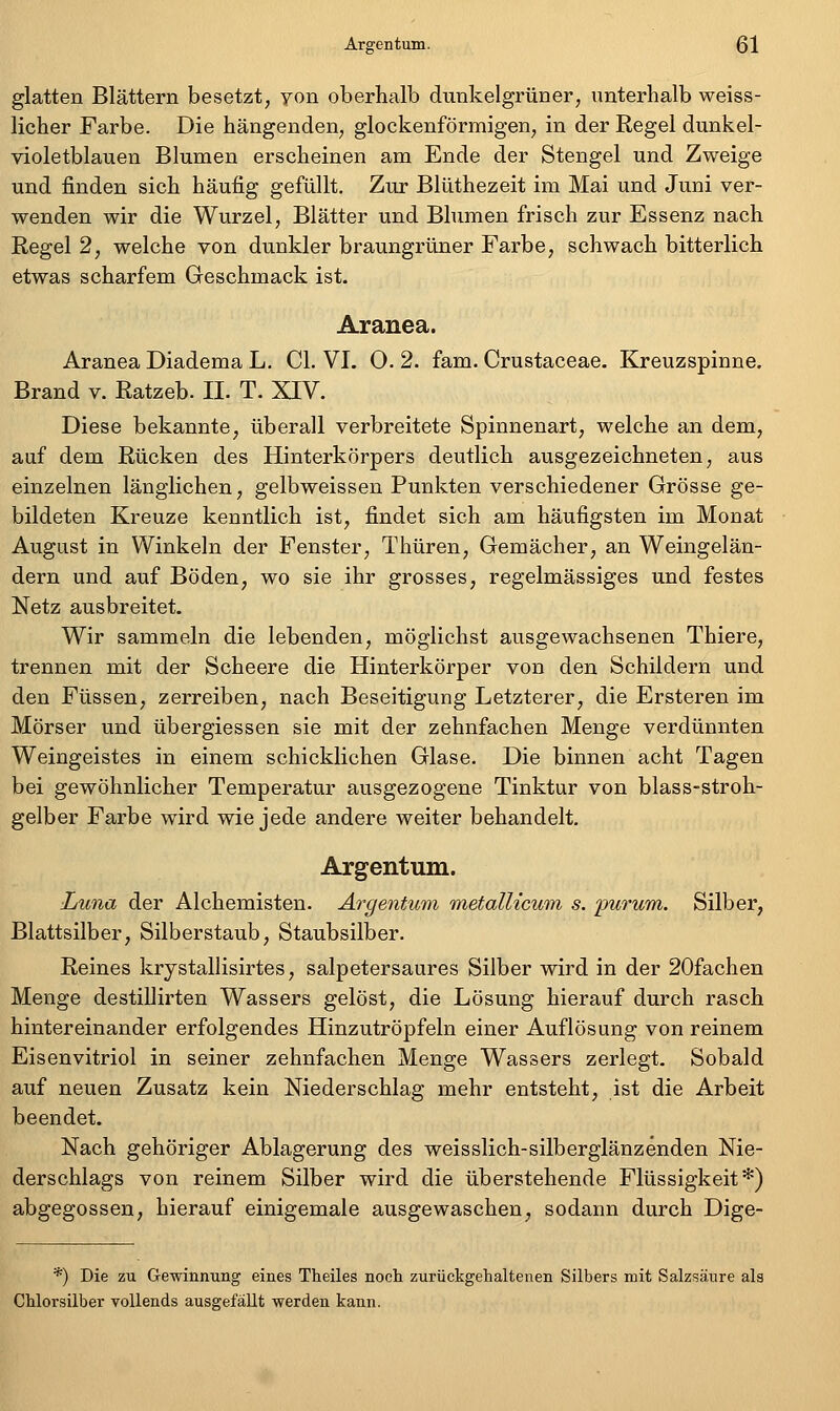 glatten Blättern besetzt, yon oberhalb dunkelgrüner, unterhalb weiss- licher Farbe. Die hängenden, glockenförmigen, in der Regel dunkel- violetblauen Blumen erscheinen am Ende der Stengel und Zweige und finden sich häufig gefüllt. Zur Blüthezeit im Mai und Juni ver- wenden wir die Wurzel, Blätter und Blumen frisch zur Essenz nach Regel 2, welche von dunkler braungrüner Farbe, schwach bitterlich etwas scharfem Geschmack ist. Aranea. Aranea Diadema L. Cl. VI. O. 2. fam. Crustaceae. Kreuzspinne. Brand v. Ratzeb. II. T. XIV. Diese bekannte, überall verbreitete Spinnenart, welche an dem, auf dem Rücken des Hinterkörpers deutlich ausgezeichneten, aus einzelnen länglichen, gelbweissen Punkten verschiedener Grösse ge- bildeten Kreuze kenntlich ist, findet sich am häufigsten im Monat Augast in Winkeln der Fenster, Thüren, Gemächer, an Weingelän- dern und auf Böden, wo sie ihr grosses, regelmässiges und festes Netz ausbreitet. Wir sammeln die lebenden, möglichst ausgewachsenen Thiere, trennen mit der Scheere die Hinterkörper von den Schildern und den Füssen, zerreiben, nach Beseitigung Letzterer, die Ersteren im Mörser und übergiessen sie mit der zehnfachen Menge verdünnten Weingeistes in einem schicklichen Glase. Die binnen acht Tagen bei gewöhnlicher Temperatur ausgezogene Tinktur von blass-stroh- gelber Farbe wird wie jede andere weiter behandelt. Argentum. Luna der Alchemisten. Argentum metallicum s. purum. Silber, Blattsilber, Silberstaub, Staubsilber. Reines krystallisirtes, salpetersaures Silber wird in der 20fachen Menge destiUirten Wassers gelöst, die Lösung hierauf durch rasch hintereinander erfolgendes Hinzutröpfeln einer Auflösung von reinem Eisenvitriol in seiner zehnfachen Menge Wassers zerlegt. Sobald auf neuen Zusatz kein Niederschlag mehr entsteht, ist die Arbeit beendet. Nach gehöriger Ablagerung des weisslich-silberglänzenden Nie- derschlags von reinem Silber wird die überstehende Flüssigkeit*) abgegossen, hierauf einigemale ausgewaschen, sodann durch Dige- *) Die zu Gewinnung eines Theiles noch zurückgehaltenen Silbers mit Salzsäure als CMorsilber vollends ausgefällt werden kann.