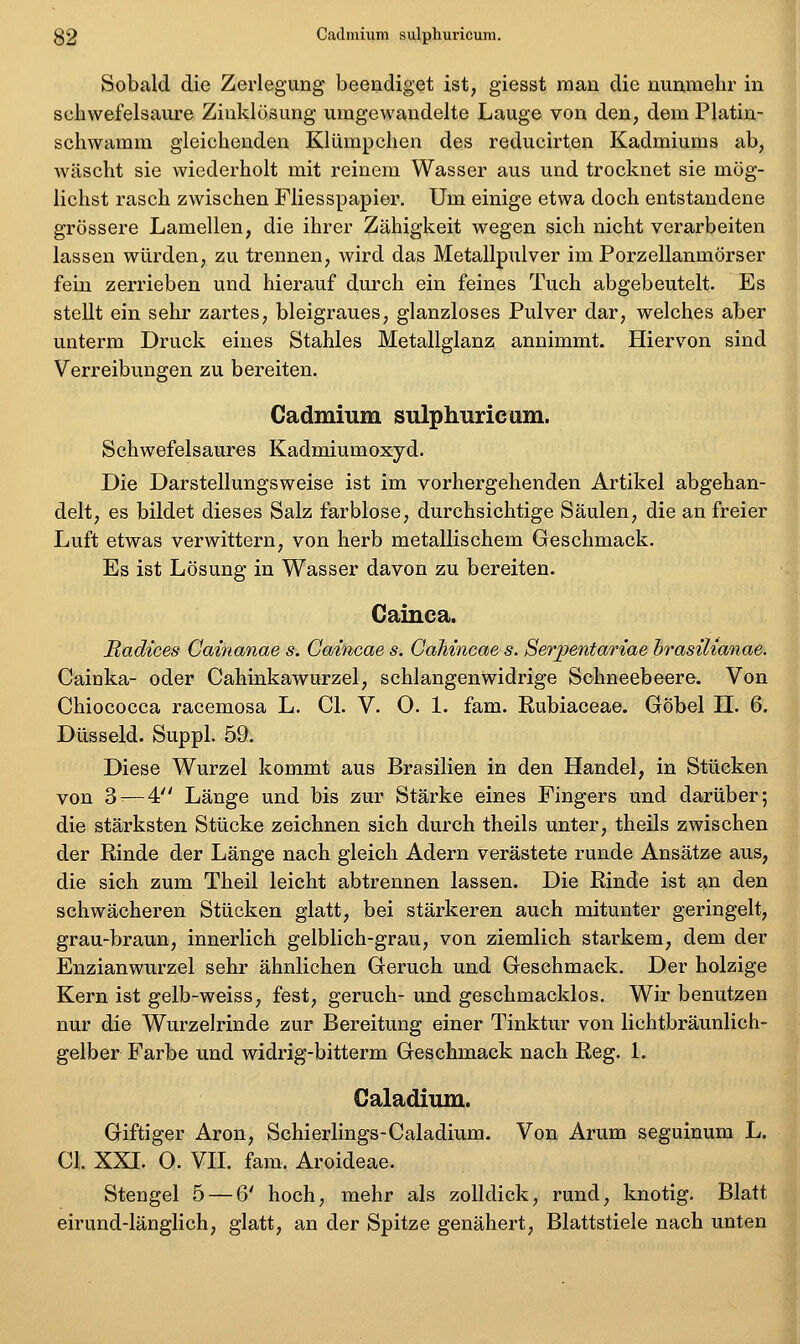 g2 Cadmium sulphuricum. Sobald die Zerlegung beendiget ist, giesst man die nunmehr in schwefelsaure Ziuklösung umgewandelte Lauge von den, dem Platin- schwamm gleichenden Klümpchen des reducirten Kadmiums ab, wäscht sie wiederholt mit reinem Wasser aus und trocknet sie mög- lichst rasch zwischen Fliesspapier. Um einige etwa doch entstandene grössere Lamellen, die ihrer Zähigkeit wegen sich nicht verarbeiten lassen würden, zu trennen, wird das Metallpulver im Porzellanmörser feiu zerrieben und hierauf durch ein feines Tuch abgebeutelt. Es stellt ein sehr zartes, bleigraues, glanzloses Pulver dar, welches aber unterm Druck eines Stahles Metallglanz annimmt. Hiervon sind Verreibungen zu bereiten. Cadmium sulphuricum. Schwefelsaures Kadmiumoxyd. Die Darstellungsweise ist im vorhergehenden Artikel abgehan- delt, es bildet dieses Salz farblose, durchsichtige Säulen, die an freier Luft etwas verwittern, von herb metallischem Geschmack. Es ist Lösung in Wasser davon zu bereiten. Gaiuca. Radices Gainanae s. Gaincae s. CaMncae s. Serpentariae brasilianae. Cainka- oder Cahinkawurzel, schlangenwidrige Schneebeere. Von Chiococca racemosa L. Cl. V. O. 1. fam. Rubiaceae. Göbel IL 6, Düsseid. Suppl. 59. Diese Wurzel kommt aus Brasilien in den Handel, in Stücken von 3^—4 Länge und bis zur Stärke eines Fingers und darüber; die stärksten Stücke zeichnen sich durch theils unter, theils zwischen der Rinde der Länge nach gleich Adern verästete runde Ansätze aus, die sich zum Theil leicht abtrennen lassen. Die Rinde ist an den schwächeren Stücken glatt, bei stärkeren auch mitunter geringelt, grau-braun, innerlich gelblich-grau, von ziemlich starkem, dem der Enzianwurzel sehr ähnlichen Geruch und Geschmack, Der holzige Kern ist gelb-weiss, fest, geruch- und geschmacklos. Wir benutzen nur die Wurzelrinde zur Bereitung einer Tinktur von lichtbräunlich- gelber Farbe und widrig-bitterm Geschmack nach Reg. L Galadium. Giftiger Aren, Schierlings-Galadium. Von Arum seguinum L. Cl. XXI. O. VII. fam. Aroideae. Stengel 5 — 6' hoch, mehr als zolldick, rund, knotig. Blatt eirund-länglich, glatt, an der Spitze genähert, Blattstiele nach unten