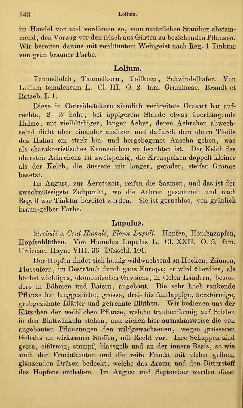 im Handel vor und verdienen so, vom natürlichen Standort abstam- mend, den Vorzug vor den frisch aus Grärten zu beziehenden Pflanzen. Wir bereiten daraus mit verdünntem Weingeist nach Reg. 1 Tinktur von grün-brauner Farbe. Lolium. Taumellolch, Taumelkorn, Tollkorn, Schwindelhafer. Von Lolium temulentum L. Cl. III. O. 2. fam. Gramineae. Brandt et Ratzeb. I. 1. Diese in Getreideäckern ziemlich verbreitete Grasart hat auf- rechte, 2—3' hohe, bei üppigerem Stande etwas überhängende Halme, mit vielblüthiger, langer Aehre, deren Aehrchen abwech- selnd dicht über einander ansitzen und dadurch dem obern Theile des Halms ein stark hin- und hergebogenes Ansehn geben, was als charakteristisches Kennzeichen zu beachten ist. Der Kelch des obersten Aehrchens ist zweispelzig, die Kronspelzen doppelt kleiner als der Kelch, die äussere mit langer, gerader, steifer Granne besetzt. Im August, zur Aerntezeit, reifen die Saamen, und das ist der zweckmässigste Zeitpunkt, wo die Aehren gesammelt und nach Reg. 3 zur Tinktur bereitet werden. Sie ist geruchlos, von grünlich braun-gelber Farbe. Lupulus. StrohuU s. Goni Humuli, Mores LupuU. Hopfen, Hopfenzapfen, Hopfenblüthen. Von Humulus Lupulus L. Cl. XXII. O. 5. fam. Urticeae. Hayne VHI. 36. Düsseid. 101. Der Hopfen findet sich häufig wildwachsend an Hecken, Zäunen, Flussufern, im Gesträuch durch ganz Europa; er wird überdies, als höchst wichtiges, ökonomisches Gewächs, in vielen Ländern, beson- ders in Böhmen und Baiern, angebaut. Die sehr hoch rankende Pflanze hat langgestielte, grosse, drei- bis fünflappige, herzförmige, grobgezähnte Blätter und getrennte Blüthen. Wir bedienen uns der Kätzchen der weiblichen Pflanze, welche traubenförmig auf Stielen in den Blattwinkeln stehen, und ziehen hier ausnahmsweise die von angebauten Pflanzungen den wildgewachsenen, wegen grösseren Gehalts an wirksamen Stoffen, mit Recht vor. Ihre Schuppen sind gross, eiförmig, stumpf, blassgelb und an der innern Basis, so wie auch der Fruchtknoten und die reife Frucht mit vielen gelben, glänzenden Drüsen bedeckt, welche das Aroma und den Bitterstoff des Hopfens enthalten. Im August und September werden diese