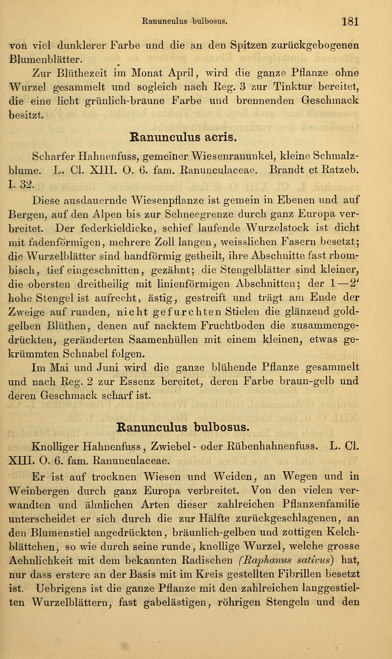 von viel dunklerer Farbe und die an den Spitzen zurückgebogenen Blumenblätter. Zur Blüthezeit im Monat April, wird die ganze Pflanze ohne Wurzel gesammelt und sogleich nach Reg. 3 zur Tinktur bereitet, die eine licht grünlich-braune Farbe und brennenden Geschmack besitzt. Ranunculns aeris^ Scharfer Hahnenfuss, gemeiner Wiesenranunkel, kleine Schmalz- blume. L. Gl. XIII. O. 6. fam. Ranunculaceae. Brandt et Ratzeb. I. 32. Diese ausdauernde Wiesenpflanze ist gemein in Ebenen und auf Bergen, auf den Alpen bis zur Schneegrenze durch ganz Europa ver- breitet. Der federkieldicke, schief laufende Wurzelstock ist dicht mit fadenförmigen, mehrere Zoll langen, weisslichen Fasern besetzt; die Wurzelblätter sind bandförmig getheilt, ihre Abschnitte fast rhom- bisch, tief eingeschnitten, gezähnt; die Stengelblätter sind kleiner, die obersten dreitheilig mit linienförmigen Abschnitten; der 1 — 2' hohe Stengel ist aufrecht, ästig, gestreift und trägt am Ende der Zweige auf runden, nicht gefurchten Stielen die glänzend gold- gelben Blüthen, denen auf nacktem Fruchtboden die zusammenge- drückten, geränderten Saamenhüllen mit einem kleinen, etwas ge- krümmten Schnabel folgen. Im Mai und Juni wird die ganze blühende Pflanze gesammelt und nach Reg. 2 zur Essenz bereitet, deren Farbe braun-gelb und deren Geschmack scharf ist. Ranunculus bulbosus. Knolliger Hahnenfuss, Zwiebel - oder Rübenhahnenfuss. L. Gl. XIII. O. 6. fam. Ranunculaceae. Er ist auf trocknen Wiesen und Weiden, an Wegen und in Weinbergen durch ganz Europa verbreitet. Von den vielen ver- wandten und ähnlichen Arten dieser zahlreichen Pflanzenfamilie unterscheidet er sich durch die zur Hälfte zurückgeschlagenen, an den Blumenstiel angedrückten, bräunlich-gelben und zottigen Kelch- blättchen, so wie durch seine runde, knollige Wurzel, welche grosse Aehnlichkeit mit dem bekannten Radischen fjRapJianus sativus) hat, nur dass erstere an der Basis mit im Kreis gestellten Fibrillen besetzt ist. Uebrigens ist die ganze Pflanze mit den zahlreichen langgestiel- ten Wurzelblättern, fast gabelästigen, röhrigen Stengeln und den