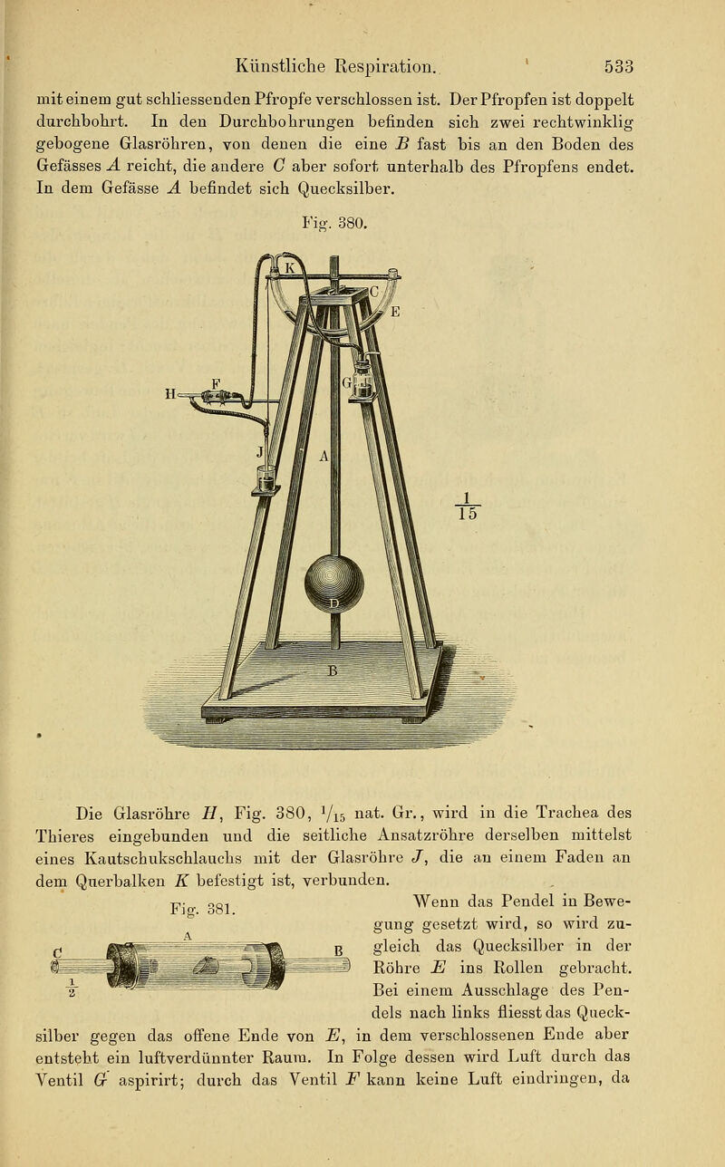mit einem gut schliessenden Pfropfe verschlossen ist. Der Pfropfen ist doppelt durchbohrt. In den Durchbohrungen befinden sich zwei rechtwinklig gebogene Glasröhren, von denen die eine B fast bis an den Boden des Gefässes A reicht, die andere C aber sofort unterhalb des Pfropfens endet. In dem Gefässe A befindet sich Quecksilber. Fig. 380. Fig. 381. Die Glasröhre H, Fig. 380, Vis n^t. Gr., wird in die Trachea des Thieres eingebunden und die seitliche Ausatzröhre derselben mittelst eines Kautschukschlauchs mit der Glasröhre J, die an einem Faden an dem Querbalken K befestigt ist, verbunden. Wenn das Pendel in Bewe- gung gesetzt wird, so wird zu- gleich das Quecksilber in der Röhre E ins Rollen gebracht. Bei einem Ausschlage des Pen- dels nach links fliesstdas Queck- silber gegen das offene Ende von E, in dem verschlossenen Ende aber entsteht ein luftverdünnter Raum. In Folge dessen wird Luft durch das Ventil Gf aspirirt; durch das Ventil F kann keine Luft eindringen, da