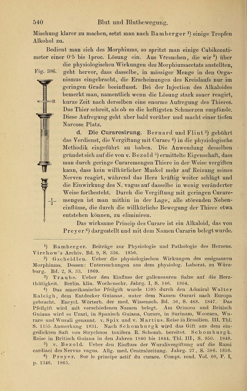 386. Mischung klarer zu maclien, setzt man nach Bamberger ^) einige Tropfen Alkohol zu. Bedient man sich des Morphiums, so spritzt man einige Cubikcenti- meter einer 0'5 bis Iproc. Lösung ein. Aus Versuchen, die wir ^) über die physiologischen Wirkungen des Morphiumacetats anstellten, geht hervor, dass dasselbe, in massiger Menge in den Orga- nismus eingebracht, die Erscheinungen des Kreislaufs nur im geringen Grade beeinflusst. Bei der Injection des Alkaloides bemerkt man, namentlich wenn die Lösung stark sauer reagirt, kurze Zeit nach derselben eine enorme Aufregung des Thieres. Das Thier schreit, als ob es die heftigsten Schmerzen empfände. Diese Aufregung geht aber bald vorüber und macht einer tiefen Narcose Platz. d. Die Curaresirung. Bernard und Flint 3) gebührt das Verdienst, die Vergiftung mit Curare *) in die physiologische Methodik eingeführt zu haben. Die Anwendung desselben gründet sich auf die von v. Bezold •'') ermittelte Eigenschaft, dass man durch geringe Curaremengen Thiere in der Weise vergiften kann, dass kein willkürlicher Muskel mehr auf Reizung seines Nerven reagirt, während das Herz kräftig weiter schlägt und die Einwirkung des N. vagus auf dasselbe in wenig veränderter Weise fortbesteht. Durch die Vergiftung mit geringen Curare- mengen ist man mithin in der Lage, alle störenden Neben- einilüsse, die durch die willkürliche Bewegung der Thiere etwa entstehen können, zu eliminiren. Das wirksame Princip des Curare ist ein Alkaloid, das von Preyer ^) dargestellt und mit dem Namen Curarin belegt wurde. ^) Bamberger. Beiträge zur Physiologie und Patliologie des Herzeus. Virchow's ArcMv. Bd. 9, S. 336. 1856. 2) Gsclieidlen. Ueber die physiologisclieu Wirkungen des essigsauren Morphiums. Dessen: Untersuchungen aus dem physiolog. Laborat. zu Würz- burg. Bd. 2, S. 33. 1869. ^) Traube. Ueber den Einfluss der gallensauren Salze auf die Herz- thätigkeit. Berlin, klin. Wocheuschr. Jahrg. I, S. 146. 1864. , *) Das amerikanische Pfeilgift wurde 1595 durch den Admiral Waltei- Ealeigh, dem Entdecker G-uianas, unter dem Namen Ourari nach Europa gebracht. Eucycl. Wörterb. der med. Wissensch. Bd. 36, S. 468. 1847. Das Pfeilgift wird mit verschiedeneu Namen belegt. Am Orinoco und Britisch Guiana wird es Urari, in Spanisch Guiana, Curare, in Surinam, Woorara, Wu- i-are undWm-ali genannt, v. Spix und v. Martins. Eeise in Brasilien. III. Thl. S. 1155 Anmerkung 1831. Nach Schomburgk wird das Gift aus dem ein- gedickten Saft von Strychnos toxifera E. Schomb. bereitet. Schomburgk. Eeise in Britisch Guiana in den Jahren 1840 bis 1844. Thl. HI, S. 950. 1848. ö) V. B e z o 1 d. Ueber den Einfluss der WuraliVergiftung auf die Ea,mi cardiaci des Nervus vagus. AUg. med. Centralzeitung. Jahrg. 27, S. 386. 1858. ^) P r e y e r. Sur le principe actif du curai'e. Compt. rend. Vol. 60, P. I, p. 1346. 1865.