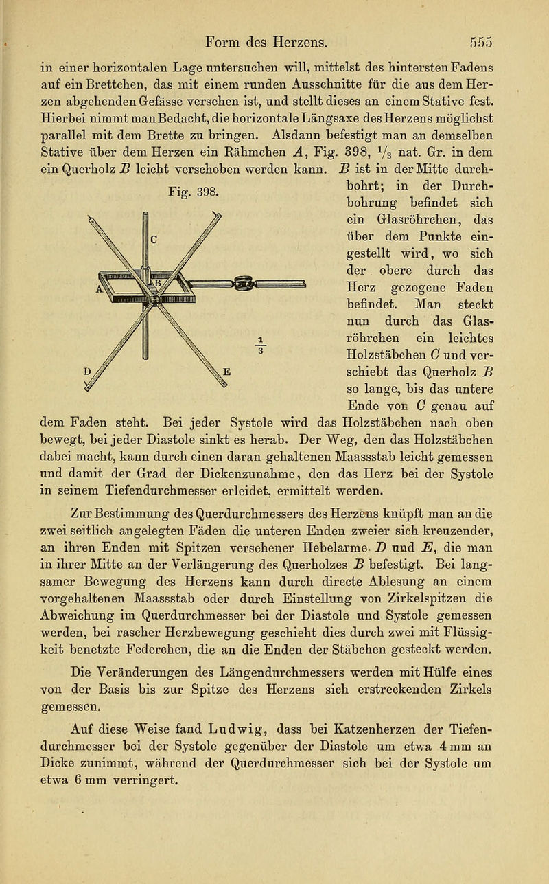 in einer horizontalen Lage untersuchen will, mittelst des hintersten Fadens auf ein Brettchen, das mit einem runden Ausschnitte für die aus dem Her- zen abgehenden Gefässe versehen ist, und stellt dieses an einem Stative fest. Hierbei nimmt man Bedacht, die horizontale Längsaxe des Herzens möglichst parallel mit dem Brette zu bringen. Alsdann befestigt man an demselben Stative über dem Herzen ein Rähmchen A^ Fig. 398, Vs ^^^- Grr. in dem ein Querholz B leicht verschoben werden kann. B ist in der Mitte durch- bohrt; in der Durch- Fig. 398. bohrung befindet sich ein Glasröhrchen, das über dem Punkte ein- gestellt wird, wo sich der obere durch das Herz gezogene Faden befindet. Man steckt nun durch das Glas- röhrchen ein leichtes Holzstäbchen C und ver- schiebt das Querholz B so lange, bis das untere Ende von C genau auf dem Faden steht. Bei jeder Systole wird das Holzstäbchen nach oben bewegt, bei jeder Diastole sinkt es herab. Der Weg, den das Holzstäbchen dabei macht, kann dxirch einen daran gehaltenen Maassstab leicht gemessen und damit der Grad der Dickenzunahme, den das Herz bei der Systole in seinem Tiefendurchmesser erleidet, ermittelt werden. Zur Bestimmung des Querdurchmessers des Herzens knüpft man an die zwei seitlich angelegten Fäden die unteren Enden zweier sich kreuzender, an ihren Enden mit Spitzen versehener Hebelarme- D und E, die man in ihrer Mitte an der Verlängerung des Querholzes B befestigt. Bei lang- samer Bewegung des Herzens kann durch directe Ablesung an einem vorgehaltenen Maassstab oder durch Einstellung von Zirkelspitzen die Abweichung im Querdurchmesser bei der Diastole und Systole gemessen werden, bei rascher Herzbewegung geschieht dies durch zwei mit Flüssig- keit benetzte Federchen, die an die Enden der Stäbchen gesteckt werden. Die Veränderungen des Längendurchmessers werden mit Hülfe eines von der Basis bis zur Spitze des Herzens sich erstreckenden Zirkels gemessen. Auf diese Weise fand Ludwig, dass bei Katzenherzen der Tiefen- durchmesser bei der Systole gegenüber der Diastole um etwa 4 mm an Dicke zunimmt, während der Querdurchmesser sich bei der Systole um etwa 6 mm verringert.