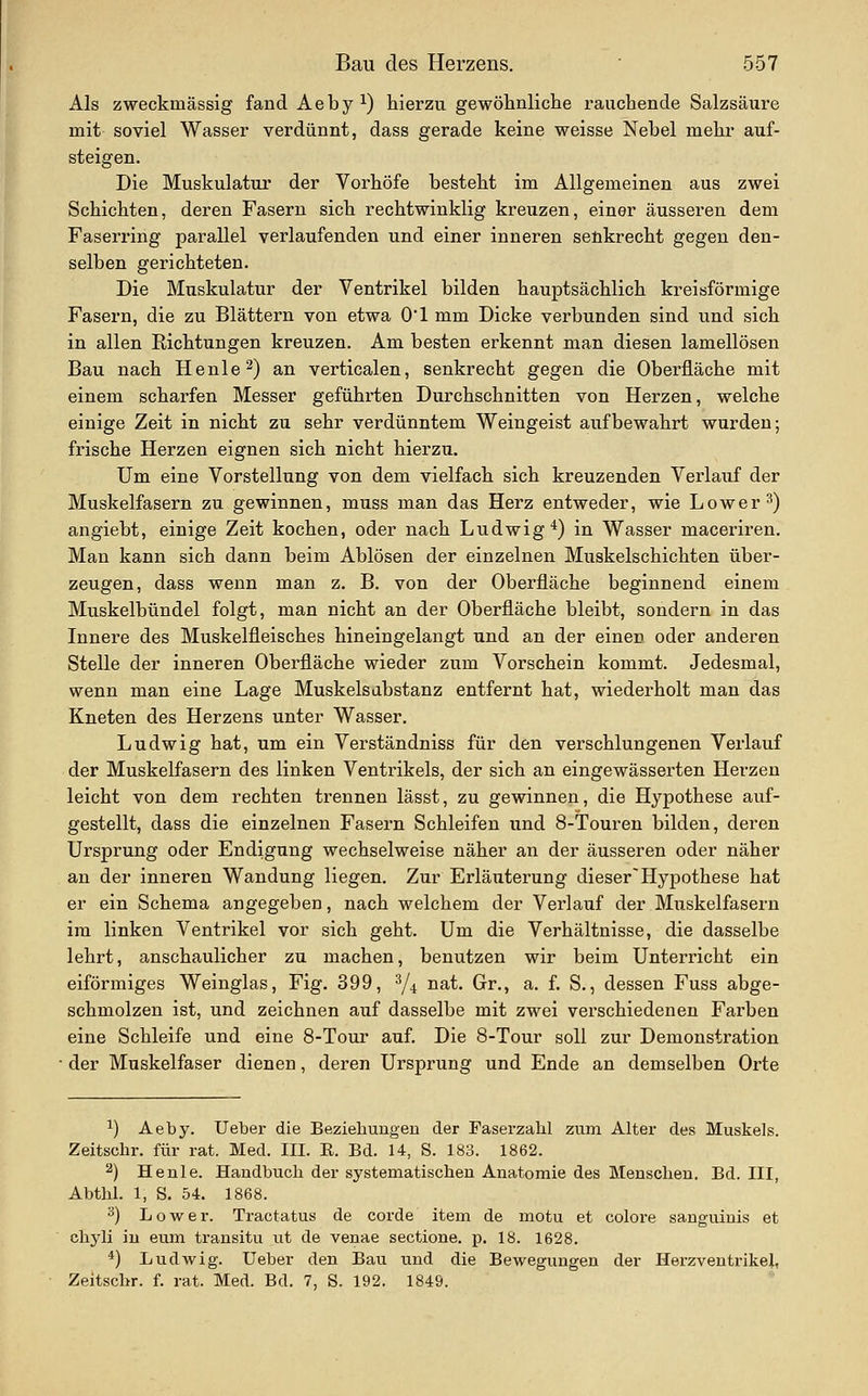 Als zweckmässig fand Aeby ^) hierzu gewöhnliche rauchende Salzsäure mit soviel Wasser verdünnt, dass gerade keine weisse Nebel mehr auf- steigen. Die Muskulatur der Vorhöfe besteht im Allgemeinen aus zwei Schichten, deren Fasern sich rechtwinklig kreuzen, einer äusseren dem Faserring parallel verlaufenden und einer inneren senkrecht gegen den- selben gerichteten. Die Muskulatur der Ventrikel bilden hauptsächlich kreisförmige Fasern, die zu Blättern von etwa 01 mm Dicke verbunden sind und sich in allen Richtungen kreuzen. Am besten erkennt man diesen lamellösen Bau nach Henle^) an verticalen, senkrecht gegen die Oberfläche mit einem scharfen Messer geführten Durchschnitten von Herzen, welche einige Zeit in nicht zu sehr verdünntem Weingeist aufbewahrt wurden; frische Herzen eignen sich nicht hierzu. Um eine Vorstellung von dem vielfach sich kreuzenden Verlauf der Muskelfasern zu gewinnen, muss man das Herz entweder, wie Low er 3) angiebt, einige Zeit kochen, oder nach Ludwig'^) in Wasser maceriren. Man kann sich dann beim Ablösen der einzelnen Muskelschichten über- zeugen, dass wenn man z. B. von der Oberfläche beginnend einem Muskelbündel folgt, man nicht an der Oberfläche bleibt, sondern in das Innere des Muskelfleisches hineingelangt und an der einen oder anderen Stelle der inneren Oberfläche wieder zum Vorschein kommt. Jedesmal, wenn man eine Lage Muskelsabstanz entfernt hat, wiederholt man das Kneten des Herzens unter Wasser. Ludwig hat, um ein Verständniss für den verschlungenen Verlauf der Muskelfasern des linken Ventrikels, der sich an eingewässerten Herzen leicht von dem rechten trennen lässt, zu gewinnen, die Hypothese auf- gestellt, dass die einzelnen Fasern Schleifen und 8-Touren bilden, deren Ursprung oder Endigung wechselweise näher an der äusseren oder näher an der inneren Wandung liegen. Zur Erläuterung dieser'Hypothese hat er ein Schema angegeben, nach welchem der Verlauf der Muskelfasern im linken Ventrikel vor sich geht. Um die Verhältnisse, die dasselbe lehrt, anschaulicher zu machen, benutzen wir beim Unterricht ein eiförmiges Weinglas, Fig. 399, Y^ nat. Gr., a. f. S., dessen Fuss abge- schmolzen ist, und zeichnen auf dasselbe mit zwei verschiedenen Farben eine Schleife und eine 8-Tour auf. Die 8-Tour soll zur Demonstration ■ der Muskelfaser dienen, deren Ursprung und Ende an demselben Orte ^) Aeby. Ueber die Beziehungen der Faserzahl zum Alter des Muskels. Zeitschr. für rat. Med. III. E. Bd. 14, S. 183. 1862. 2) Henle. Handbuch der systematischen Anatomie des Menschen. Bd. III, Abthl. 1, S. 54. 1868. 3) Lower. Tractatus de corde item de motu et colore sanguinis et chyli iu eum transitu ut de venae sectione. p, 18. 1628. *) Ludwig. Ueber den Bau und die Bewegungen der Herzventrikel, Zeitschr. f. rat. Med. Bd. 7, S. 192. 1849.