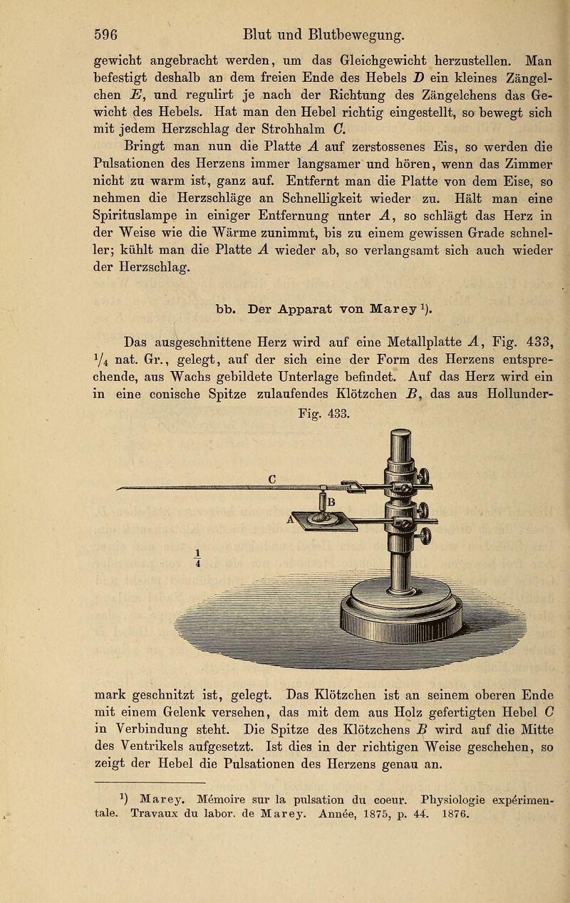 gewlclit angebracM werden, um das Gleichgewiclit herzustellen. Man befestigt deshalb an dem freien Ende des Hebels D ein kleines Zängel- chen JE, und regulirt je nach der Richtung des Zängelchens das Ge- wicht des Hebels. Hat man den Hebel richtig eingestellt, so bewegt sich mit jedem Herzschlag der Strohhalm C. Bringt man nun die Platte A auf zerstossenes Eis, so werden die Pulsationen des Herzens immer langsamer und hören, wenn das Zimmer nicht zu warm ist, ganz auf. Entfernt man die Platte von dem Eise, so nehmen die Herzschläge an Schnelligkeit wieder zu. Hält man eine Spirituslampe in einiger Entfernung unter A, so schlägt das Herz in der Weise wie die Wärme zunimmt, bis zu einem gewissen Grade schnel- ler; kühlt man die Platte A wieder ab, so verlangsamt sich auch wieder der Herzschlag. bb. Der Apparat von Mareyi). Das ausgeschnittene Herz wird auf eine Metallplatte A, Fig. 433, Y4 nat. Gr., gelegt, auf der sich eine der Form des Herzens entspre- chende, aus Wachs gebildete Unterlage befindet. Auf das Herz wird ein in eine conische Spitze zulaufendes Klötzchen B, das aus Hollunder- Fiff. 433. mark geschnitzt ist, gelegt. Das Klötzchen ist an seinem oberen Ende mit einem Gelenk versehen, das mit dem aus Holz gefertigten Hebel G in Verbindung steht. Die Spitze des Klötzchens B wird auf die Mitte des Ventrikels aufgesetzt. Ist dies in der richtigen Weise geschehen, so zeigt der Hebel die Pulsationen des Herzens genau an. 1) Marey. Memoire sur la pulsation du coetir. Physiologie expörimen- tale. Travaux du labor. de Marey. Ann^e, 1875, p. 44. 1876.