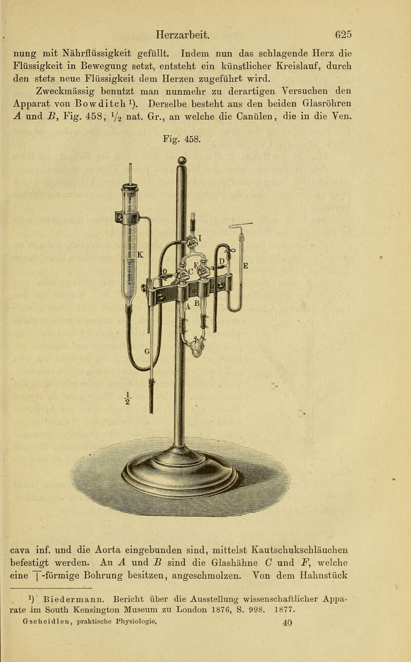 nung mit Näbrflüssigkeit gefüllt. Indem nun das schlagende Hei'z die Flüssigkeit in Bewegung setzt, entstellt ein künstlicher Kreislauf, durch den stets neue Flüssigkeit dem Herzen zugeführt wird. Zweckmässig benutzt man nunmehr zu derartigen Versuchen den Apparat von Bowditch^). Derselbe besteht aus den beiden Glasröhren A und B, Fig. 458, Y2 iiat. Gr., an welche die Canülen, die in die Yen. Fig. 458. Cava inf. und die Aorta eingebunden sind, mittelst Kautschukschläuchen befestigt werden. An A und JB sind die Glashähne G und F, welche eine | -förmige Bohrung besitzen, angeschmolzen. Von dem Hahnstück ^) Biedermann. Bericht über die Ausstellung- wissenschaftlicher Appa- rate im South Kensington Museum zu London 1876, S. 998. 1877. Gscheidlcn, praktische Physiologie. ^Q