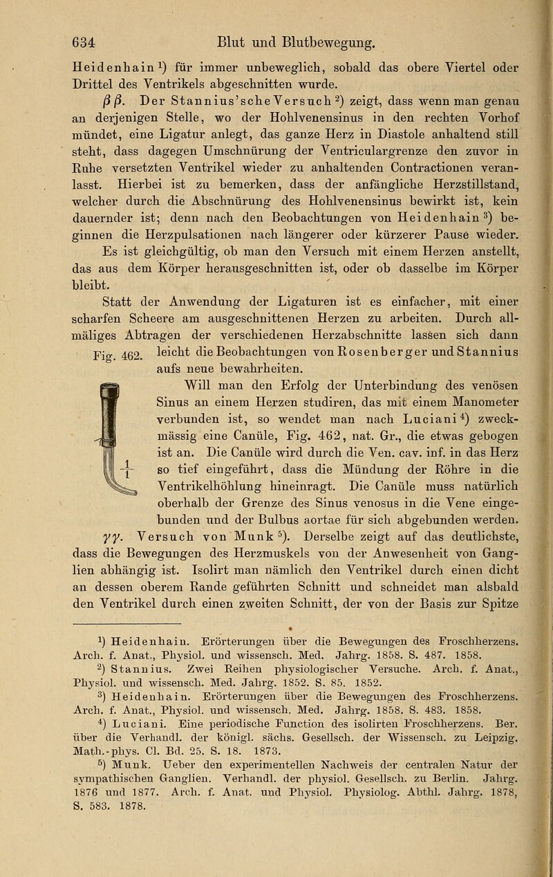 Heidenhain ^) für immer unbeweglich, sobald das obere Viertel oder Drittel des Ventrikels abgescbnitten wurde. ß ß. Der Stannius'scbe Versuch 2) zeigt, dass wenn man genau an derjenigen Stelle, wo der Hoblvenensinus in den rechten Vorhof mündet, eine Ligatur anlegt, das ganze Herz in Diastole anhaltend still steht, dass dagegen Umschnürung der Ventriculargrenze den zuvor in Ruhe versetzten Ventrikel wieder zu anhaltenden Contractionen veran- lasst. Hierbei ist zu bemerken, dass der anfängliche Herzstillstand, welcher durch die Abschnürung des Hoblvenensinus bewirkt ist, kein dauernder ist; denn nach den Beobachtungen von Heidenhain ^) be- ginnen die Herzpulsationen nach längerer oder kürzerer Pause wieder. Es ist gleichgültig, ob man den Versuch mit einem Herzen anstellt, das aus dem Körper herausgeschnitten ist, oder ob dasselbe im Körper bleibt. Statt der Anwendung der Ligaturen ist es einfacher, mit einer scharfen Scheere am ausgeschnittenen Herzen zu arbeiten. Durch all- mäliges Abtragen der verschiedenen Herzabschnitte lassen sich dann Fio' 462. leicht die Beobachtungen von Rosenberger und Stannius aufs neue bewahrheiten. Will man den Erfolg der Unterbindung des venösen Sinus an einem Herzen studiren, das mit einem Manometer verbunden ist, so wendet man nach Luciani^) zweck- mässig eine Canüle, Fig. 462, nat. Gr., die etwas gebogen ist an. Die Canüle wird durch die Ven. cav. inf. in das Herz so tief eingeführt, dass die Mündung der Röhre in die Ventrikelhöhlung hineinragt. Die Canüle muss natürlich oberhalb der Grenze des Sinus venosus in die Vene einge- bunden und der Bulbus aortae für sich abgebunden werden. yy. Versuch von Munk ^). Derselbe zeigt auf das deutlichste, dass die Bewegungen des Herzmuskels von der Anwesenheit von Gang- lien abhängig ist. Isolirt man nämlich den Ventrikel durch einen dicht an dessen oberem Rande geführten Schnitt und schneidet man alsbald den Ventrikel durch einen zweiten Schnitt, der von der Basis zur Spitze 1) Heidenhain. Erörterungen über die Bewegungen des Proschherzens. Arch. f. Anat., Physiol. und wissenscli. Med. Jahrg. 1858. S. 487. 1858. 2) Stannius. Zwei Eeihen pliysiologischer Versuche. Arch. f. Anat., Physiol. und wissensch. Med. Jahrg. 1852. S. 85. 1852. ^) Heidenhain. Erörterungen über die Bewegungen des Froschherzens. Arch. f. Anat., Physiol. und wissensch. Med. Jahrg. 1858. S. 483. 1858. *) Luciani. Eine periodische Function des isolirten Froschherzens. Ber. über die Verhandl. der königl. sächs. Gesellsch. der Wissensch. zu Leipzig. Math.-phys. Cl. Bd. 25. S. 18. 1873. 5) Munk. Ueber den experimentellen Nachweis der centralen Natur der sympathischen Ganglien. Verhandl. der physiol. Gesellsch. zu Berlin. Jahrg. 1876 und 1877. Arch. f. Anat. und Phj^siol. Physiolog. Abthl. Jahrg. 1878, S. 583. 1878.