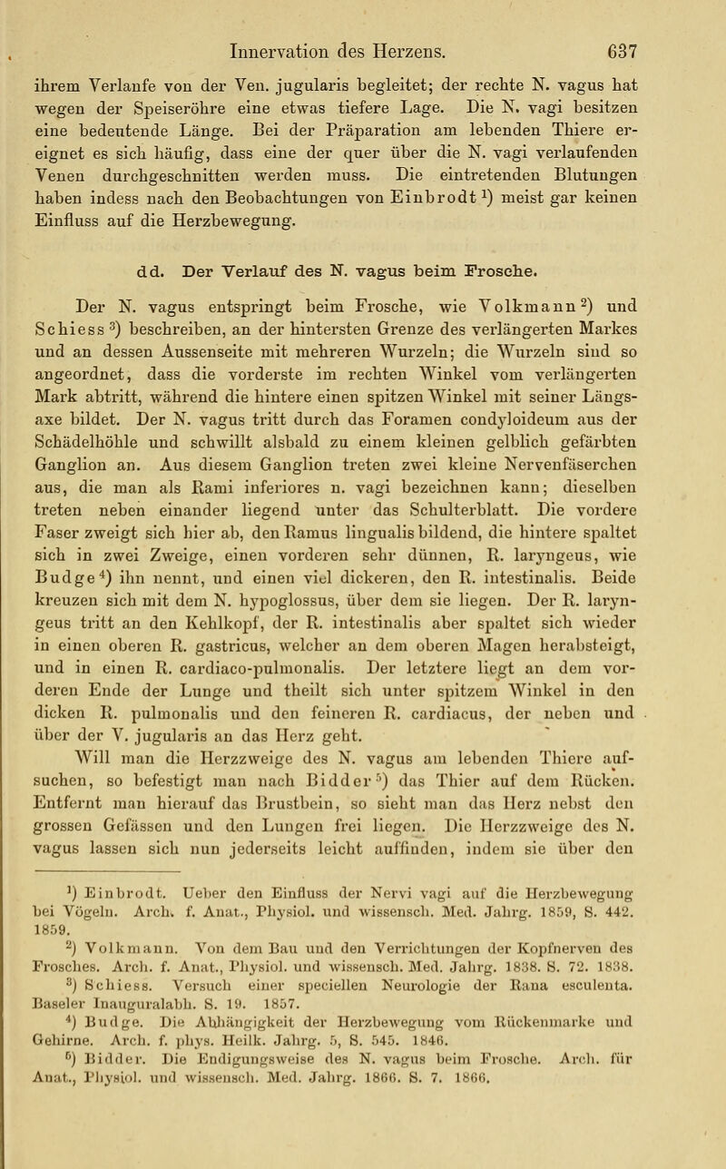 ihrem Verlanfe von der Ven. jugularis begleitet; der rechte N. vagus hat wegen der Speiseröhre eine etwas tiefere Lage. Die N. vagi besitzen eine bedeutende Länge. Bei der Präparation am lebenden Thiere er- eignet es sich häufig, dass eine der quer über die N. vagi verlaufenden Venen durchgeschnitten werden muss. Die eintretenden Blutungen haben indess nach den Beobachtungen von Eiubrodt^) meist gar keinen Einfluss auf die Herzbewegung. dd. Der Verlauf des N. vagus beim Frosche. Der N. vagus entspringt beim Frosche, wie Volkmann 2) und Schiess^) beschreiben, an der hintersten Grenze des verlängerten Markes und an dessen Aussenseite mit mehreren Wurzeln; die Wurzeln sind so angeordnet, dass die vorderste im rechten Winkel vom verlängerten Mark abtritt, während die hintere einen spitzen Winkel mit seiner Längs- axe bildet. Der N. vagus tritt durch das Foramen condyloideum aus der Schädelhöhle und schwillt alsbald zu einem kleinen gelblich gefärbten Ganglion an. Aus diesem Ganglion treten zwei kleine Nervenfäserchen aus, die man als Rami inferiores n. vagi bezeichnen kann; dieselben treten neben einander liegend unter das Schulterblatt. Die vordere Faser zweigt sich hier ab, den Ilamus lingualis bildend, die hintere spaltet sich in zwei Zweige, einen vorderen sehr dünnen, R. laryngeus, wie Budge*) ihn nennt, und einen viul dickeren, den R. intestinalis. Beide kreuzen sich mit dem N. hypoglossus, über dem sie liegen. Der R. laryn- geus tritt an den Kehlkopf, der R. intestinalis aber spaltet sich wieder in einen oberen R. gastricus, welcher an dem oberen Magen herabsteigt, und in einen R. cardiaco-pulmonalis. Der letztere liegt an dem vor- deren Ende der Lunge und theilt sich unter spitzem Winkel in den dicken R. pulmonalis und den feineren R. cardiacus, der neben und über der V. jugularis an das Herz geht. Will man die Herzzweige des N. vagus am lebenden Thiere auf- suchen, so befestigt man nach Bidder'') das Thier auf dem Rücken. Entfernt man hierauf das Brustbein, so sieht man das Herz nebst den grossen Gefässen und den Lungen frei liegen. Die Herzzweige des N. vagus lassen sich nun jederseits leicht auffinden, indem sie über den ^) Einbrodt. Ueber den Einfluss der Nervi vagi auf die Herzbewegung bei Vögehj. Arch. f. Auat., Phy.siol. und wissensch. Med. Jahrg. 1859, S. 442. 1859. 2) Volk mann. Von dem Bau und den Verrichtungen der Kopfnerven des Fi-oscbes. Arch. f. Anat., Pliysiol. und Avisseusch. Med. Jahrg. 1838. B. 72. 1838. **) Schiess. Versuch einer speciellen Neurologie der Raua esculeuta. Baseler Inauguralabh. S. 19. 1857. ^) Budge. Die Abliäugigkeit der Herzbeweguug vom Ilückenmarke und Gehirne. Arch. f. phys. Heilk. Jahrg. 5, 8. 545. 1846. ^) Bidder. Die Endigungsweise des N. vagus beim Frosche. Arch. für Anat., Physiol. und wissensch. Med. Jahrg. 1866. S. 7. 1866.