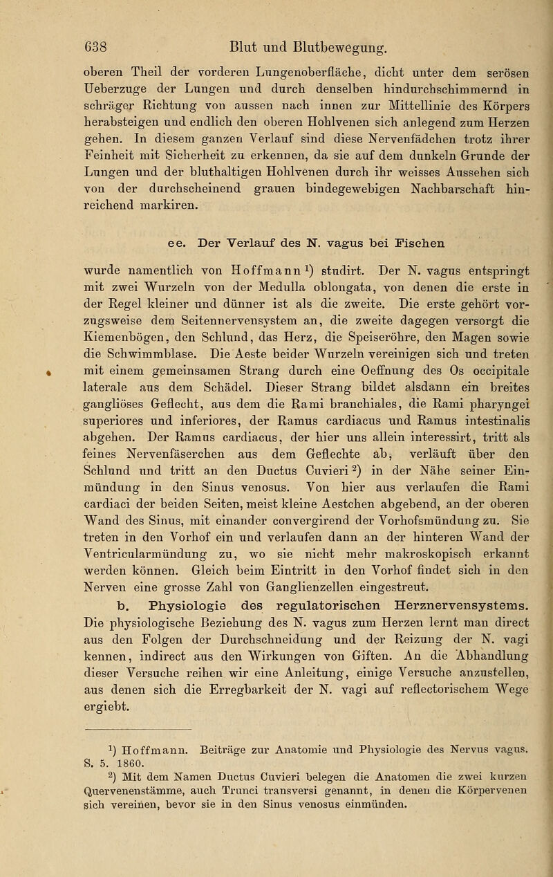 oberen Theil der vorderen Lungenoberfläcbe, dicht unter dem serösen Ueberzuge der Limgen und durch denselben hindurchschimmernd in schräger Richtung von aussen nach innen zur Mittellinie des Körpers herabsteigen und endlich den oberen Hohlvenen sich anlegend zum Herzen gehen. In diesem ganzen Verlauf sind diese Nervenfädchen trotz ihrer Feinheit mit Sicherheit zu erkennen, da sie auf dem dunkeln Grunde der Lungen und der bluthaltigen Hohlvenen durch ihr weisses Aussehen sich von der durchscheinend grauen bindegewebigen Nachbarschaft hin- reichend markiren. ee. Der Verlauf des N. vagus bei Fischen wurde namentlich von Hoffmann^) studirt. Der N. vagus entspringt mit zwei Wurzeln von der Medulla oblongata, von denen die erste in der Regel kleiner und dünner ist als die zweite. Die erste gehört vor- zugsweise dem Seitennervensystem an, die zweite dagegen versorgt die Kiemenbögen, den Schlund, das Herz, die Speiseröhre, den Magen sowie die Schwimmblase. Die Aeste beider Wurzeln vereinigen sich und treten mit einem gßmeinsamen Strang durch eine Oeffnung des Os occipitale laterale aus dem Schädel. Dieser Strang bildet alsdann ein breites gangliöses Greflecht, aus dem die Rami branchiales, die Rami pharyngei superiores und inferiores, der Ramus cardiacus und Ramus intestinalis abgehen. Der Ramus cardiacus, der hier uns allein interessirt, tritt als feines Nervenfäserchen aus dem Geflechte ab, verläuft über den Schlund und tritt an den Ductus Cuvieri ^) in der Nähe seiner Ein- mündung in den Sinus venosus. Von hier aus verlaufen die Rami cardiaci der beiden Seiten, meist kleine Aestchen abgebend, an der oberen Wand des Sinus, mit einander convergirend der Vorhofsmündung zu. Sie treten in den Vorhof ein und verlaufen dann an der hinteren Wand der Ventricularmündung zu, wo sie nicht mehr makroskopisch erkannt werden können. Gleich beim Eintritt in den Vorhof findet sich in den Nerven eine grosse Zahl von Ganglienzellen eingestreut. b. Physiologie des regulatorisehen Herznervensystems. Die physiologische Beziehung des N. vagus zum Herzen lernt man direct aus den Folgen der Durchschneidung und der Reizung der N. vagi kennen, indirect aus den Wirkungen von Giften, An die Abhandlung dieser Versuche reihen wir eine Anleitung, einige Versuche anzustellen, aus denen sich die Erregbarkeit der N. vagi auf reflectorischem Wege ergiebt. 1) Hoffmann. Beiträge zur Anatomie und Physiologie des Nervus vagus. S. 5. 1860. 2) Mit dem Namen Ductus Cuvieri belegen die Anatomen die zwei kurzen Quervenenstämme, auch Trunci transversi genannt, in denen die Körpervenen sich vereinen, bevor sie in den Sinus venosus einmünden.