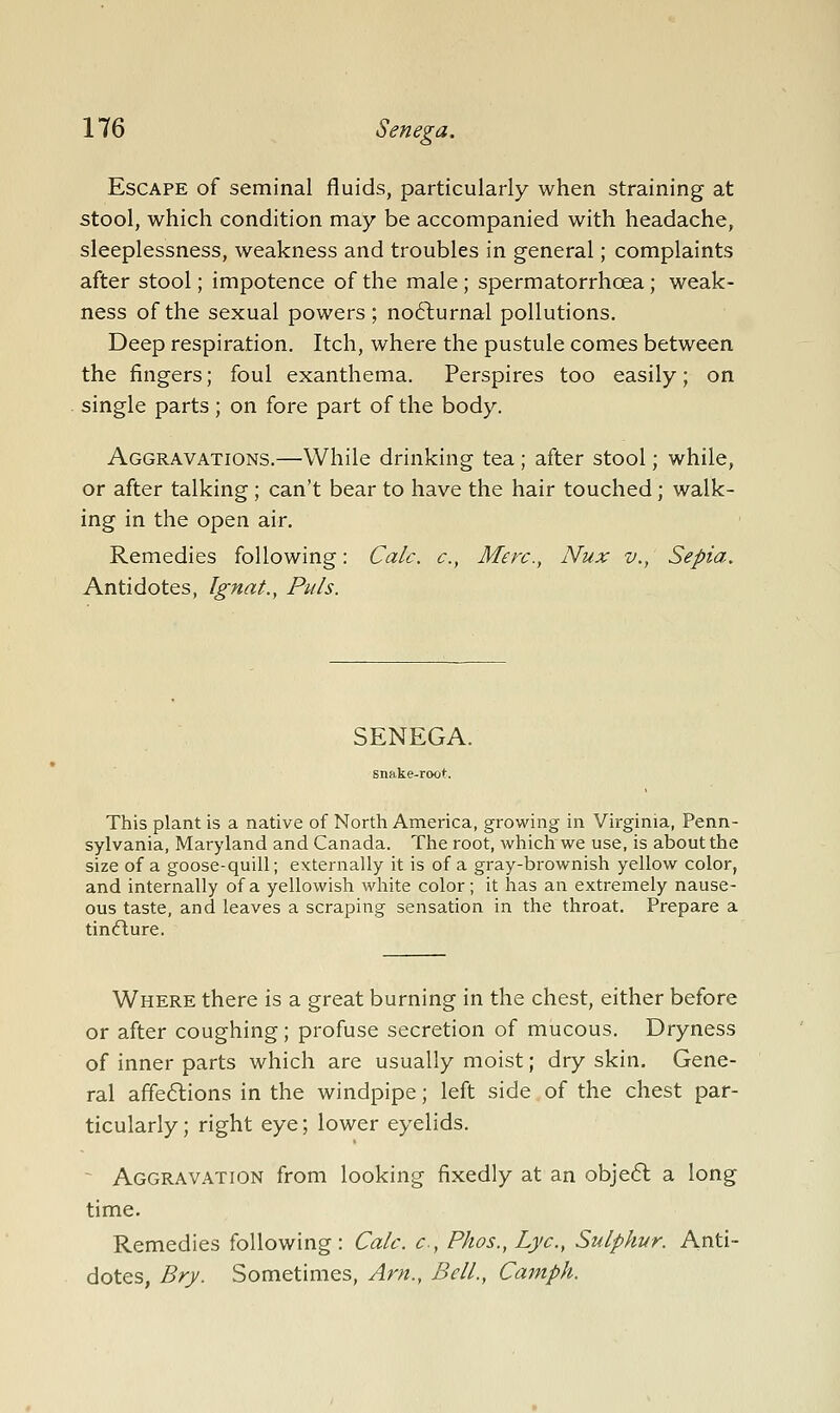 Escape of seminal fluids, particularly when straining at stool, which condition may be accompanied with headache, sleeplessness, weakness and troubles in general; complaints after stool; impotence of the male; spermatorrhoea; weak- ness of the sexual powers; no6lurnal pollutions. Deep respiration. Itch, where the pustule comes between the fingers; foul exanthema. Perspires too easily; on single parts; on fore part of the body. Aggravations.—While drinking tea; after stool; while, or after talking; can't bear to have the hair touched; walk- ing in the open air. Remedies following: Calc. c, Merc, Nux v., Sepia, Antidotes, Ignat., Puis. SENEGA. This plant is a native of North America, growing in Virginia, Penn- sylvania, Maryland and Canada. The root, which we use, is about the size of a goose-quill; externally it is of a gray-brownish yellow color, and internally of a yellowish white color; it has an extremely nause- ous taste, and leaves a scraping sensation in the throat. Prepare a tindlure. Where there is a great burning in the chest, either before or after coughing; profuse secretion of mucous. Dryness of inner parts which are usually moist; dry skin. Gene- ral affe6lions in the windpipe; left side of the chest par- ticularly; right eye; lower eyelids. ^ Aggravation from looking fixedly at an obje6l a long time. Remedies following: Calc. c, Phos., Lye, Sulphur. Anti- dotes, Bry. Sometimes, Arn., Bell., Camph.