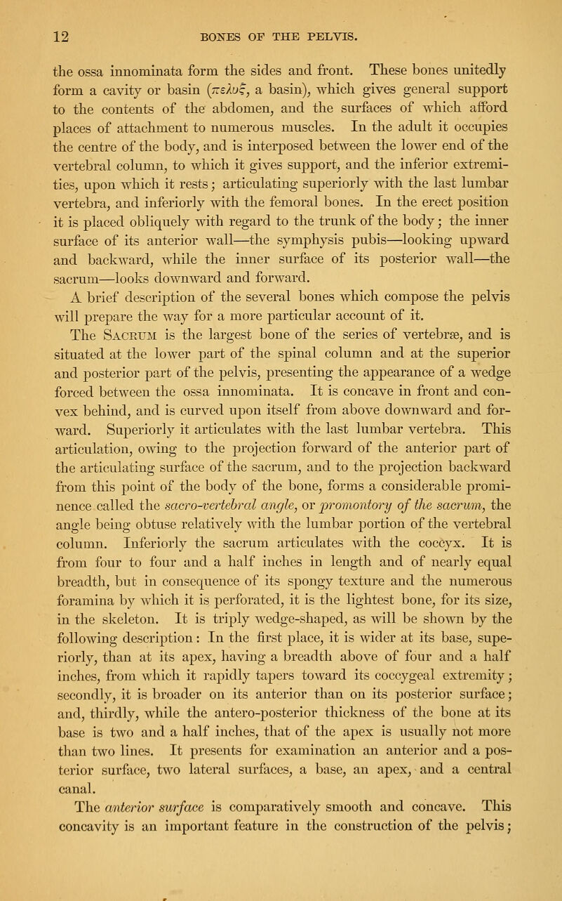 the ossa innominata form the sides and front. These bones unitedly form a cavity or basin (jiekos, a basin), which gives general support to the contents of the abdomen, and the surfaces of which afford places of attachment to numerous muscles. In the adult it occupies the centre of the body, and is interposed between the lower end of the vertebral column, to which it gives support, and the inferior extremi- ties, upon which it rests; articulating superiorly with the last lumbar vertebra, and inferiorly with the femoral bones. In the erect position it is placed obliquely with regard to the trunk of the body; the inner surface of its anterior wall—the symphysis pubis—looking upward and backward, while the inner surface of its posterior wall—the sacrum—looks downward and forward. A brief description of the several bones which compose the pelvis will prepare the way for a more particular account of it. The Saceum is the largest bone of the series of vertebrae, and is situated at the lower part of the spinal column and at the superior and posterior part of the pelvis, presenting the appearance of a wedge forced between the ossa innominata. It is concave in front and con- vex behind, and is curved upon itself from above downward and for- ward. Superiorly it articulates with the last lumbar vertebra. This articulation, owing to the projection forward of the anterior part of the articulating surface of the sacrum, and to the projection backward from this point of the body of the bone, forms a considerable promi- nence called the sacro-vertebral angle, or promontory of the sacrum, the angle being obtuse relatively with the lumbar portion of the vertebral column. Inferiorly the sacrum articulates with the coccyx. It is from four to four and a half inches in length and of nearly equal breadth, but in consequence of its spongy texture and the numerous foramina by which it is perforated, it is the lightest bone, for its size, in the skeleton. It is triply wedge-shaped, as will be shown by the following description: In the first place, it is wider at its base, supe- riorly, than at its apex, having a breadth above of four and a half inches, from which it rapidly tapers toward its coccygeal extremity; secondly, it is broader on its anterior than on its posterior surface; and, thirdly, while the antero-posterior thickness of the bone at its base is two and a half inches, that of the apex is usually not more than two lines. It presents for examination an anterior and a pos- terior surface, two lateral surfaces, a base, an apex, and a central canal. The anterior surface is comparatively smooth and concave. This concavity is an important feature in the construction of the pelvis;
